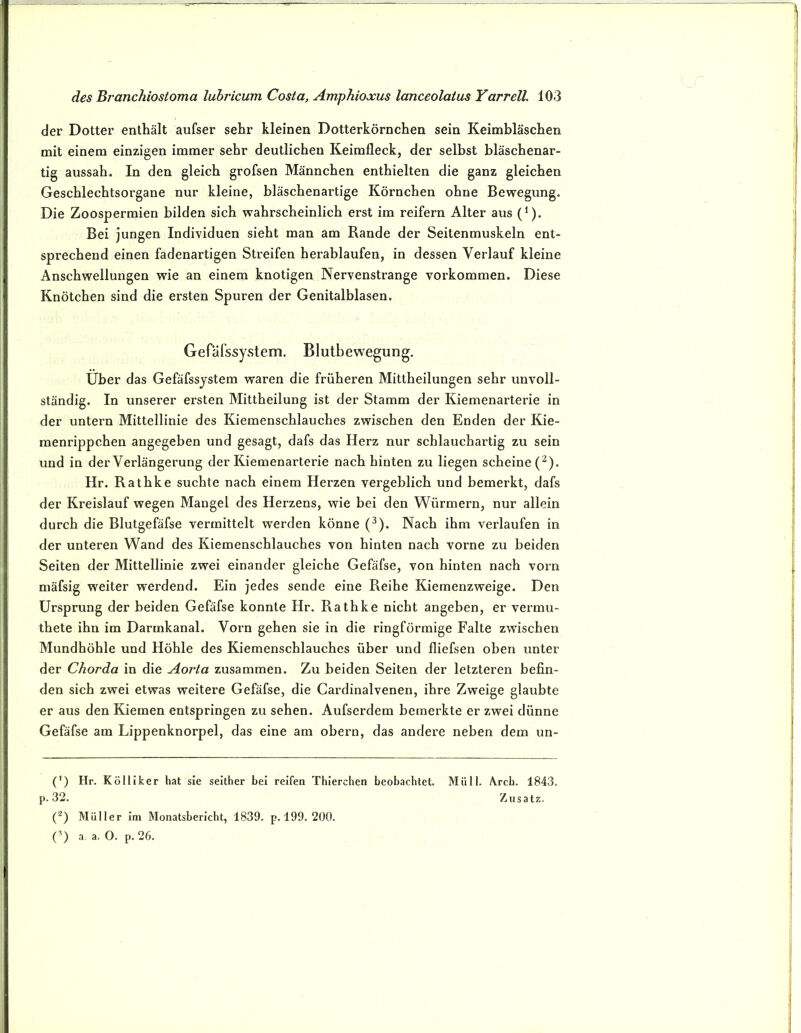 der Dotter enthält aufser sehr kleinen Dotterkörnchen sein Keimbläschen mit einem einzigen immer sehr deutlichen Keimfleck, der selbst bläschenar- tig aussah. In den gleich grofsen Männchen enthielten die ganz gleichen Geschlechtsorgane nur kleine, bläschenartige Körnchen ohne Bewegung. Die Zoospermien bilden sich wahrscheinlich erst im reifem Alter aus (^). Bei jungen Individuen sieht man am Rande der Seitenmuskeln ent- sprechend einen fadenartigen Streifen herablaufen, in dessen Verlauf kleine Anschwellungen wie an einem knotigen Nervenstränge Vorkommen. Diese Knötchen sind die ersten Spuren der Genitalblasen. Gefäfssystem. Blutbewegung. Über das Gefäfssystem waren die früheren Mittheilungen sehr unvoll- ständig. In unserer ersten Mittheilung ist der Stamm der Kiemenarterie in der untern Mittellinie des Kiemenschlauches zwischen den Enden der Kie- menrippchen angegeben und gesagt, dafs das Herz nur schlauchartig zu sein und in der Verlängerung der Kiemenarterie nach hinten zu liegen scheine (^). Hr. Rathke suchte nach einem Herzen vergeblich und bemerkt, dafs der Kreislauf wegen Mangel des Herzens, wie bei den Würmern, nur allein durch die Blutgefäfse vermittelt werden könne (^). Nach ihm verlaufen in der unteren Wand des Kiemenschlauches von hinten nach vorne zu beiden Seiten der Mittellinie zwei einander gleiche Gefäfse, von hinten nach vorn mäfsig weiter werdend. Ein jedes sende eine Reihe Kiemenzweige. Den Ursprung der beiden Gefäfse konnte Hr. Rathke nicht angeben, er vermu- thete ihn im Darmkanal. Vorn gehen sie in die ringförmige Falte zwischen Mundhöhle und Höhle des Kiemenschlauches über und fliefsen oben unter der Chorda in die Aorta zusammen. Zu beiden Seiten der letzteren befin- den sich zwei etwas weitere Gefäfse, die Cardinalvenen, ihre Zweige glaubte er aus den Kiemen entspringen zu sehen. Aufserdem bemerkte er zwei dünne Gefäfse am Lippenknorpel, das eine am obern, das andere neben dem un- (’) Hr. Kölllker hat sie seither bei reifen Thlerchen beobachtet. Müll. Arch. 1843. p. 32. Zusatz. (^) Müller Im Monatsbericht, 1839. p. 199. 200. (’') a. a. O. p. 26.