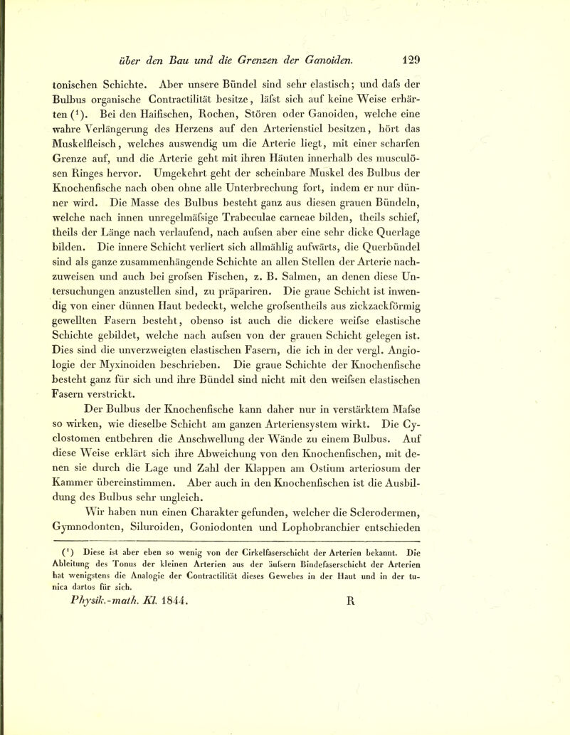 tonisclien Schiclite. Aber unsere Bündel sind sehr elastisch; und dafs der Bulbus organische Contractilität besitze, läfst sich auf keine Weise erhär- ten (^). Bei den Haifischen, Rochen, Stören oder Ganoiden, welche eine wahre Veidängerung des Herzens auf den Arterienstiel besitzen, hört das Muskelfleisch, welches auswendig um die Arterie liegt, mit einer scharfen Grenze auf, und die Arterie geht mit ihren Häuten innerhalb des musculö- sen Ringes herror. Umgekehrt geht der scheinbare Muskel des Bulbus der Knochenfische nach oben ohne alle Unterbrechung fox’t, indem er nur dün- ner wird. Die Masse des Bulbus besteht ganz aus diesen grauen Bündeln, welche nach innen unregelmäfsige Trabeculae carneae bilden, theils schief, theils der Länge nach verlaufend, nach aufsen aber eine sehr dicke Querlage bilden. Die innere Schicht verliert sich allmählig aufwärts, die Querbündel sind als ganze zusammenhängende Schichte an allen Stellen der Arterie nach- zuweisen und auch bei grofsen Fischen, z. B. Salmen, an denen diese Un- tersuchungen anzustellen sind, zu präpai’iren. Die graue Schicht ist inwen- dig von einer dünnen Haut bedeckt, welche grofsentheils aus zickzackförmig gewellten Fasern besteht, ebenso ist auch die dickere weifse elastische Schichte gebildet, welche nach aufsen von der grauen Schicht gelegen ist. Dies sind die unverzweigten elastischen Fasern, die ich in der vergl. Angio- logie der Mjxinoiden beschrieben. Die graue Schichte der Knochenfische besteht ganz für sich und ihre Bündel sind nicht mit den weifsen elastischen Fasern verstidckt. Der Bulbus der Knochenfische kann daher nur in verstäi’ktem Mafse so wirken, wie dieselbe Schiebt am ganzen Arteriensjstem wirkt. Die Cy- clostomen entbehren die Anschwellung der Wände zu einem Bulbus. Auf diese Weise erklärt sich ihre Abweichung von den Knochenfischen, mit de- nen sie durch die Lage und Zahl der Klappen am Ostium arteriosum der Kammer übereinstimmen. Aber auch in den Knochenfischen ist die Ausbil- dung des Bulbus sehr ungleich. Wir haben nun einen Charakter gefunden, welcher die Sclerodermen, Gymnodonten, Siluroiden, Goniodonten und Lophobranchier entschieden (*) (*) Diese ist aber eben so wenig von der Cirkelfaserschicbt der Arterien bekannt. Die Ableitung des Tonus der kleinen Arterien aus der äufsern Bindefasersebiebt der Arterien bat wenigstens die Analogie der Contractilität dieses Gewebes in der Haut und in der tu- nica dartos für sieb. Phjsili.-math. Kl. 1844. R