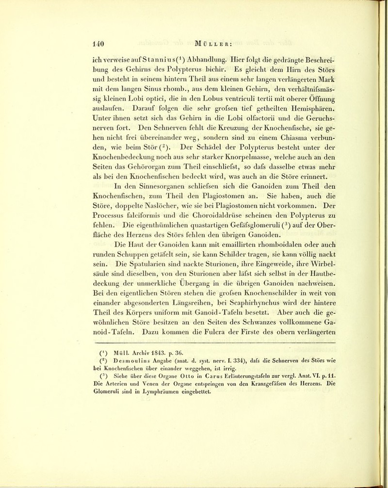 icli verweise auf Stannius(‘) Abhandlung. Hier folgt die gedrängte Beschrei- bung des Gehmis des Polypterus bichir. Es gleicht dem Hirn des Störs und besteht in seinem hintern Theil aus einem sehr langen verlängerten Mark mit dem langen Sinus rhomb., aus dem kleinen Gehirn, den verhältnifsmäs- sig kleinen Lobi optici, die in den Lobus ventriculi tertii mit oberer Öffnung auslaufen. Darauf folgen die sehr grofsen tief getheilten Hemisphären. Unter ihnen setzt sich das Gehirn in die Lobi olfactorii und die Geruchs- nerven fort. Den Sehnerven fehlt die Kreuzung der Knochenfische, sie ge- hen nicht frei übereinander weg, sondern sind zu einem Chiasma verbun- den, wie beim Stör (^). Der Schädel der Polypterus besteht unter der Knochenbedeckung noch aus sehr starker Knoi’pelmasse, welche auch an den Seiten das Gehöi'organ zum Theil einschliefst, so dafs dasselbe etwas mehr als bei den Knochenfischen bedeckt wird, was auch an die Störe erinnert. In den Sinnesorganen schliefsen sich die Ganoiden zum Theil den Knochenfischen, zum Theil den Plagiostomen an. Sie haben, auch die Störe, doppelte Naslöcher, wie sie bei Plagiostomen nicht Vorkommen. Der Processus falciformis und die Choroidaldrüse scheinen den Polypterus zu fehlen. Die eigenthümlichen quastartigen Gefäfsglomeruli (^) auf der Ober- fläche des Herzens des Störs fehlen den übrigen Ganoiden. Die Haut der Ganoiden kann mit emaillirten rhomboidalen oder auch runden Schuppen getäfelt sein, sie kann Schilder tragen, sie kann völlig nackt sein. Die Spatularien sind nackte Sturionen, ihre Eingeweide, ihre Wirbel- säule sind dieselben, von den Sturionen aber läfst sich selbst in der Hautbe- deckung der unmerkliche Übergang in die übrigen Ganoiden nachweisen. Bei den eigentlichen Stören stehen die grofsen Knochenschilder in weit von einander abgesonderten Längsreihen, bei Scaphirhynchus wird der hintere Theil des Körpers uniform mit Ganoid-Tafeln besetzt. Aber auch die ge- wöhnlichen Störe besitzen an den Seiten des Schwanzes vollkommene Ga- noid-Tafeln. Dazu kommen die Fulcra der Firste des obern verlängerten * (*) (') Müll. Arcbü 1843. p. 36. (*) Desmoulins Angabe (anat. d. syst. nerv. I. 334), dafs die Sehnerven des Störs wie bei Knochenfischen über einander Weggehen, ist irrig. (^) Siehe über diese Organe Otto in Carus Erläuterungstafeln zur vergl. Anat. VI. p. 11. Die Arterien und Venen der Organe entspringen von den Kranzgefäfsen des Herzens. Die Glomerull sind In Lymphräumen eingebettet.