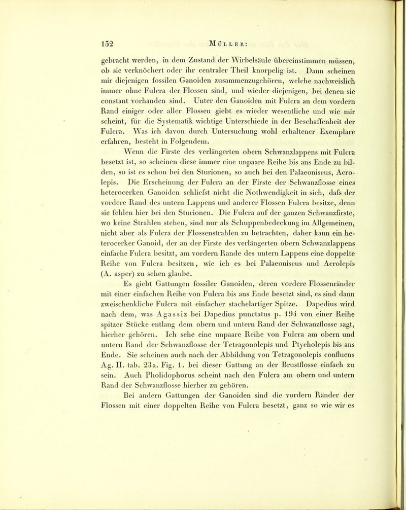 gebracht werden, in dem Zustand der Wirbelsäule übereinstimmen müssen, ob sie verknöchert oder ihr centi’aler Theil knorpelig ist. Dann scheinen mir diejenigen fossilen Ganoiden zAisammenzugehören, welche nachweislich immer ohne Fulcra der Flossen sind, und wieder diejenigen, bei denen sie constant vorhanden sind. Unter den Ganoiden mit Fidcra an dem vordem Rand einiger oder aller Flossen giebt es wieder wesentliche und wie mir scheint, für die Systematik wichtige Unterschiede in der Beschaffenheit der Fulcra. Was ich davon durch Untersuchung wohl erhaltener Exemplare erfahren, besteht in Folgendem. Wenn die Firste des verlängerten obern Schwanzlappens mit Fulcra besetzt ist, so scheinen diese immer eine unpaare Reihe bis ans Ende zu bil- den, so ist es schon bei den Sturionen, so auch bei den Palaeoniscus, Acro- lepis. Die Erscheinung der Fulcra an der Firste der Schwanzflosse eines heterocerken Ganoiden schliefst nicht die Nothwendigkeit in sich, dafs der vordere Rand des untern Laj^pens und anderer Flossen Fulcra besitze, denn sie fehlen hier bei den Sturionen. Die Fulcra auf der ganzen Schwanzfirste, wo keine Strahlen stehen, sind nur als Scluippenbedeckung im Allgemeinen, nicht aber als Fulcra der Flossenstrahlen zu betrachten, daher kann ein he- terocerker Ganoid, der an der Firste des verlängerten obern Schwanzlappens einfache Fulcra besitzt, am vordem Rande des unteim Lappens eine doppelte Reihe von Fulcra besitzen, wie ich es bei Palaeoniscus und Acrolepis (A. asper) zu sehen glaube. Es giebt Gattungen fossiler Ganoiden, deren vordere Flossenränder mit einer einfachen Reihe von Fulcra bis ans Ende besetzt sind, es sind dann zweischenkliche Fulcra mit einfacher stachelartiger Spitze. Dapedius wird nach dem, was Agassiz bei Dapedius pxinctatus p. 194 von einer Reihe spitzer Stücke entlang dem obern und untern Rand der Schwanzflosse sagt, hierher gehören. Ich sehe eine unpaare Reihe von Fxilcra am obern und untern Rand der Schwanzflosse der Tetragonolepis und Ptycholepis bis ans Ende. Sie scheinen auch nach der Abbildung von Tetragonolepis confluens Ag. II. tab. 23a. Fig. 1. bei dieser Gattung an der Brustflosse einfach zu sein. Auch Pholidophorus scheint nach den Fulcra am obern und untern Rand der Schwanzflosse hierher zu gehören. Bei andern Gattungen der Ganoiden sind die vordem Ränder der Flossen mit einer doppelten Reihe von Fulcra besetzt, ganz so wie wir es