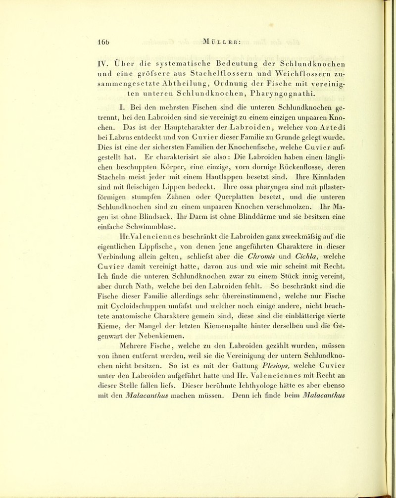 IV. Über die systematische Bedeutung der Schlundknochen und eine gröfsere aus Stachelflossern und Weichflossern zu- sammengesetzte Ahtheilung, Ordnung der Fische mit vereinig- ten unteren Schlundknochen, Pharyngognathi. I. Bei den mehrsten Fischen sind die unteren Schlundknochen ge- trennt, hei den Lahroiden sind sie vereinigt zu einem einzigen unpaaren Kno- chen. Das ist der Hauptcharakter der Lahroiden, welcher von Arte di hei Lahims entdeckt und von Cuvier dieser Familie zu Grunde gelegt wurde. Dies ist eine der sichersten Familien der Knochenfische, welche Cuvier auf- gestellt hat. Er charakterisirt sie also : Die Lahroiden haben einen längli- chen beschuppten Körper, eine einzige, vorn dornige Rückenflosse, deren Stacheln meist jeder mit einem Ilautlappen besetzt sind. Ihre Kinnladen sind mit fleischigen Lip|)en bedeckt. Ihre ossa pharyngea sind mit pflaster- förmigen stumpfen Zähnen oder Querplatten besetzt, und die unteren Schlundknochen sind zu einem unpaaren Knochen verschmolzen. Ihr Ma- gen ist ohne Blindsack. Ihr Darm ist ohne Blinddärme und sie besitzen eine einfache Schwimmblase. Hr.Valenciennes beschränkt die Lahroiden ganz zweckmäfsig auf die eigentlichen Lippfische, von denen jene angeführten Charaktere in dieser Verbindung allein gelten, schliefst aber die Chi'omis und Cichla, welche Cuvier damit vereinigt hatte, davon aus und wie mir scheint mit Recht. Ich finde die unteren Schlundknochen zwar zu einem Stück innig vereint, aber durch Nath, welche bei den Lahroiden fehlt. So beschränkt sind die Fische dieser Familie allerdings sehr übereinstimmend, welche nur Fische mit Cycloidschuppen umfafst und welcher noch einige andere, nicht beach- tete anatomische Charaktere gemein sind, diese sind die einblätterige vierte Kieme, der Mangel der letzten Kiemenspalte hinter derselben und die Ge- genwart der Nebenkiemen. Mehrere Fische, welche zu den Lahroiden gezählt wurden, müssen von ihnen entfernt werden, weil sie die Vereinigung der untern Schlundkno- chen nicht besitzen. So ist es mit der Gattung Plesiops, welche Cuvier unter den Lahroiden aufgeführt hatte und Hr. Valenciennes mit Recht an dieser Stelle fallen liefs. Dieser bei'ühmte Ichthyologe hätte es aber ebenso mit den Wlalacanthus machen müssen. Denn ich finde beim Malacanthus