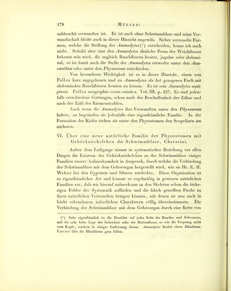 subbrachii verwandter ist. Er ist auch ohne Schwimmblase und seine Ver- wandtschaft bleibt auch in dieser Hinsicht ungewifs. Sicher verwandte For- men, welche die Stellung Aev Ammodytes{^) entscheiden, kenne ich auch nicht. Sobald aber eine den Ammodjtes ähnliche Form der Weichflosser bekannt sein wird, die zugleich Bauchllossen besitzt, jugular oder abdomi- nal, so ist damit auch die Stelle der Ammodjtes entweder unter den Ana- cant/iini oder unter den Phjsostomi entschieden. Von besonderer Wichtigkeit ist es in dieser Hinsicht, einen von Pallas kurz angegebenen und zu Ammodjtes als Art gezogenen Fisch mit abdominalen Bauchflossen kennen zu lernen. Es ist sein Ammodjtes septi- pinnis. Pallas zoographia rosso-asiatica. Vol. III. p. 227. Es sind jeden- falls verschiedene Gattungen, schon nach der Beschaffenheit der Zähne und nach der Zahl der Kiemenstrahlen. Auch wenn die Ammodjtes ihre Verwandten unter den Phjsostomi haben, so begründen sie jedenfalls eine eigenthümliche Familie. In der Formation der Kiefer stehen sie unter den Phjsostomen den Scopelinen am nächsten. VI. Uber eine neue natürliche Familie der Physostomen mit Gehörknöchelchen der Schwimmblase, Characini. Aufser dem Luftgange nimmt in systematischer Beziehung vor allen Dingen die Existenz der Gehörknöchelchen an der Schwimmblase einiger Familien unsere Aufmerksamkeit in Anspruch, durch welche die Verbindung der Schwimmblase mit dem Gehörorgan hergestellt wird, wie sie Hr. E. H. Weber bei den Cypi’inen und Siluren entdeckte. Diese Organisation ist so eigenthümlicher Art und kömmt so regelmäfsig in gewissen natürlichen Familien vor, dafs wir hierauf aufmerksam an den Skeleten schon die bishe- rigen Fehler der Systematik auffmden und die falsch gestellten Fische zu ihren natürlichen Verwandten bringen können, mit denen sie nun auch in leicht ei'kennbaren äufserlichen Charakteren völlig übereinstimmen. Die Verbindung der Schwimmblase mit dem Gehörorgan durch eine Kette von (') Sehr eigenthilmlich ist die Haiitfalte auf jeder Seite des Bauches und Schwanzes, und die sehr holie Lage der Seitenlinie nahe der Rückenflosse, so wie ihr Ursprung nicht vom Kopfe, sondern in einiger Entfernung davon. Ammodyles besitzt einen Blinddarm. Cuvier läfst die Blinddärme ganz felden.
