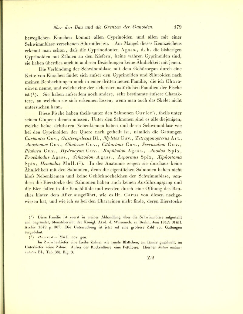 beweglichen Knochen kömmt allen Cjprinoiden und allen mit einer Schwimmblase versehenen Silui'oiden zxi. Am Mangel dieses Kennzeichens erkennt man schon, dafs die Cyprinodonten Agass., d. h. die bisherigen Cyprinoiden mit Zähnen an den Kiefern, keine wahren Cypx’inoiden sind, sie haben übei’dies auch in anderen Beziehungen keine Ähnlichkeit mit jenen. Die Verbindung der Schwimmblase mit dem Gehörorgan durch eine Kette von Knochen findet sich aufser den Cyprinoiden und Sihu’oiden nach meinen Beohachtungen noch in einer dritten neuen Familie, die ich Chara- cinen nenne, und welche eine der sichersten natürlichen Familien der Fische ist(^). Sie haben aufserdem noch andere, sehr bestimmte äufsere Charak- tere, an welchen sie sich erkennen lassen, wenn man auch das Skelet nicht untersuchen kann. Diese Fische haben theils unter den Salmonen Cuvier’s, theils unter seinen Clupeen dienen müssen. Unter den Salmonen sind es alle diejenigen, welche keine sichtbaren Nebenkiemen haben und deren Schwimmblase wie bei den Cyprinoiden der Quere nach getheilt ist, nämlich die Gattungen Curimates Cuv., Gasteropelecus BL, Mjletes Cuv., Telragonopterus Art., Anoslomus Cuv., Clialceus Cuv., Cilharinus Cuv., Serrasalmo Cuv., Piabuca Cuv., IJydrocjon Cuv., Iiaphiodo7i A^ass., Anodus Spix, Prochilodus Agass., Schizodon Agass., Leporinus Spix, Xiphostoma Spix, IJemiodus Müll.(“). In der Anatomie zeigen sie durchaus keine Ähnlichkeit mit den Salmonen, denn die eigentlichen Salmonen haben nicht blofs Nehenkiemen und keine Gehörknöchelchen der Schwimmblase, son- dern die Eierstöcke der Salmonen haben auch keinen Ausführungsgang und die Eier fallen in die Bauchhöhle und werden durch eine Öffnung des Bau- ches hinter dem After ausgeführt, wie es Ilr. Carus von diesen nachge- wiesen hat, und wie ich es bei den Characinen nicht finde, deren Eierstöcke (') Diese Familie ist zuerst in meiner ALliandlung über die Schwimmblase aufgestellt und begründet, Monatsbericht der König!. Akad. d. Wissensch. zu Berlin, Juni 1842; Müll. Archiv 1842 p. 307. Die Untersuchung ist jetzt auf eine gröfsere Zahl von Gattungen ausgedehnt. (g) Ilemiodus Müll. nov. gen. Im Zwischenkiefer eine Reihe Zähne, wie runde Blättchen, am Rande gezähnelt, im Unterkiefer keine Zähne. Aufser der Rückenflosse eine Fettflosse. Hierher Salmo unima- culaius Bl., Tah. 381 Flg. 3. Z2