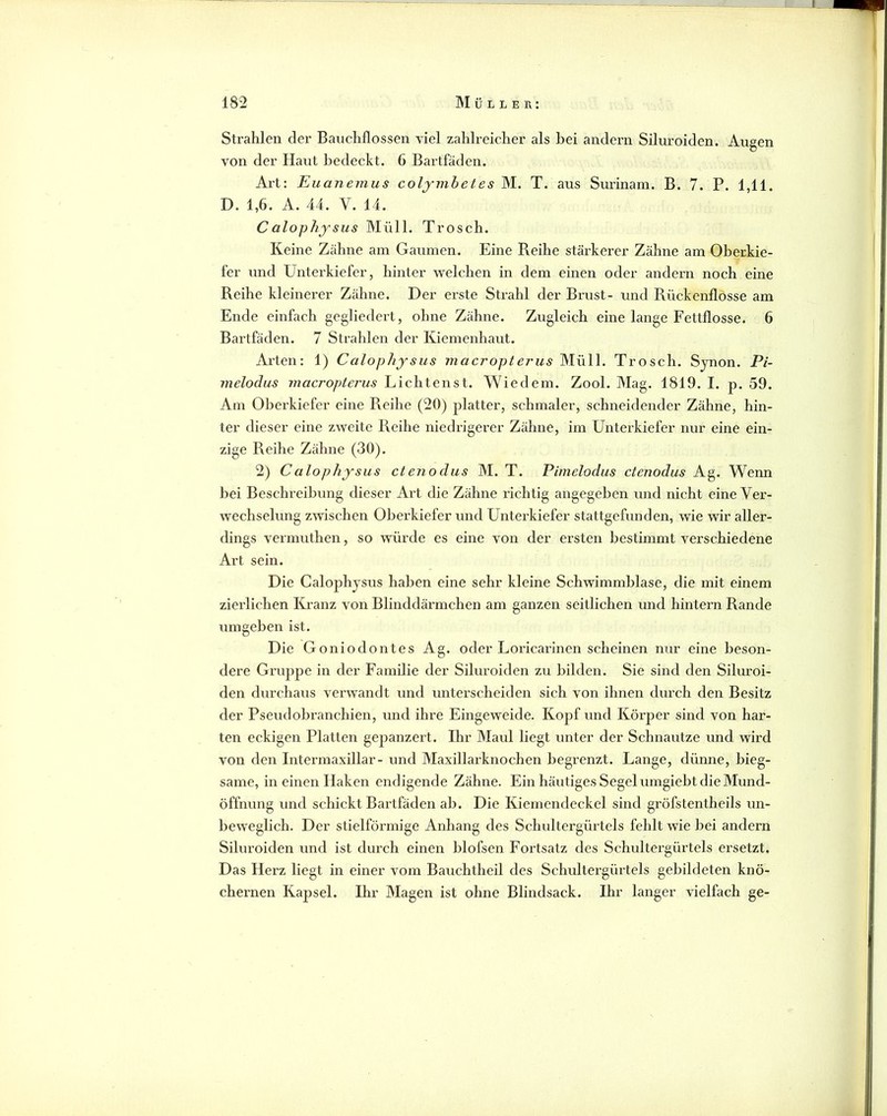 Strahlen der Baiichflossen viel zahlreicher als bei andern Siluroiden. Augen von der Haut bedeckt. 6 Bartfäden. Art: Euanemus colymbetes M. T. aus Surinam. B. 7. P. 1,11. D. 1,6. A. 44. V. 14. Calophysus Müll. Trosch. Keine Zähne am Gaumen. Eine Reihe stärkerer Zähne am Oberkie- fer und Untei’kiefer, hinter welchen in dem einen oder andern noch eine Reihe kleinerer Zähne. Der erste Strahl der Brust- und Rückenflosse am Ende einfach gegliedert, ohne Zähne. Zugleich eine lange Fettflosse. 6 Bartfäden. 7 Strahlen der Kiemenhaut. Ax’ten: 1) Calophysus macropterus Müll. Trosch. Sjnon. P/- melodus macropterus Lichtenst. Wiedem. Zool. Mag. 1819. I. p. 59. Am Oberkiefer eine Reihe (20) platter, schmaler, schneidender Zähne, hin- ter dieser eine zweite Reihe niedrigerer Zähne, im Unterkiefer nur eine ein- zige Reihe Zähne (30). 2) Calophysus ctenodus M. T. Pimelodus ctenodus Ag. Wenn bei Beschreibung dieser Art die Zähne i'ichtig angegeben und nicht eine Ver- wechselung zwischen Oberkiefer und Unterkiefer stattgefunden, wie wir aller- dings vermuthen, so würde es eine von der ersten bestimmt verschiedene Art sein. Die Calophysus haben eine sehr kleine Schwimmblase, die mit einem zierlichen Ki’anz von Blinddärmchen am ganzen seitlichen und hintern Rande umgeben ist. Die Goniodontes Ag. oder Loricarinen scheinen nur eine beson- dere Gruppe in der Familie der Siluroiden zu bilden. Sie sind den Siluroi- den durchaus verwandt und untei’scheiden sich von ihnen durch den Besitz der Pseudobranchien, und ihre Eingeweide. Kopf und Körper sind von har- ten eckigen Platten gepanzert. Ihr Maul liegt unter der Schnautze und wird von den Intermaxillar- und Maxillarknochen begrenzt. Lange, dünne, bieg- same, in einen Haken endigende Zähne. Ein häutiges Segel umgiebt die Mund- öffnung und schickt Bartfäden ab. Die Kiemendeckel sind gröfstentheils un- beweglich. Der stielförmige Anhang des Schultergürtels fehlt wie bei andern Siluroiden und ist durch einen blofsen Fortsatz des Schultergürtels ersetzt. Das Herz liegt in einer vom Bauchtheil des Schultergürtels gebildeten knö- chernen Kapsel. Ihr Magen ist ohne Blindsack. Ihr langer vielfach ge-