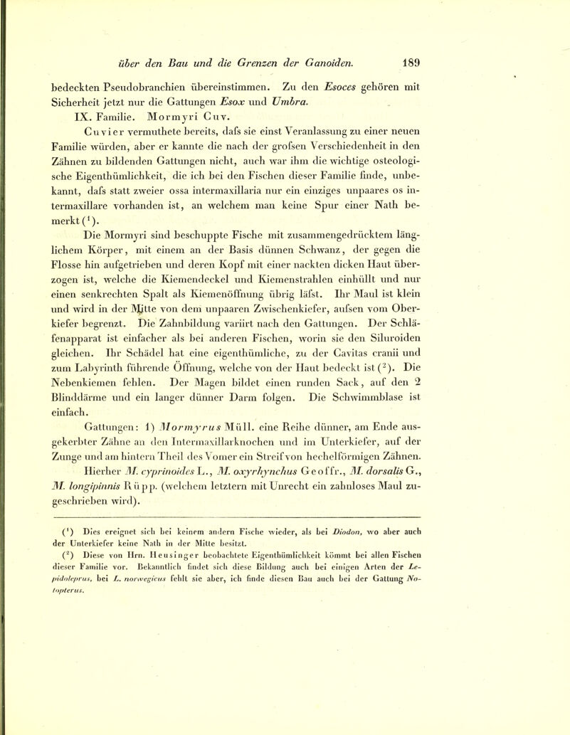 bedeckten Pseiidobranchien übereinstimmen. Zu den Esoces gehören mit Sicherheit jetzt nur die Gattungen Esojc und Umbra. IX. Familie. Mormyri Cuv. Cu vier vermuthete bereits, dafs sie einst Veranlassung zu einer neuen Familie würden, aber er kannte die nach der grofsen Verschiedenheit in den Zähnen zu bildenden Gattungen nicht, auch war ihm die wichtige osteologi- sche Eigenthümlichkeit, die ich bei den Fischen dieser Familie finde, unbe- kannt, dafs statt zweier ossa intermaxillaria nur ein einziges unpaares os in- termaxillare vorhanden ist, an welchem man keine Spur einer Nath be- merkt (^). Die Mormyri sind beschuppte Fische mit zusammengedrücktem läng- lichem Körper, mit einem an der Basis dünnen Schwanz, der gegen die Flosse hin aufgetrieben und deren Kopf mit einer nackten dicken Haut über- zogen ist, welche die Kiemendeckel und Kiemenstrahlen einhüllt und nur einen senkrechten Spalt als Kiemenöffnung übrig läfst. Ihr Maul ist klein und wird in der jyUtte von dem unpaaren Zwischenkiefer, axifsen vom Ober- kiefer begrenzt. Die Zahnbildung variirt nach den GatUmgen. Der Schlä- fenapparat ist einfacher als bei anderen Fischen, worin sie den Siluroiden gleichen. Ihr Schädel hat eine eigenthümliche, zu der Cavitas cranii und zum Labyrinth führende Öffnung, welche von der Haut bedeckt ist (^). Die Nebenkiemen fehlen. Der Magen bildet einen runden Sack, auf den 2 Blinddärme und ein langer dünner Darm folgen. Die Schwimmblase ist einfach. Gattungen: 1) IMormjrus Müll, eine Reihe dünner, am Ende aus- gekerbter Zähne an den Intermaxillarknochen und im Lhiterkiefer, auf der Zunge und am hintern Theil des Vomer ein Streif von hechelförmigen Zähnen. Hierher Af. cyprinoidesE., M. oxyrliynclius Geoffr., 7!/. dorsalis G.., 31. longipinnis Rüpp. (welchem letztem mit Unrecht ein zahnloses Maul zu- geschrieben wird). (') Dies ereignet sicli bei keinem andern Fische wieder, als bei Diodon, wo aber auch der Unterkiefer keine Natb in der Mitte besitzt. (^) Diese von Ilm. Ileusinger beobachtete Eigentbiimlicbkelt kömmt bei allen Fischen dieser Familie vor. Bekanntlich findet sich diese Bildung auch bei einigen Arten der Le- //iJolf/jrus, bei L. nonvegiciis fehlt sie aber, ich finde diesen Bau auch bei der Gattung No- /opierus.
