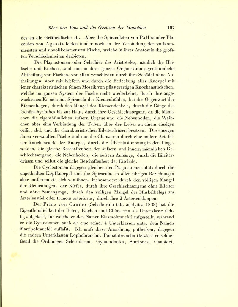 des an die Gi’äthenflsche ab. Aber die Spiraculaten von Pallas oder Pla- coiden von Agassiz leiden immer noch an der Verbindung der vollkom- mensten und unvollkommensten Fische, welche in ihrer Anatomie die gröfs- ten Verschiedenheiten darbieten. Die Plagiostomen oder Selachier des Aristoteles, nämlich die Hai- fische und Rochen, sind eine in ihrer ganzen Organisation eigenthümliche Abtheilung von Fischen, von allen verschieden durch ihre Schädel ohne Ab- theilungen, aber mit Kiefern und durch die Bedeckung aller Knorpel mit jener charakteristischen feinen Mosaik von pflasterartigen Knochenstückchen, welche im ganzen System der Fische nicht wiederkehrt, durch ihre ange- wachsenen Kiemen mit Spiracula der Kiemenhöhlen, bei der Gegenwart der Kiemenbogen, durch den Mangel des Kiemendeckels, durch die Gänge des Gehörlabyrinthes bis zur Haut, duixh ihre Geschlechtsorgane, da die Männ- chen die eigenthümlichen äufsern Organe und die Nebenhoden, die Weib- chen aber eine Vei’bindung der Tuben über der Leber zu einem einzigen orific. abd. und die charakteristischen Eileiterdrüsen besitzen. Die einzigen ihnen verwandten Fische sind nur die Chimaeren durch eine andere Art fei- ner Knochenrinde der Knorpel, durch die Übereinstimmung in den Einge- weiden, die gleiche Beschaffenheit der äufsern und innern männlichen Ge- schlechtsorgane, die Nebenhoden, die äufsern Anhänge, durch die Eileiter- drüsen und selbst die gleiche Beschaffenheit der Eischale. Die Cyclostomen dagegen gleichen den Plagiostomen blofs durch die ungetheilten Kopfknorpel und die Spiracula, in allen übrigen Beziehungen aber entfernen sie sich von ihnen, insbesondere durch den völligen Mangel der Kiemenbogen, der Kiefer, durch ihre Geschlechtsorgane ohne Eileiter und ohne Samengänge, durch den völligen Mangel des Muskelbelegs am Arterienstiel oder truncus arteriosus, durch ihre 2 Arterienklappen. Der Prinz von Canino (Selachorum tab. analytica 1838) hat die Eigenthümlichkeit der Haien, Rochen und Chimaeren als Untei’klasse rich- tig aufgefafst, für welche er den Namen Elasmobranchii aufgestellt, während er die Cyclostomen auch als eine seiner 4 Unterklassen unter dem Namen Marsipobranchii auffafst. Ich mufs diese Anordnung gutheifsen, dagegen die andern Unterklassen Lophobi’anchii, Pomatobranchii (letztere einschlie- fsend die Ordnungen Sclerodermi, Gymnodontes, Stuidones, Ganoidei,