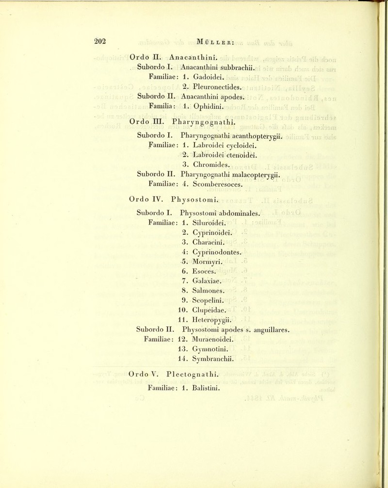 Ordo n. Anacanthini. • Subordo I. Anacanthini subbrachii. ’T- Familiae: 1. Gadoidei. 2. Pleuronectides. Subordo II. Anacanthini apödes. Familia: 1. Ophidini. Ordo III. Pharyngognathi. Subordo I. Pharyngognathi acanthopterjgii. Familiae: 1. Labroidei cycloidei. 2. Labroidei ctenoidei. 3. Chromides. Subordo II. Pharjngognathi malacopterygii. Familiae: 4. Scomberesoces. Ordo IV. Physostomi. Subordo I. Physostomi abdominales. Familiae: 1. Siluroidei. 2. Cyprinoidei. 3. Characini. 4: Cyprinodontes. 5. Mormyri. 6. Esoces. 7. Galaxiae. 8. Salmones. 9. Scopelini. 10. Clupeidae. 11. Heteropygii. Subordo II. Physostomi apodes s. anguillares. Familiae: 12. Muraenoidei. 13. Gymnotini. 14. Symbranchii. Ordo V. Plectognathi. Familiae: 1. Balistini.
