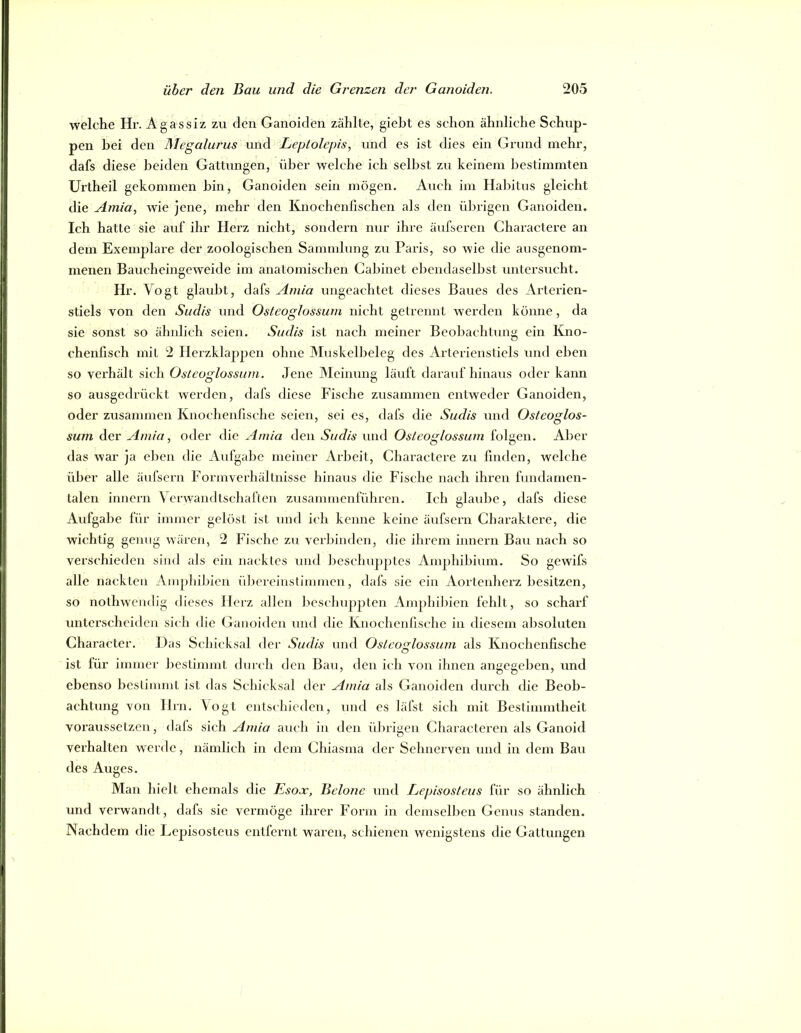 welche Hr. Agassiz zu den Ganoiden zählte, gieht es schon ähnliche Schup- pen bei den Megalurus und Leplolepis, und es ist dies ein Grund mehr, dafs diese beiden Gattungen, über welche ich selbst zu keinem bestimmten Urtheil gekommen bin, Ganoiden sein mögen. Auch im Halntus gleicht die Amia, wie jene, mehr den Knochenfischen als den übrigen Ganoiden. Ich hatte sie auf ihr Herz nicht, sondern nur ihre äufseren Charactere an dem Exemplare der zoologischen Sammlung zu Paris, so wie die ausgenom- menen Baucheingeweide im anatomischen Cabinet eliendaselbst untersucht. Hr. Vogt glaubt, dafs Ainia ungeachtet dieses Baues des Arterien- stiels von den Sudis und Osteoglossum nicht getrennt werden könne, da sie sonst so ähnlich seien. Sudis ist nach meiner Beobachtung ein Kno- chenfisch mit 2 Herzklappen ohne Muskelbeleg des Arterienstiels und eben so verhält sich Osteoglossum. Jene Meinung läuft darauf hinaus oder kann so ausgedrückt werden, dafs diese Fische zusammen entweder Ganoiden, oder zusammen Knochenfische seien, sei es, dafs die Sudis und Osteoglos- sum der Ajuia, oder die Amia den Sudis und Osteoglossum folgen. Aber das war ja eJjen die Aufgabe meiner Arbeit, Charactere zu finden, welche über alle äufsern Formverhältnisse hinaus die Fische nach ihren fundamen- talen innern Verwandtschaften zusammenführen. Ich glaube, dafs diese Aufgabe für immer gelöst ist und ich kenne keine äufsern Charaktere, die wichtig genug wären, 2 Fische zu verbinden, die ihrem innern Bau nach so verschieden sind als ein nacktes und lieschupptes Amphibium. So gewifs alle nackten Amphibien ülicrcinstimmen, dafs sie ein Aortcnlierz besitzen, so nothwendig dieses Herz allen beschuppten Ampliiiiien fehlt, so scharf unterscheiden sich die Ganoiden und die Knochenfische in diesem absoluten Character. Das Schicksal der Sudis und Osteoglossum als Knochenfische ist lür immer bestimmt durch den Bau, den ich von ihnen angegeben, und ebenso bestimmt ist das Schicksal der Amia als Ganoiden durch die Beob- achtung von Hin. Vogt entschieden, und es läfst sich mit Bestimmtheit voraussetzen, dals sich Amia auch in den ülirigen Characteren als Ganoid verhalten werde, nämlich in dem Chiasma der Sehnerven und in dem Bau des Auges. Man hielt ehemals die Esojc, Belone und Lepisosteus für so ähnlich und verwandt, dafs sie vermöge ihrer Form in demselben Genus standen. Nachdem die Lepisosteus entfernt waren, schienen wenigstens die Gattungen