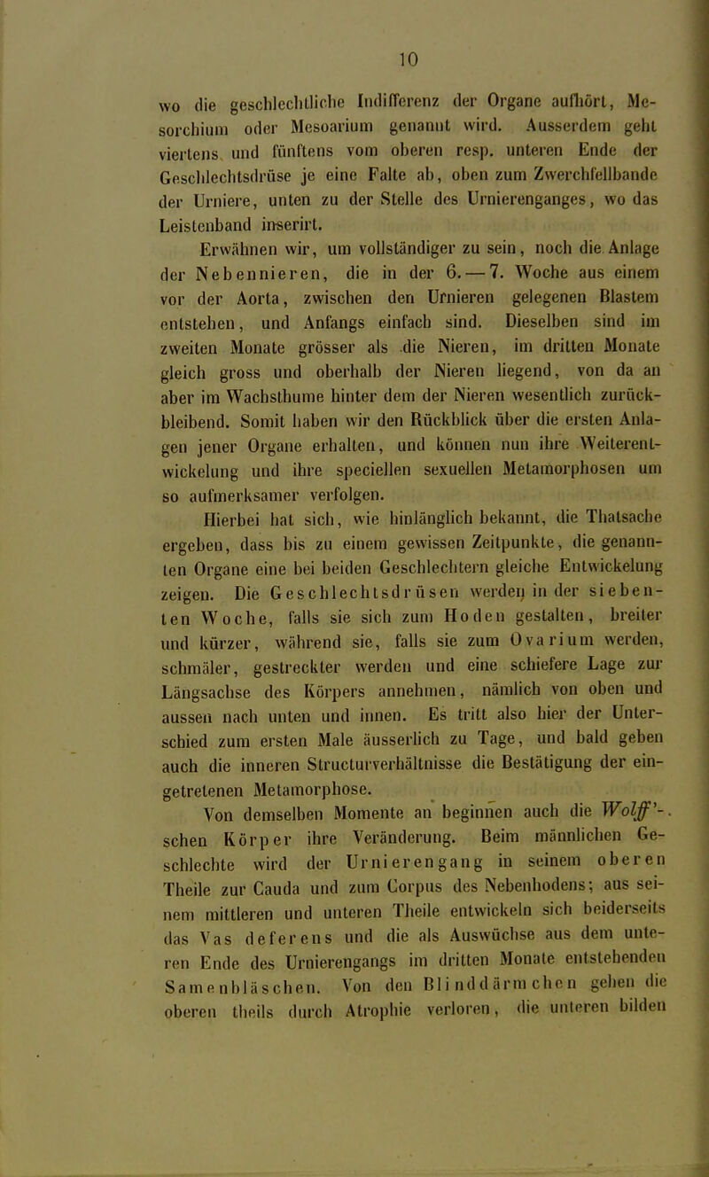 wo die geschleclilliclie Indifferenz der Organe aufliört, Me- sorcliiiim oder Mesoarium genannt wird. Ausserdem geht viertens, und fünftens vom oberen resp. unteren Ende der Gesclilechtsdrüse je eine Falte ab, oben zum Zwerchfcllbande der Urniere, unten zu der Stelle des Urnierenganges, wo das Leistenband inserirt. Erwähnen wir, um vollständiger zu sein, noch die Anlage der Nebennieren, die in der 6. — 7. Woche aus einem vor der Aorta, zwischen den ürnieren gelegenen Blastem entstehen, und Anfangs einfach sind. Dieselben sind im zweiten Monate grösser als die Nieren, im dritten Monate gleich gross und oberhalb der Nieren liegend, von da an aber im Wachsthume hinter dem der Nieren wesentlich zurück- bleibend. Somit haben wir den Rückblick über die ersten Anla- gen jener Organe erhalten, und können nun ihre Weiterent- wickelung und ihre speciellen sexuellen Metamorphosen um so aufmerksamer verfolgen. Hierbei hat sich, wie hinlänglich bekannt, die Thatsache ergeben, dass bis zu einem gewissen Zeitpunkte, die genann- ten Organe eine bei beiden Geschlechtern gleiche Entwickelung zeigen. Die Geschlechtsdrüsen werden in der sieben- ten Woche, falls sie sich zum Hoden gestalten, breiter und kürzer, während sie, falls sie zum Ovarium werden, schmäler, gestreckter werden und eine schiefere Lage zur Längsachse des Körpers annehmen, nämlich von oben und aussen nach unten und innen. Es tritt also hier der Unter- schied zum ersten Male äusseriich zu Tage, und bald geben auch die inneren Structurverhältnisse die Bestätigung der ein- getretenen Metamorphose. Von demselben Momente an beginnen auch die Wolff'-. sehen Körper ihre Veränderung. Beim männlichen Ge- schlechte wird der Urnierengang in seinem oberen Theile zur Cauda und zum Corpus des Nebenhodens; aus sei- nem mittleren und unteren Theile entwickeln sich beiderseits das Vas deferens und die als Auswüchse aus dem unte- ren Ende des Urnierengangs im dritten Monate entstehenden Samenbläschen. Von den Bli nddärm eben geben die oberen theils durch Atrophie verioren, die unteren bilden