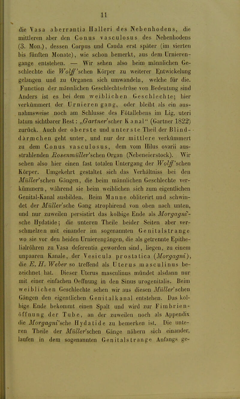 die Yasa aberrantia Ilalleri des Nebenhodens, die minieren aber den Conus vasculosus des Nebenbodens (3. Mon.), dessen Corpus und Cauda erst später (im vierten bis fünften Monate), wie scbon bemerkt, aus dem Urnieren- gange entstehen. — Wir sehen also beim männlichen Ge- schlechte die Wolff'sehen Körper zu weiterer Entwickelung gelangen und zu Organen sich umwandeln, welche für die. Function der männhchen Geschlechtsdrüse von Bedeutung sind Anders ist es bei dem weiblichen Geschlechte-, hier verkümmert der ürnieren gang, oder bleibt als ein aus- nahmsweise noch am Schlüsse des Fötallebens im Lig. uteri latuin sichtbarer Rest: „Gärtner'scher K anal (Gärtner 1822) zurück. Auch der oberste und unterste Theil der Blind- därmchen geht unter, und nur der mittlere verkümmert zu dem Conus vasculosus, dem vom Hilus ovarii aus- strahlenden BosenmüUer'sehen Organ (Nebeneierstock). Wir sehen also hier einen fast totalen Untergang der l^oZ^'schen Körper. Umgekehrt gestallet sich das Verhältniss bei den MüUer'schen Gängen, die beim männlichen Geschlechte ver- kümmern , während sie beim weiblichen sich zum eigentlichen Genital-Kanal ausbilden. Beim Manne obliterirt und schwin- det der MüUer'sche Gang atrophirend von oben nach unten, und nur zuweilen persistirt das kolbige Ende als Morgagni'- sche Hydatide; die unteren Theile beider Seiten aber ver- schmelzen mit einander im sogenannten Genitalstrange wo sie vor den beiden Urnierengängen, die als getrennte Epithe- lialröhren zu Vasa deferentia geworden sind, liegen, zu einem unpaaren Kanäle, der Vesicula prostatica (Morgagni), die E. H. Weber so treffend als Uterus masculinus be- zeichnet hat. Dieser Uterus masculinus mündet alsdann nur mit einer einfachen Oeffnung in den Sinus urogenitalis. Beim weiblichen Geschlechte sehen wir aus diesen i/iiZ^er'sehen Gängen den eigentlichen Gen i tal k anal entstehen. Das kol- bige Ende bekommt einen Spalt und wird zur Firabrien- öffnung der Tube, an der zuweilen noch als Appendix die Morgagni'sche Hydatide zu bemerken ist. Die unte- ren Theile der Müller'schen Gänge nähern sich einander, laufen in dem sogenannten Genitalstrango Anfangs ge-