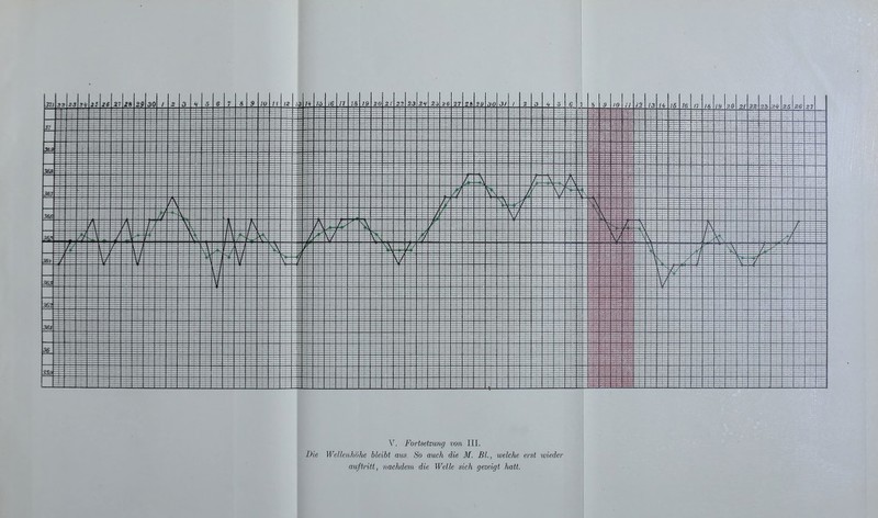 Die Wellenhöhe bleibt aus. So auch die M. Bl., welche erst wieder auftritt, nachdem die Welle sich gezeigt hatt.