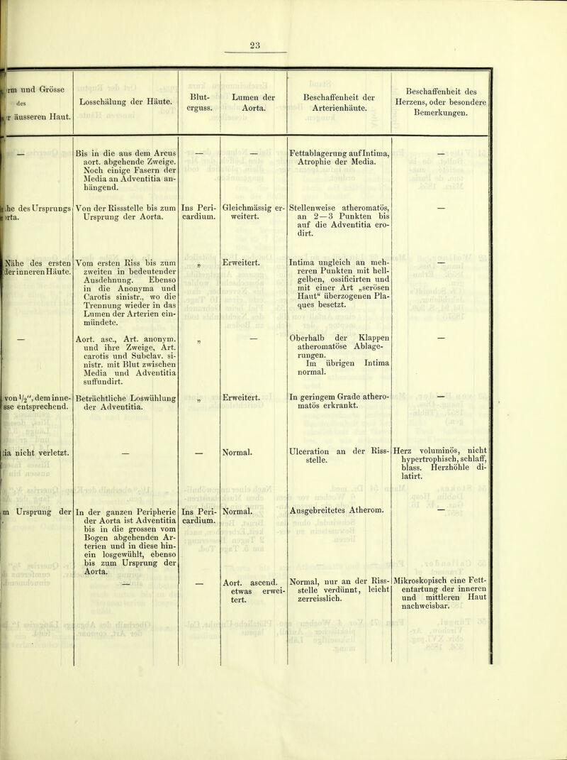 mi nnd Grosse ■ les 1- iiusseren Haut. Losschâlung der Haute. Blut- erguss. Lumen der Aorta. Beschaffenheit der Arterienhiiute. Beschaffenheit des Herzens, oder besondere Bemerkungen. |ij :he des Ursprungs )rta. Niibe des ersten der inneren Haute. von i/2)deminne- ese entsprechend. jtia nicht verletzt. m Ursprung der Bis in die aus dem Arcus aort. abgehende Zweige. Noch einige Fasern der Media an Adventitia an- hangend. Von der Eissstelle bis zum Ursprung der Aorta. Vom ersten Eiss bis zum zweiten in bedeutender Ausdehnung. Ebenso in die Anonyma und Carotis sinistr., wo die Trennung wieder in das Lumen der Arterien ein- miindete. Aort. asc., Art. anonym. und ihre Zweige, Art. carotis und Subclav. si- nistr. mit Blut zwischen Media und Adventitia suffundirt. Betrâchtliche Loswiihlung der Adventitia. In der ganzen Peripherie der Aorta ist Adventitia bis in die grossen vom Bogen abgehenden Ar- terien und in dièse hin- ein losgewiihlt, ebenso bis zum Ursprung der Aorta. Ins Peri- cardium. Ins Peri- cardium. Gleichmassig er- weitert. Erweitert. Erweitert. Normal. Normal. Aort. ascend. etwas erwei- tert. Fettablagerung auf Intima, Atrophie der Media. Stellenweise atheromatôs, an 2 — 3 Punkten bis auf die Adventitia ero- dirt. Intima ungleich an meh- reren Punkten mit hell- gelben, ossificirten und mit einer Art „serosen Haut iiberzogenen Pla- ques besetzt. Oberhalb der Klappen atheromatose Ablage- rungen. Im iibrigen Intima normal. In geringem Grade athero- matôs erkrankt. Ulcération an der Eiss- stelle. Ausgebreitetes Atherom. Normal, nur an der Eiss- stelle verdiïnnt, leicht zen'eisslich. Herz voluminos, nicht hypertrophisch, schlaff, blass. Herzhohle di- latirt. Mikroskopisch eine Fett- entartung der inneren und mittleren Haut nachweisbar.