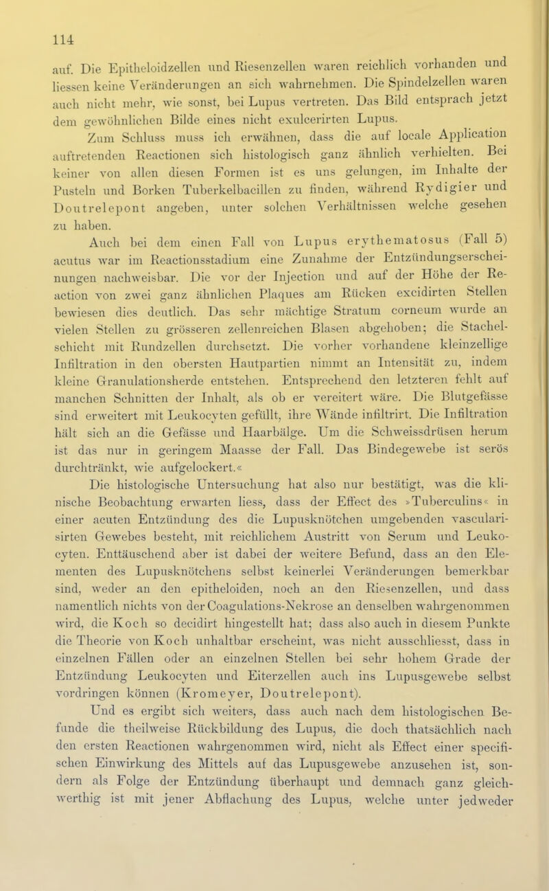 auf. Die Epitbeloidzellen und Riesenzelleu Wcaren reichlich vorhanden und Hessen keine Veränderungen an sich wahrnehmen. Die Spindelzellen waren auch nicht mehr, wie sonst, bei Lupus vertreten. Das Bild entsprach jetzt dem gewöhnlichen Bilde eines nicht exulcerirten Lupus, Zum Schluss muss ich erwähnen, dass die auf locale Application auftretenden Reactionen sich histologisch ganz ähnlich verhielten. Bei keiner von allen diesen Formen ist es uns gelungen, im Inhalte der Pusteln und Borken Tuberkelbacillen zu finden, während Rydigier und Doutrelepont angeben, unter solchen Verhältnissen welche gesehen zu haben. Auch bei dem einen Fall von Lupus erythematosus (Fall 5) acutus war im Reactionsstadium eine Zunahme der Entzündungserschei- nungen nachweisbar. Die vor der Injection und auf der Höhe der Re- action von zwei ganz ähnlichen Plaques am Rücken excidirten Stellen bewiesen dies deutlich. Das sehr mächtige Stratum corneum wurde an vielen Stellen zu grösseren zellenreichen Blasen abgehoben; die Stachel- schicht mit Rundzellen durchsetzt. Die vorher vorhandene kleinzellige Infiltration in den obersten Hautpartien nimmt an Intensität zu, indem kleine Granulationsherde entstehen. Entsprechend den letzteren fehlt auf manchen Schnitten der Inhalt, als ob er vereitert wäre. Die Blutgefässe sind erweitert mit Leukocyten gefüllt, ihre Wände infiltrirt. Die Infiltration hält sich an die Gefiisse und Haarbälge. Um die Schweissdrüsen herum ist das nur in geringem Maasse der Fall. Das Bindegewebe ist serös durchtränkt, wie aufgelockert.« Die histologische Untersuchung hat also nur bestätigt, was die kli- nische Beobachtung erwarten Hess, dass der Effect des »Tuberculins« in einer acuten Entzündung des die Lupusknötchen umgebenden vasculari- sirten Gewebes besteht, mit reichlichem Austritt von Serum und Leuko- cyten. Enttäuschend aber ist dabei der weitere Befund, dass an den Ele- menten des Lupusknötchens selbst keinerlei Veränderungen bemerkbar sind, weder an den epitheloiden, noch an den Riesenzelleu, und dass namentlich nichts von der Coagulations-Nekrose an denselben wahrgenommen wird, die Koch so decidirt hingestellt hat; dass also auch in diesem Punkte die Theorie von Koch unhaltbar erscheint, was nicht ausschliesst, dass in einzelnen Fällen oder an einzelnen Stellen bei sehr hohem Grade der Entzündung Leukocyten und Eiterzellen auch ins Lupusgewebe selbst vordringen können (Kromeyer, Doutrelepont). Und es ergibt sich weiters, dass auch nach dem histologischen Be- funde die theilweise Rückbildung des Lupus, die doch thatsächlich nach den ersten Reactionen wahrgenommen wird, nicht als Effect einer specifi- schen EiuAvirkung des Mittels auf das Lupusgewebe anzusehen ist, son- dern als Folge der Entzündung überhaupt und demnach ganz gleich- werthig ist mit jener Abflachung des Lupus, welche unter jedweder