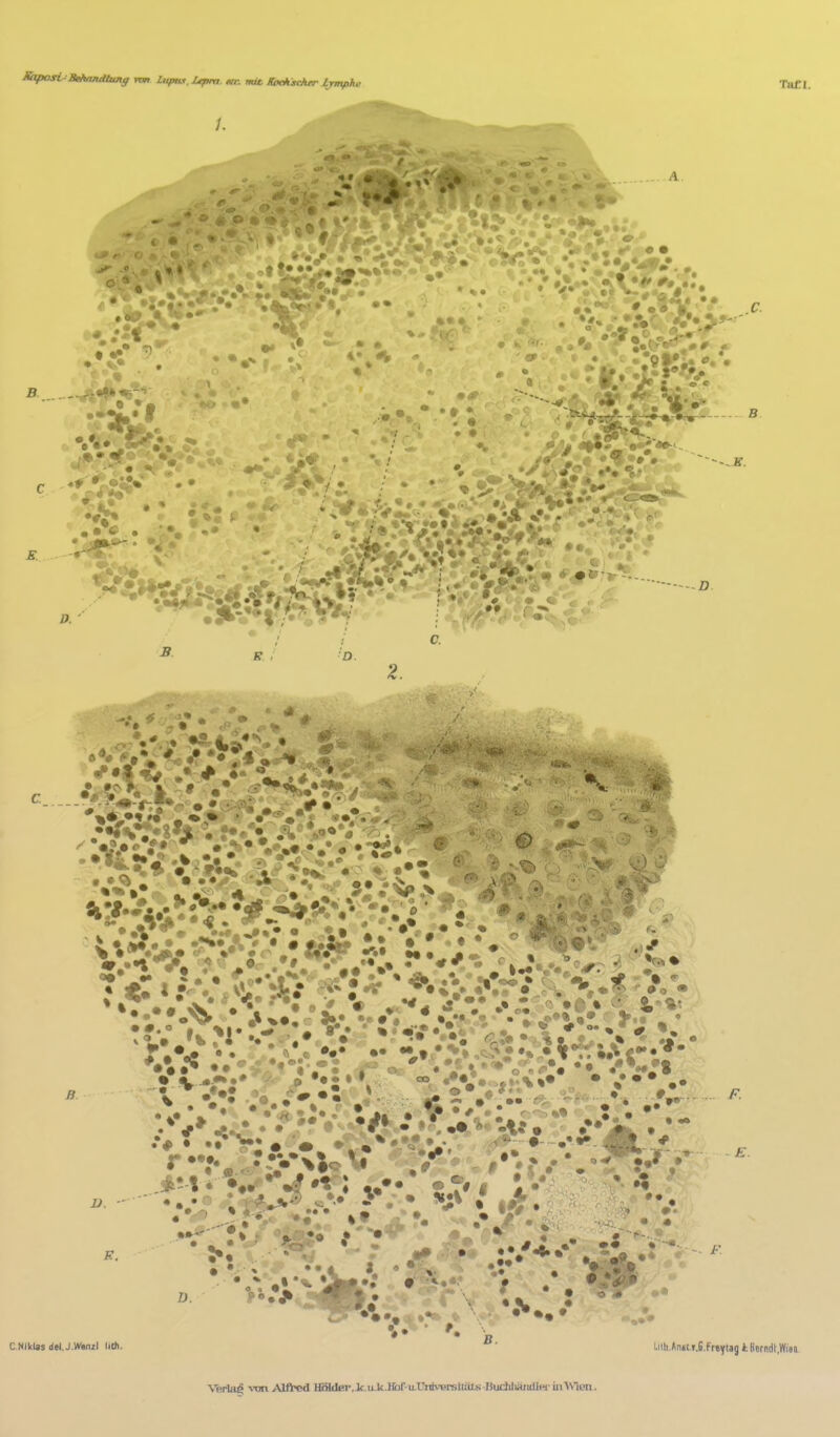 Tatl. fl. * . • • * 0 D. 3 ■ * V c. 1 's B CNlklasdel.J.WM^I liüi. E. Liifa.«ni(.T.C.Fr«yt3g k Berndt.Wien \'eria^ von Alfred Hffldei\Jc.ti.k.Ifcf-iLUniyBrstläls-BijchlwjidJ« üi\\len.