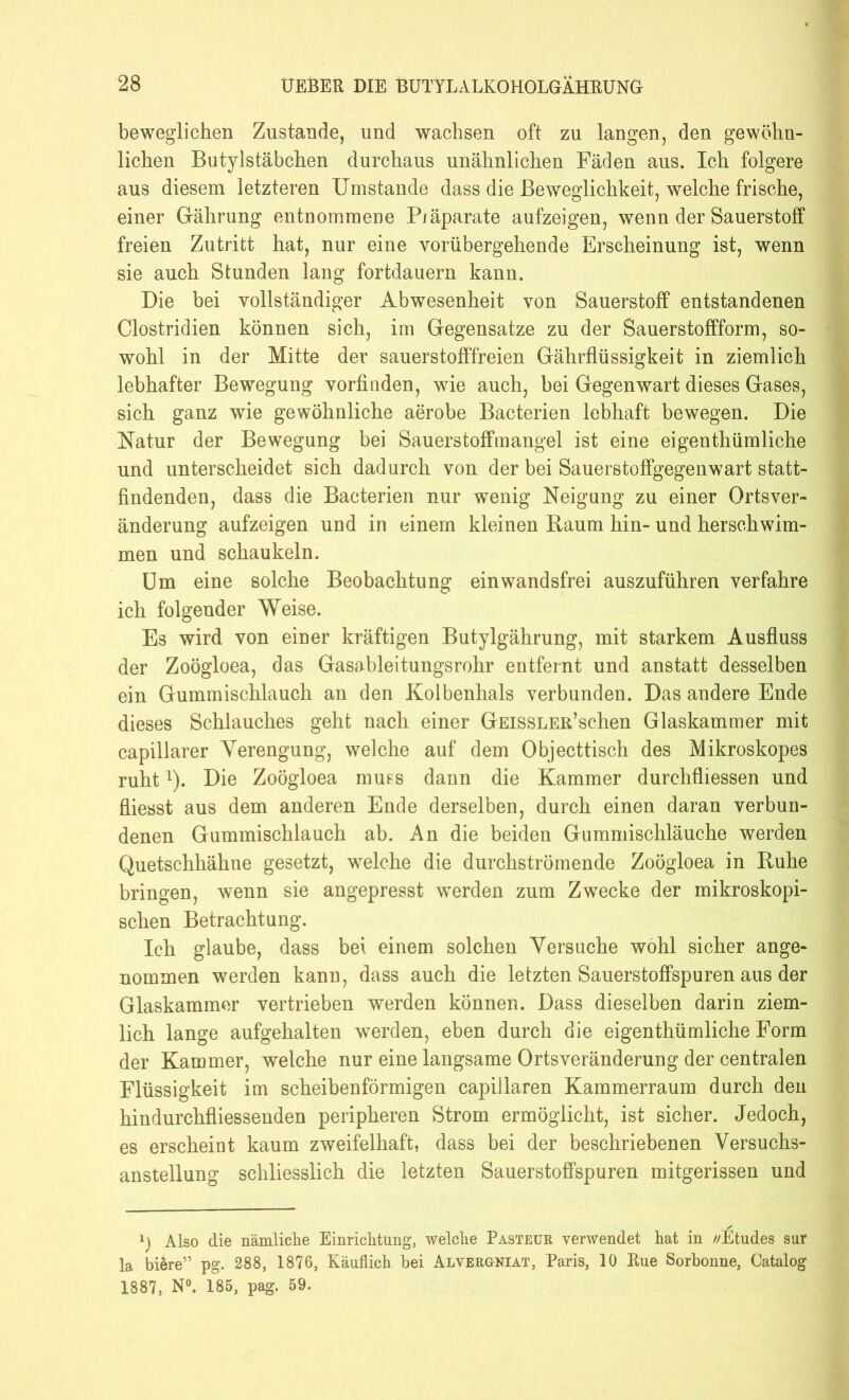 beweglichen Zustande, und wachsen oft zu langen, den gewöhn- lichen Butylstäbchen durchaus unähnlichen Fäden aus. Ich folgere aus diesem letzteren Umstande dass die Beweglichkeit, welche frische, einer Gährung entnommene Piäparate aufzeigen, wenn der Sauerstoff freien Zutritt hat, nur eine vorübergehende Erscheinung ist, wenn sie auch Stunden lang fortdauern kann. Die bei vollständiger Abwesenheit von Sauerstoff entstandenen Clostridien können sich, im Gegensätze zu der Sauerstoffform, so- wohl in der Mitte der sauerstofffreien Gährflüssigkeit in ziemlich lebhafter Bewegung vorfinden, wie auch, bei Gegenwart dieses Gases, sich ganz wie gewöhnliche aerobe Bacterien lebhaft bewegen. Die Natur der Bewegung bei Sauerstoffmangel ist eine eigenthümliche und unterscheidet sich dadurch von der bei Sauerstoffgegenwart statt- findenden, dass die Bacterien nur wenig Neigung zu einer Ortsver- änderung aufzeigen und in einem kleinen Baum hin- und herschwim- men und schaukeln. Um eine solche Beobachtung ein wandsfrei auszuführen verfahre ich folgender Weise. Es wird von einer kräftigen Butylgährung, mit starkem Ausfluss der Zoögloea, das Gasableitungsrohr entfernt und anstatt desselben ein Gummischlauch an den Kolbenhals verbunden. Das andere Ende dieses Schlauches geht nach einer GEissLER’schen Glaskammer mit capillarer Verengung, welche auf dem Objecttisch des Mikroskopes ruht1). Die Zoögloea muss dann die Kammer durchfliessen und fliesst aus dem anderen Ende derselben, durch einen daran verbun- denen Gummischlauch ab. An die beiden Gummischläuche werden Quetschhähne gesetzt, welche die durchströmende Zoögloea in Ruhe bringen, wenn sie angepresst werden zum Zwecke der mikroskopi- schen Betrachtung. Ich glaube, dass bei einem solchen Versuche wohl sicher ange- nommen werden kann, dass auch die letzten Sauerstoffspuren aus der Glaskammer vertrieben werden können. Dass dieselben darin ziem- lich lange aufgehalten werden, eben durch die eigenthümliche Form der Kammer, welche nur eine langsame Ortsveränderung der centralen Flüssigkeit im scheibenförmigen capillaren Kammerraum durch den hindurchfliessenden peripheren Strom ermöglicht, ist sicher. Jedoch, es erscheint kaum zweifelhaft, dass bei der beschriebenen Versuchs- anstellung schliesslich die letzten Sauerstoffspuren mitgerissen und i) Also die nämliche Einrichtung, welche Pasteur verwendet hat in //Etudes sur la biere” pg. 288, 1876, Käuflich bei Alvergniat, Paris, 10 Rue Sorbonne, Catalog 1887, N°. 185, pag. 59.