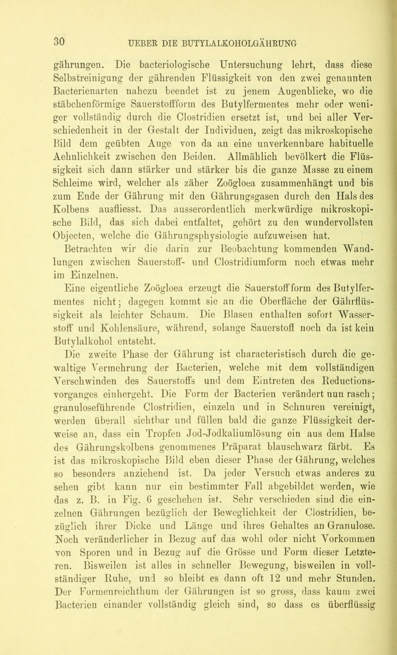 gährungen. Die bacteriologische Untersuchung lehrt, dass diese Selbstreinigung der gährenden Flüssigkeit von den zwei genannten Bacterienarten nahezu beendet ist zu jenem Augenblicke, wo die stäbchenförmige Sauerstoffform des Butylfermentes mehr oder weni- ger vollständig durch die Clostridien ersetzt ist, und bei aller Ver- schiedenheit in der Gestalt der Individuen, zeigt das mikroskopische Bild dem geübten Auge von da an eine unverkennbare habituelle Aehnlichkeit zwischen den Beiden. Allmählich bevölkert die Flüs- sigkeit sich dann stärker und stärker bis die ganze Masse zu einem Schleime wird, welcher als zäher Zoögloea zusammenhängt und bis zum Ende der Gährung mit den Gährungsgasen durch den Hals des Kolbens ausfliesst. Das ausserordentlich merkwürdige mikroskopi- sche Bild, das sich dabei entfaltet, gehört zu den wundervollsten Objecten, welche die Gährungsphysiologie aufzuweisen hat. Betrachten wir die darin zur Beobachtung kommenden Wand- lungen zwischen Sauerstoff- und Clostridiumform noch etwas mehr im Einzelnen. Eine eigentliche Zoögloea erzeugt die Sauerstoff form des Butylfer- mentes nicht; dagegen kommt sie an die Oberfläche der Gährfliis- sigkeit als leichter Schaum. Die Blasen enthalten sofort Wasser- stoff und Kohlensäure, während, solange Sauerstoff noch da ist kein Butylalkohol entsteht. Die zweite Phase der Gährung ist characteristisch durch die ge- waltige Vermehrung der Bacterien, welche mit dem vollständigen Verschwinden des Sauerstoffs und dem Eintreten des Reductions- vorganges einhergeht. Die Form der Bacterien verändert nun rasch; granuloseführende Clostridien, einzeln und in Schnuren vereinigt, werden überall sichtbar und füllen bald die ganze Flüssigkeit der- weise an, dass ein Tropfen Jod-Jodkaliumlösung ein aus dem Halse des Gährungskolbens genommenes Präparat blauschwarz färbt. Es ist das mikroskopische Bild eben dieser Phase der Gährung, welches so besonders anziehend ist. Da jeder Versuch etwas anderes zu sehen gibt kann nur ein bestimmter Fall abgebildet werden, wie das z. B. in Fig. 6 geschehen ist. Sehr verschieden sind die ein- zelnen Gährungen bezüglich der Beweglichkeit der Clostridien, be- züglich ihrer Dicke und Länge und ihres Gehaltes an Granulöse. Noch veränderlicher in Bezug auf das wohl oder nicht Vorkommen von Sporen und in Bezug auf die Grösse und Form dieser Letzte- ren. Bisweilen ist alles in schneller Bewegung, bisweilen in voll- ständiger Ruhe, und so bleibt es dann oft 12 und mehr Stunden. Der Formenreichthum der Gährungen ist so gross, dass kaum zwei Bacterien einander vollständig gleich sind, so dass es überflüssig