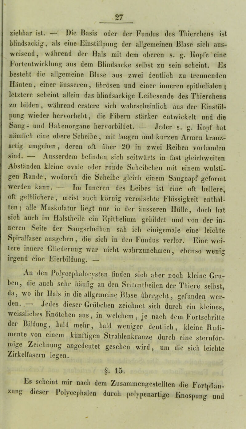 ziehbar ist. — Die Basis oder der Fundus des Tliierehens ist blindsackig, als eine Einsliilpnng der allj^eineineii Blase sieli aus- weisend, während der Hals mit dem oberen s. g. Kopfe'eine bortenlwicklung aus dem Blindsacke Selbst zu sein scheint. Fs besteht die allgemeine Blase aus zwei deutlich zu trennenden Häuten, einer äusseren, fibrösen und einer inneren epithelialen; letztere scheint allein das blindsackige Leibesende des Tliierehens zu bilden , während erstere sich wahrscheinlich aus der Einstül- pung wieder hervorhebt, die Fibern stärker entwickelt und die Saug- und Hakenorgane hervorbildet. — Jeder s. g. Kopf hat nämlich eine obere Scheibe, mit langen und kurzen Armen kranz- artig umgeben, deren oft über 20 in zwei Reihen vorhanden sind. — Ausserdem belinden sich seitwärts in fast gleichweiten Abständen kleine ovale oder runde Scheibchen mit einem wulsti- gen Rande, wodurch die Scheibe gleich einem Saugnapf geformt werden kann. — Tm Inneren des Leibes ist eine oft hellere, oft gelblichere, meist auch körnig vermischte Flüssigkeit enthal- ten; alle Muskulatur liegt nur in der äusseren Hülle, doch hat sich auch im Halsllmile ein Epilhelium gebildet und von der in- neren Seite der Saugscheiben sah ich einigemale eine leichte Spiralfaser ausgehen, die sich ln den Fundus verlor. Eine wei- tere innere Gliederung war nicht wahrzuiiehmen, ebenso wenig irgend eine Eierbildung. — An den Polycephalocysten finden sich aber noch kleine Gru- ben, die auch sehr häufig an den Seitentheilen der Thiere selbst, da, wo ihr Hals in die allgemeine Blase übergeht, gefunden wer- den. — Jedes dieser Grübchen zeichnet sich durch ein kleines, weissllches Knötchen aus, in welchem, je nach dem Fortschritte der Bildung, bald mehr, bald weniger deutlich, kleine Rudi- mente von einem künftigen Strahlenkränze durch eine sternför- mige Zeichnung angedeutet gesehen wird, um die sich leichte Zirkelfasern legen. §. 15. Es scheint mir nach dem Zusammengestellten die Fortpflan- 2'ins dieser l'olycephalen durcli |.olypeiiarlige Knospung und