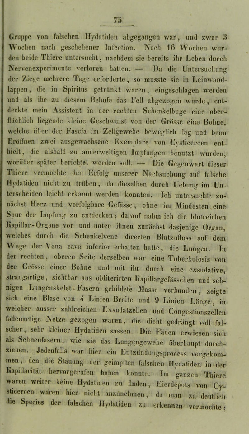 (Jruppe von falschen Hydalldcn abgegangen war, und zwar 5 ^^'ochen nach geschehener Infeclion. INach 16 Wochen wur- den beide Thiere untersucht, nachdem sie bereits ihr Leben durch Nervenexperimenle verloren hatten. — J)a die Untersuchung der Ziege mehrere Tage erforderte, so musste sie in Leinwand- lappen , die in Spiritus getränkt waren, eingeschlagen werden und als ihr zu diesem Beluife das Fell abgezogen wurde, ent- deckte mein Assistent in der rechten Schenkelbuge eine ober- llächlich liegende kleine Geschwulst von der Grösse eine Bohne, welche über der Fascia im Zellgewebe beweglich lag und beim Eröffnen zwei ausgewachsene Exemplare von Cyslicercen ent- hielt, die alsbald zu anderweitigen Impfungen benutzt wurden, worüber später berichtet werden soll. — Die Gegenwart dieser Thiere vermochte den Erfolg unserer Nachsuchung auf falsche Hydaliden nicht zu trüben, da dieselben durch Uebung im Un- tei'scheiden leicht erkannt werden konnten. Ich untersuchte zu- nächst Herz und verfolgbare Gefässe, ohne im Afindesten eine Spur der Impfung zu entdecken 5 darauf nahm ich die blutreichen Kapillar-Organe vor und unter ihnen zunächst dasjenige Organ, welches durch die Schenkelvene directen Blutzufluss auf dem AVege der Vena cava inferior erhalten hatte, die Lungen. In der rechten, oberen Seite derselben war eine Tuberkulosis von der Grösse einer Bohne und mit ihr durch eine exsudative, strangartige, sichtbar aus oblilerirlen Kapillargerässchen und seh- nigen Lungenskelet - Fasern gebildete Alasse verbunden, zeigte sich eine Blase von 4 Linien Breite und 9 Linien Länge,^*n welcher ausser zahlreichen Exsudatzellen und CongestionLillen fadenartige Netze gezogen waren, die dicht gedrängt voll fal- scher, sehr kleiner Ilydatiden sassen. Die Fäden erwiesen sich als Sehnenfaserii, wie sie das Lungengewebe überhaupt durch- ziehen. Jedenfalls war hier ein Entzündungsprocess vorgekom- men, den die Stauung der geimpften falschen Ilydatiden in der Kapillarität hervorgerufeu haben konnte. Im ganzen Thiere waren weiter keine Ilydatiden zu linden, Eierdepots von Cy- sticercen waren hier nicht anzunehmen, da man zu deutlich die Species der falschen Ilydatiden zu erkennen vermochte-