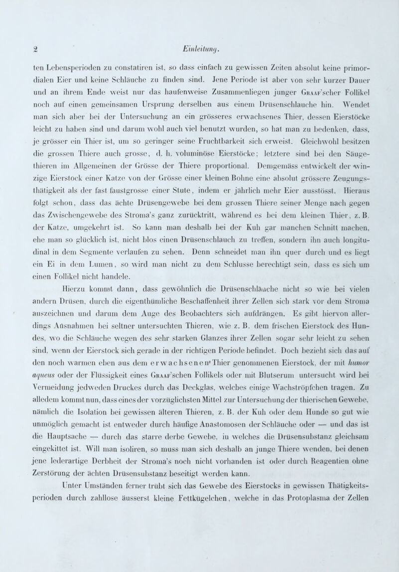 ten Lebensperioden zu constatiren ist, so dass einfach zu gewissen Zeiten absolut keine primor- dialen Eier und keine Schlauche zu finden sind. Jene Periode ist aber von sehr kurzer Dauer und an ihrem Ende weist nur das haufenweise Zusammenlegen junger GRAAF’scher Follikel noch auf einen gemeinsamen Ursprung derselben aus einem Drüsenschlauche hin. Wendet man sich aber bei der Untersuchung an ein grösseres erwachsenes Thier, dessen Eierstöcke leicht zu haben sind und darum wohl auch viel benutzt wurden, so hat man zu bedenken, dass, je grösser ein Thier ist, um so geringer seine Fruchtbarkeit sich erweist. Gleichwohl besitzen die grossen Thiere auch grosse, d. h. voluminöse Eierstöcke; letztere sind bei den Säuge- thieren im Allgemeinen der Grösse der Thiere proportional. Demgemäss entwickelt der Avin- zige Eierstock einer Katze von der Grösse einer kleinen Bohne eine absolut grössere Zeugungs- thätigkeit als der fast faustgrosse einer Stute, indem er jährlich mehr Eier ausstösst. Hieraus folgt schon, dass das ächte Drüsengewebe bei dem grossen Thiere seiner Menge nach gegen das Zwischengewebe des Stroma’s ganz zurücktritt, währendes bei dem kleinen Thier, z. B. der Katze, umgekehrt ist. So kann man deshalb bei der Kuh gar manchen Schnitt machen, ehe man so glücklich ist, nicht blos einen Drüsenschlauch zu treffen, sondern ihn auch longitu- dinal in dem Segmente verlaufen zu sehen. Denn schneidet man ihn quer durch und es liegt ein Ei in dem Lumen, so wird man nicht zu dem Schlüsse berechtigt sein, dass es sich um einen Follikel nicht handele. Hierzu kommt dann, dass gewöhnlich die Drüsenschläuche nicht so wie bei vielen andern Drüsen, durch die eigenthümliche Beschaffenheit ihrer Zellen sich stark vor dem Stroma auszeichnen und darum dem Auge des Beobachters sich aufdrängen. Es gibt hiervon aller- dings Ausnahmen bei seltner untersuchten Thieren, wie z. B. dem frischen Eierstock des Hun- des, wo die Schläuche wegen des sehr starken Glanzes ihrer Zellen sogar sehr leicht zu sehen sind, wenn der Eierstock sich gerade in der richtigen Periode befindet. Doch bezieht sich dasauf den noch warmen eben aus dem erwachsenen’Thier genommenen Eierstock. der mit humor aqueus oder der Flüssigkeit eines GiuAF’schen Follikels oder mit Blutserum untersucht wird bei Vermeidung jedweden Druckes durch das Deckglas, welches einige Wachströpfchen tragen. Zu alledem kommt nun, dass eines der vorzüglichsten Mittel zur Untersuchung der thierischen Gewebe, nämlich die Isolation bei gewissen älteren Thieren, z. B. der Kuh oder dem Hunde so gut wie unmöglich gemacht ist entweder durch häufige Anastomosen der Schläuche oder — und das ist die Hauptsache — durch das starre derbe Gewebe, in welches die Drüsensubstanz gleichsam eingekittet ist. Will man isoliren, so muss man sich deshalb an junge Thiere wenden, bei denen jene lederartige Derbheit der Stroma’s noch nicht vorhanden ist oder durch Beagentien ohne Zerstörung der ächten Drüsensubstanz beseitigt werden kann. Unter Umständen ferner trübt sich das Gewebe des Eierstocks in gewissen Thätigkeits- perioden durch zahllose äusserst kleine Fettkügelchen, welche in das Protoplasma der Zellen