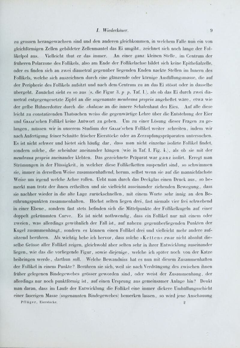 zu grossen herangewachsen sind und den anderen gleichkomraen, in welchem Falle nun ein von gleichförmigen Zellen gebildeter Zellenmantel das Ei umgibt , zeichnet sich noch lange der Fol- likelpol aus. Vielleicht thut er das immer. An einer ganz kleinen Stelle, im Centruin der früheren Polarzone des Follikels, also am Ende der Follikelachse bildet sich keine Epithelialzelle, oder es finden sich an zwei diametral gegenüber liegenden Enden nackte Stellen im Innern des Follikels, welche sich auszeichnen durch eine glanzende oder körnige Ausfüllungsmasse, die auf der Peripherie des Follikels aufsitzt und nach dem Centrum zu an das Ei stösst oder in dasselbe übergeht. Zunächst sieht es so aus (s. die Figur 3. p p. Taf. I.), als ob das Ei durch zwei dia- metral entgegengesetzte Zipfel an die sogenannte membrcina propria angeheftet wäre, etwa wie der gelbe Hühnerdotter durch die chalazae an die innere Schalenhaut des Eies. Auf alle diese leicht zu constatirenden Thatsachen weiss die gegenwärtige Lehre über die Entstehung der Eier und GnAAr’schen Follikel keine Antwort zu geben. Um zu einer Lösung dieser Fragen zu ge- langen, müssen wir in unserem Studium der GitAAF’schen Follikel weiter schreiten, indem wir nach Anfertigung feiner Schnitte frischer Eierstöcke oder an Zerzupfungspräparaten untersuchen. Es ist nicht schwer und bietet sich häufig dar, dass man nicht einzelne isolirte Follikel findet, sondern solche, die scheinbar aneinander hängen (wie in Taf. I. Fig. 4.), als ob sie mit der membrana propria aneinander klebten. Das gezeichnete Präparat war ganz isolirt. Erregt man Strömungen in der Flüssigkeit, in welcher diese Follikelketten suspendirt sind, so schwimmen sie, immer in derselben Weise zusammenhaftend, herum, selbst wenn sie auf die mannichfachste Weise um irgend welche Achse rollen. Uebt man durch das Deckglas einen Druck aus, so be- merkt man trotz der ihnen ertheilten und sie vielleicht auseinander ziehenden Bewegung, dass sie nachher wieder in die alte Lage zurückschnellen, mit einem Worte sehr innig an den Be- rührungspunkten Zusammenhalten. Höchst selten liegen drei, fast niemals vier frei schwebend in einer Ebene, sondern fast stets befinden sich die Mittelpunkte der Follikelkugeln auf einer doppelt gekrümmten Curve. Es ist nicht nothwendig, dass ein Follikel nur mit einem oder zweien, was allerdings gewöhnlich der Fall ist, auf nahezu gegenüberliegenden Punkten der Kugel zusammenhängt, sondern es können einen Follikel drei und vielleicht mehr andere auf- sitzend berühren. Als wichtig hebe ich hervor, dass solche »Ketten« zwar nicht absolut die- selbe Grösse aller Follikel zeigen, gleichwohl aber selten sehr in ihrer Entwicklung auseinander liegen, wie das die vorliegende Figur, sowie diejenige, welche ich später noch von der Katze beibringen werde, darthun soll. Welche Bewandniss hat es nun mit diesem Zusammenhaften der Follikel in einem Punkte? Berühren sie sich, weil sie nach Verdrängung des zwischen ihnen früher gelegenen Bindegewebes grösser geworden sind, oder weist der Zusammenhang, der allerdings nur noch punktförmig ist, auf einen Ursprung aus gemeinsamer Anlage hin? Denkt man daran, dass im Laufe der Entwicklung die Follikel eine immer dickere Umhüllungsschicht einer faserigen Masse (sogenannten Bindegewebes) bemerken lassen, so wird jene Anschauung Pflüger, Eierstöcke. 2