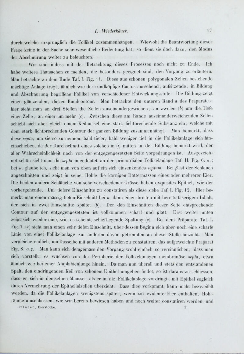 durch welche ursprünglich die Follikel Zusammenhängen. Wiewohl die Beantwortung dieser Frage keine in der Sache sehr wesentliche Bedeutung hat, so dient sie doch dazu, den Modus der Abschnürung weiter zu beleuchten. Wir sind indess mit der Betrachtung dieses Processes noch nicht zu Ende. Ich habe weitere Thatsachen zu melden, die besonders geeignet sind, den Vorgang zu erläutern. Man betrachte zu dem Ende Taf. I. Fig. I I. Diese aus schönen polygonalen Zellen bestehende mächtige Anlage trägt, ähnlich wie der rundköpfige Cactus aussehend, aufsitzende, in Bildung und Abschnürung begriffene Follikel von verschiedener Entwicklungsstufe. Die Bildung zeigt einen glänzenden, dicken Randcontour. Man betrachte den unteren Rand a des Präparates: hier sieht man an drei Stellen die Zellen auseinandergewichen, an zweien (b) um die Tiefe einer Zelle, an einer um mehr (r . Zwischen diese am Rande auseinanderweichenden Zellen schiebt sich aber gleich einem Keilmeisel eine stark lichtbrechende Substanz ein, welche mit dem stark lichtbrechenden Contour der ganzen Bildung zusammenhängt. Man bemerkt, dass diese sepia, um sie so zu nennen, bald tiefer, bald weniger tief in die Follikelanlage sich hin- einschieben, da der Durchschnitt eines solchen in (i) mitten in der Bildung bemerkt wird, der aller Wahrscheinlichkeit nach von der entgegengesetzten Seite vorgedrungen ist. Ausgezeich- net schön sieht man die sepia angedeutet an der primordialen Follikelanlage Taf. II. Fig. G. ; bei a, glaube ich, sieht man von oben auf ein sich einsenkendes septum. Bei ß ist der Schlauch angeschnitten und zeigt in seiner Höhle die körnigen Dottermassen eines oder mehrerer Eier. Die beiden andern Schläuche von sehr verschiedener Grösse haben exquisites Epithel, wie der vorhergehende. Um tiefere Einschnitte zu constatiren als diese siehe Taf. I. Fig. 12. Hier be- merkt man einen mässig tiefen Einschnitt bei a, dann einen breiten mit bereits faserigem Inhalt, der sich in zwei Einschnitte spaltet (6). Der den Einschnitten dieser Seite entsprechende Contour auf der entgegengesetzten ist vollkommen scharf und glatt. Erst weiter unten zeigt sich wieder eine, wie es scheint, schief liegende Spaltung (c). Bei dem Präparate Taf. I. Fig. 7. (x) sieht man einen sehr tiefen Einschnitt, überdessen Beginn sich aber noch eine scharfe Linie von einer Follikelanlage zur anderen davon getrennten an dieser Stelle hinzieht. Man vergleiche endlich, um Dasselbe mit anderen Methoden zu constatiren. das aufgeweichte Präparat Fig. 8. a y. Man kann sich demgemäss den Vorgang wohl einfach so versinnlichen, dass man sich vorstellt, es wüchsen von der Peripherie der Follikelanlagen membranöse sepia, etwa ähnlich wie bei einer Amphibienlunge hinein. Da man nun überall und stets den entstandenen Spalt, den eindringenden Keil von schönem Epithel umgeben findet, so ist daraus zu schliessen. dass er sich in demselben Maasse, als er in die Follikelanlage vordringt , mit Epithel sogleich durch Vermehrung der Epithelialzellen überzieht. Dass dies vorkommt, kann nicht bezweifelt werden, da die Follikelanlagen wenigstens später, wenn sie evidente Eier enthalten, Hohl- räume umschliessen, wie wir bereits bewiesen haben und noch weiter constatiren werden, und Pflüger, Eierstöcke. 3