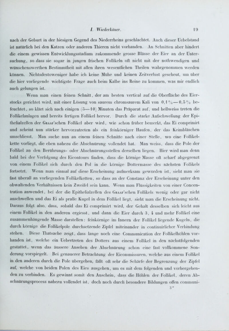 nach der Geburt in der hiesigen Gegend des Niederrheins geschlachtet. Auch dieser Uebelstand ist natürlich bei den Katzen oder anderen Thieren nicht vorhanden. An Schnitten aber hindert die einem gewissen Entwicklungsstadium zukommende grosse Blässe der Eier an der Unter- suchung, so dass sie sogar in jungen frischen Follikeln oft nicht mit der nothwendigen und wünschenswerthen Bestimmtheit mit allen ihren wesentlichen Theilen wahrgenommen werden können. Nichtsdestoweniger habe ich keine Mühe und keinen Zeitverlust gescheut, um über die hier vorliegende wichtigste Frage auch beim Kalbe ins Beine zu kommen, was mir endlich auch gelungen ist. Wenn man einen feinen Schnitt , der am besten vertical auf die Oberfläche des Eier- stocks gerichtet wird, mit einer Lösung von saurem chromsaurem Kali von 0,1 %—0,5% be- feuchtet, so klärt sich nach einigen (5—10) Minuten das Präparat auf, und hellweiss treten die Follikelanlagen und bereits fertigen Follikel hervor. Durch die starke Aufschwellung der Epi- thelialzellen der GiuAr’schen Follikel aber wird, wie schon früher bemerkt, das Ei comprimirt und scheint nun stärker hervorzutreten als ein feinkörniger Haufen, der das Keimbläschen umschliesst. Man suche nun an einem feinen Schnitte nach einer Stelle, wo eine Follikel- kette vorliegt, die eben nahezu die Abschnürung vollendet hat. Man weiss, dass die Pole der Follikel an den Berührungs- oder Abschnürungsstellen derselben liegen. Hier wird man denn bald bei der Verfolgung des Eicontours finden, dass die körnige Masse oft scharf abgegrenzt von einem Follikel sich durch den Pol in die körnige Dottermasse des nächsten Follikels fortsetzt. Wenn man einmal auf diese Erscheinung aufmerksam geworden ist, sieht man sie fast überall an vorliegenden Follikelketten, so dass an der Conslanz der Erscheinung unter den obwaltenden Verhältnissen kein Zweifel sein kann. Wenn man Flüssigkeiten von einer Concen- tration anwendet, bei der die Epithelialzellen des GuAAF’schen Follikels wenig oder gar nicht anschwellen und das Ei als pralle Kugel in dem Follikel liegt, sieht man die Erscheinung nicht. Daraus folgt also, dass, sobald das Ei comprimirt wird, der Gehalt desselben sich leicht aus einem Follikel in den anderen ergiesst, und dann die Eier durch 3, 4 und mehr Follikel eine zusammenhängende Masse darstellen: feinkörnige im Innern der Follikel liegende Kugeln, die durch körnige die Follikelpole durchsetzende Zipfel miteinander in continuirlicher Verbindung stehen. Diese Thatsache zeigt, dass lange noch eine Communication der Follikelhöhlen vor- handen ist, welche ein Uebertreten des Dotters aus einem Follikel in den nächstfolgenden gestattet , wenn das äussere Ansehen der Abschnürung schon eine fast vollkommene Son- derung vorspiegelt. Bei genauerer Betrachtung der Eicommissuren, welche aus einem Follikel in den anderen durch die Pole übergehen, fällt oft sehr die Schärfe der Begrenzung der Zipfel auf, welche von beiden Polen des Eies ausgehen, um es mit dem folgenden und vorhergehen- den zu verbinden. Es gewinnt somit den Anschein, dass die Höhlen der Follikel, deren Ab- schnürungsprocess nahezu vollendet ist, doch noch durch besondere Bildungen ollen communi- 3*