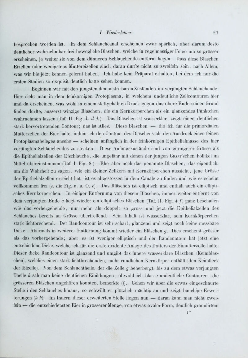 besprochen worden ist. In dem Schlauchcanal erscheinen zwar spärlich, aber darum desto deutlicher wahrnehmbar frei bewegliche Bläschen, welche in regelmässiger Folge um so grösser erscheinen, je weiter sie von dem dünneren Schlauchende entfernt liegen. Dass diese Bläschen Eizellen oder wenigstens Muttereizellen sind, daran dürfte nicht zu zweifeln sein, nach Allem, was wir bis jetzt kennen gelernt haben. Ich habe kein Präparat erhalten, bei dem ich nur die ersten Stadien so exquisit deutlich hätte sehen können. Beginnen wir mit den jüngsten demonstrirbaren Zuständen im verjüngten Schlauchende. Hier sieht man in dem feinkörnigen Protoplasma, in welchem undeutliche Zellcontouren hier und da erscheinen, was wohl in einem stattgehabten Druck gegen das obere Ende seinen Grund finden dürfte, äusserst winzige Bläschen, die ein Kernkörperchen als ein glänzendes Pünktchen wahrnehmen lassen (Taf. II. Fig. 4. d d.). Das Bläschen ist wasserklar, zeigt einen deutlichen stark hervortretenden Contour; das ist Alles. Diese Bläschen — die ich für die primordialen Mutterzellen der Eier halte, indem ich den Contour des Bläschens als den Ausdruck eines feinen Protoplasmabeleges ansehe — scheinen anfänglich in der feinkörnigen Epithelialmasse des hier verjüngten Schlauchendes zu stecken. Diese Anfangszustände sind von geringerer Grösse als die Epithelialzellen der Eischläuche, die ungefähr mit denen der jungen GiuAF’schen Follikel im Mittel übereinstimmen (Taf. I. Fig. 8.). Ehe aber noch das genannte Bläschen, das eigentlich, um die Wahrheit zu sagen, wie ein kleiner Zellkern mit Kernkörperchen aussieht, jene Grösse der Epithelialzellen erreicht hat, ist es abgestossen in dem Canale zu finden und wie es scheint vollkommen frei (s. die Fig. a. a. 0. e). Das Bläschen ist elliptisch und enthält auch ein ellipti- sches Kernkörperchen. In einiger Entfernung von diesem Bläschen, immer weiter entfernt von dem verjüngten Ende a liegt wieder ein elliptisches Bläschen (Taf. II. Fig. 4 f') ganz beschaffen wie das vorhergehende, nur mehr als doppelt so gross und jetzt die Epithelialzellen des Schlauches bereits an Grösse übertreffend. Sein Inhalt ist wasserklar, sein Kernkörperchen stark lichtbrechend. Der Randcontour ist sehr scharf, glänzend und zeigt noch keine messbare Dicke. Abermals in weiterer Entfernung kommt wieder ein Bläschen g. Dies erscheint grösser als das vorhergehende; aber es ist weniger elliptisch und der Randcontour hat jetzt eine entschiedene Dicke, welche ich für die erste evidente Anlage des Dotters der Eimutterzelle halte. Dieser dicke Randcontour ist glänzend und umgibt das innere wasserklare Bläschen (Keimbläs- chen', welches einen stark lichtbrechenden, mehr rundlichen Kernkörper enthält den Keimfleck der Eizelle). Von dem Schlauchtheile, der die Zelle g beherbergt, bis zu dem etwas verjüngten Theile h sah man keine deutlichen Eibildungen, obwohl ich blasse undeutliche Contouren, die grösseren Bläschen angehören konnten, bemerkte (i). Gehen wir über die etwas eingeschnürte Stelle i des Schlauches hinaus, so schwillt er plötzlich mächtig an und zeigt bauchige Erwei- terungen (k k). Im Innern dieser erweiterten Stelle liegen nun — daran kann man nicht zwei- feln — die entschiedensten Eier in grösserer Menge, von etwas ovaler Form, deutlich granulirtem