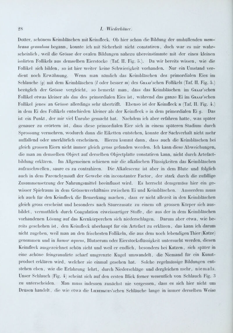 Dotter, schönem Keimbläschen mit Keim fleck. Ob hier schon die Bildung der umhüllenden mem- brana granulosa begann, konnte ich mit Sicherheit nicht constatiren, doch war es mir wahr- scheinlich , weil die Grösse der ovalen Bildungen nahezu übereinstimmte mit der eines kleinen isolirten Follikels aus demselben Eierstocke (Taf. II. Fig. 5.). Da wir bereits wissen, wie die Follikel sich bilden, so ist hier weiter keine Schwierigkeit vorhanden. Nur ein Umstand ver- dient noch Erwähnung. Wenn man nämlich das Keimbläschen des primordialen Eies im Schlauche (g) mit dem Keimbläschen (l oder besser m) des GßAAF’schen Follikels (Taf. II. Fig. 5.) bezüglich der Grösse vergleicht, so bemerkt man, dass das Keimbläschen im GnAAF’schen Follikel etwas kleiner als das des primordialen Eies ist, während das ganze Ei im GiuAF’schen Follikel jenes an Grösse allerdings sehr übertrifft. Ebenso ist der Keimfleck n (Taf. II. Fig. 4.) in dem Ei des Follikels entschieden kleiner als der Keimfleck o in dem primordialen Ei g. Das ist ein Punkt, der mir viel Unruhe gemacht hat. Nachdem ich aber erfahren hatte, was später genauer zu erörtern ist, dass diese primordialen Eier sich in einem späteren Stadium durch Sprossung vermehren, wodurch dann die Eiketten entstehen, konnte der Sachverhalt nicht mehr auffallend oder unerklärlich erscheinen. Hierzu kommt dann, dass auch die Keimbläschen bei gleich grossen Eiern nicht immer gleich gross gefunden werden. Ich kann diese Abweichungen, die man an demselben Object auf derselben Objectplatte constatiren kann, nicht durch Artefact- bildung erklären. Im Allgemeinen schienen mir die alkalischen Flüssigkeiten das Keimbläschen aufzuschwellen, saure es zu contrahiren. Die Alkalescenz ist aber in dem Blute und folglich auch in dem Parenchymsaft der Gewebe ein inconstanter Factor, der stark durch die zufällige Zusammensetzung der Nahrungsmittel beeinflusst wird. Es herrscht demgemäss hier ein ge- wisser Spielraum in dem Grössenverhältniss zwischen Ei und Keimbläschen. Ausserdem muss ich auch für den Keimfleck die Bemerkung machen, dass er nicht allezeit in den Keimbläschen gleich gross erscheint und besonders nach Säurezusatz zu einem oft grossen Körper sich aus- bildet, vermuthlich durch Coagulation eiweissartiger Stoffe, die aus der in dem Keimbläschen vorhandenen Lösung auf das Kernkörperchen sich niederschlagen. Darum aber etwa, wie be- reits geschehen ist, den Keimfleck überhaupt für ein Artefact zu erklären, das kann ich darum nicht zugeben, weil man an den frischesten Follikeln, die aus dem noch lebendigen Thier (Katze) genommen und in hrnnor aqueits, Blutserum oder Eierstocksflüssigkeit untersucht werden, diesen Keimfleck ausgezeichnet schön sieht und weil er endlich, besonders bei Katzen, sich später in eine .schöne feingranulirte scharf umgrenzte Kugel umwandelt, die Niemand für ein Kunst- product erklären wird, welcher sie einmal gesehen hat. Solche regelmässige Bildungen ent- stehen eben, wie die Erfahrung lehrt, durch Niederschläge und dergleichen mehr, niemals. Unser Schlauch (Fig. 4) scheint sich auf den ersten Blick ferner wesentlich von Schlauch Fig. 3 zu unterscheiden. Man muss indessen zunächst nie vergessen, dass es sich hier nicht um Drüsen handelt, die wie etwa die Lieberkinaschen Schläuche lange in immer derselben Weise