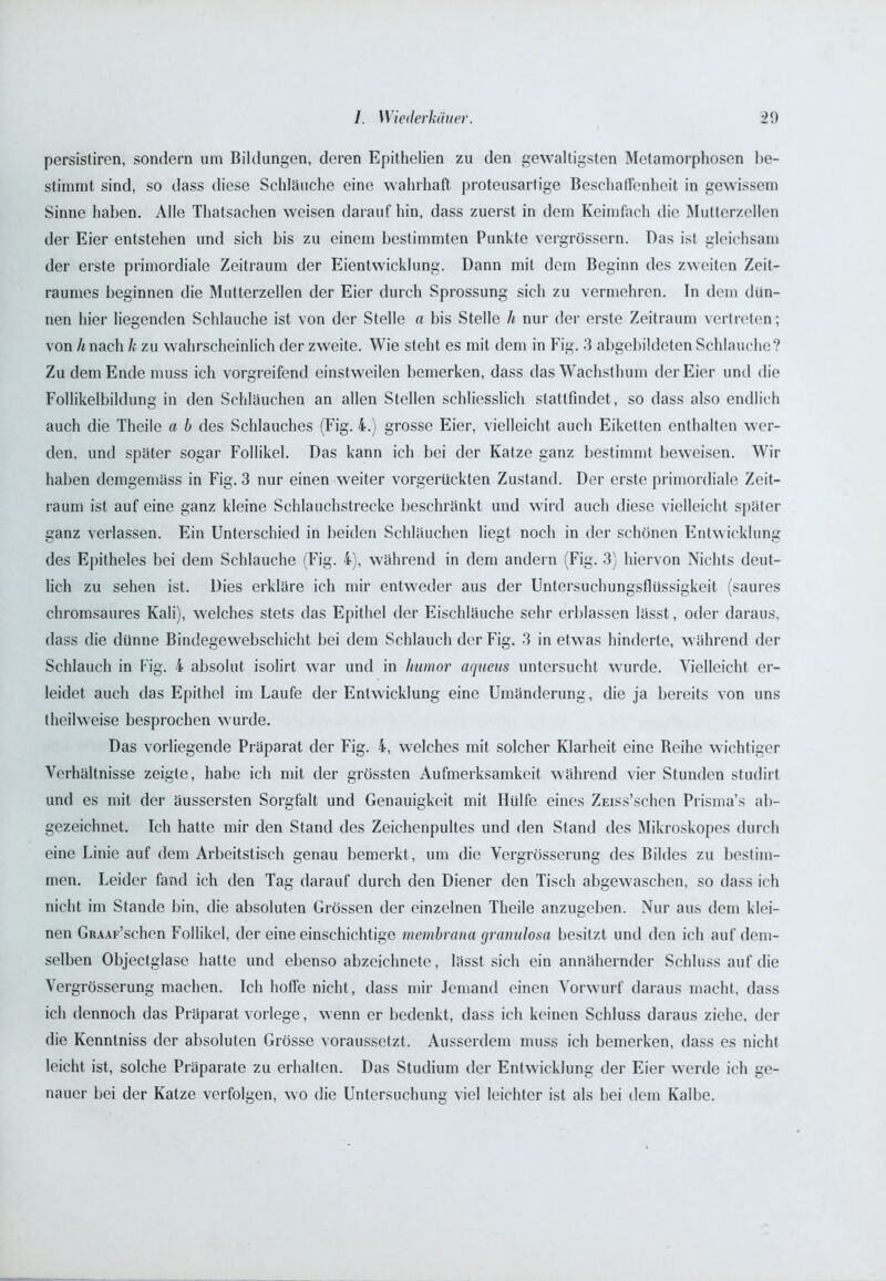 persistiren, sondern um Bildungen, deren Epithelien zu den gewaltigsten Metamorphosen be- stimmt sind, so dass diese Schläuche eine wahrhaft proteusartige Beschairenheit in gewissem Sinne haben. Alle Thatsachen weisen darauf hin, dass zuerst in dem Keimfach die Mutterzellen der Eier entstehen und sich bis zu einem bestimmten Punkte vergrössern. Das ist gleichsam der erste primordiale Zeitraum der Eientwicklung. Dann mit dem Beginn des zweiten Zeit- raumes beginnen die Mutterzellen der Eier durch Sprossung sich zu vermehren. In dem dün- nen hier liegenden Schlauche ist von der Stelle a bis Stelle h nur der erste Zeitraum vertreten; von h nach k zu wahrscheinlich der zweite. Wie steht es mit dem in Fig. 3 abgebildeten Schlauche? Zu dem Ende muss ich vorgreifend einstweilen bemerken, dass das Wachsthum der Eier und die Follikelbildung in den Schläuchen an allen Stellen schliesslich stattfindet, so dass also endlich auch die Theile a b des Schlauches (Fig. 4.) grosse Eier, vielleicht auch Eiketten enthalten wer- den, und später sogar Follikel. Das kann ich bei der Katze ganz bestimmt beweisen. Wir haben demgemäss in Fig. 3 nur einen weiter vorgerückten Zustand. Der erste primordiale Zeit- raum ist auf eine ganz kleine Schlauchstrecke beschränkt und wird auch diese vielleicht später ganz verlassen. Ein Unterschied in beiden Schläuchen liegt noch in der schönen Entwicklung des Epitheles bei dem Schlauche (Fig. 4), während in dem andern (Fig. 3) hiervon Nichts deut- lich zu sehen ist. Dies erkläre ich mir entweder aus der Untersuchungsflüssigkeit (saures chromsaures Kali), welches stets das Epithel der Eischläuche sehr erblassen lässt, oder daraus, dass die dünne Bindegewebschicht bei dem Schlauch der Fig. 3 in etwas hinderte, während der Schlauch in Fig. 4 absolut isolirt war und in Itumor aqueus untersucht wurde. Vielleicht er- leidet auch das Epithel im Laufe der Entwicklung eine Umänderung, die ja bereits von uns theilweise besprochen wurde. Das vorliegende Präparat der Fig. 4, welches mit solcher Klarheit eine Beihe wichtiger Verhältnisse zeigte, habe ich mit der grössten Aufmerksamkeit während vier Stunden studirt und es mit der äussersten Sorgfalt und Genauigkeit mit Hülfe eines Zmss’schen Prisma’s ab- gezeichnet. Ich hatte mir den Stand des Zeichenpultes und den Stand des Mikroskopes durch eine Linie auf dem Arbeitstisch genau bemerkt, um die Vergrösserung des Bildes zu bestim- men. Leider fand ich den Tag darauf durch den Diener den Tisch abgewaschen, so dass ich nicht im Stande bin, die absoluten Grössen der einzelnen Theile anzugeben. Nur aus dem klei- nen GiuAr’schen Follikel, der eine einschichtige membrana granulosa besitzt und den ich auf dem- selben Objectglase hatte und ebenso abzeichnete, lässt sich ein annähernder Schluss auf die Vergrösserung machen. Ich hoffe nicht, dass mir Jemand einen Vorwurf daraus macht, dass ich dennoch das Präparat vorlege, wenn er bedenkt, dass ich keinen Schluss daraus ziehe, der die Kenntniss der absoluten Grösse voraussetzt. Ausserdem muss ich bemerken, dass es nicht leicht ist, solche Präparate zu erhalten. Das Studium der Entwicklung der Eier werde ich ge- nauer bei der Katze verfolgen, wo die Untersuchung viel leichter ist als bei dem Kalbe.