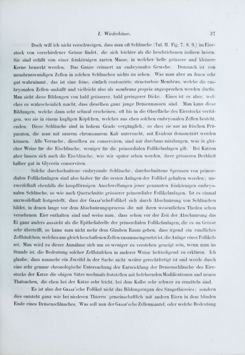 Doch will ich nicht verschweigen, dass man oft Schläuche (Taf. II. Fig. 7. 8. 9,) imEier- stock von verschiedener Grösse findet, die sich leichter als die beschriebenen isoliren lassen. Sie sind erfüllt von einer feinkörnigen zarten Masse, in welcher helle grössere und kleinere Kerne bemerkt werden. Das Ganze erinnert an embryonales Gewebe. Demnach ist von membranwandigen Zellen in solchen Schläuchen nichts zu sehen. Was man aber an ihnen sehr gut wahrnimmt, das ist eine feine, einfach contourirte, structurlose Membran, welche die em- bryonalen Zellen umhüllt und vielleicht also als membram propria angesprochen werden dürfte. Man sieht diese Bildungen von bald grösserer, bald geringerer Dicke. Eines ist es aber, wel- ches es wahrscheinlich macht, dass dieselben ganz junge Drüsenmassen sind. Man kann diese Bildungen, welche dann sehr schmal erscheinen, oft bis in die Oberfläche des Eierstocks verfol- gen, wo sie in einem kugligen Köpfchen, welches aus eben solchen embryonalen Zellen besteht, enden. Diese Schläuche sind in hohem Grade vergänglich, so dass sie nur an frischen Prä- paraten, die man mit saurem chromsaurem Kali untersucht, mit Evidenz demonstrirt werden können. Alle Versuche, dieselben zu conserviren, sind mir durchaus misslungen, was in glei- cher Weise für die Eischläuche, weniger für die primordialen Follikelanlagen gilt. Bei Katzen aber lassen sich auch die Eischläuche, wie wir später sehen werden, ihrer grösseren Derbheit halber gut in Glycerin conserviren. Solche durchschnittene embryonale Schläuche, durchschnittene Sprossen von primor- dialen Follikelanlagen sind also bisher für die ersten Anlagen der Follikel gehalten worden; un- zweifelhaft ebenfalls die knopfförmigen Anschwellungen jener genannten feinkörnigen embryo- nalen Schläuche, so wie auch Querschnitte grösserer primordialer Follikelanlagen. Ist es einmal unzweifelhaft festgestellt, dass der GiuAF’scheFollikel sich durch Abschnürung von Schläuchen bildet, in denen lange vor dem Abschnürungsprocess die mit ihren wesentlichen Theilen schon versehenen Eier enthalten sind und weiss man, dass schon vor der Zeit der Abschnürung das Ei ganz anders aussieht als die Epithelialzelle der primordialen Follikelanlagen, die es an Grösse sehr übertrifft, so kann man nicht mehr dem Glauben Raum geben, dass irgend ein rundliches Zellhäufchen, welches aus gleich beschaffenen Zellen zusammengesetzt ist, die Anlage eines Follikels sei. Man wird zu dieser Annahme sich um so weniger zu verstehen geneigt sein, wenn man im Stande ist, die Bedeutung solcher Zellhäufchen in anderer Weise befriedigend zu erklären. Ich glaube, dass nunmehr ein Zweifel in der Sache nicht weiter gerechtfertigt ist und werde durch eine sehr genaue chronologische Untersuchung der Entwicklung der Drüsenschläuche des Eier- stocks der Katze die obigen Sätze nochmals feststellen mit belehrenden Modifikationen und neuen Thatsachen, die eben bei der Katze sehr leicht, bei dem Kalbe sehr schwer zu ermitteln sind. Es ist also der GRAAF’sche Follikel nicht das Bildungsorgan des Säugethiereies; sondern dies entsteht ganz wie bei niederen Tbieren gemeinschaftlich mit andern Eiern in dem blinden Ende eines Drüsenschlauches. Was soll nun der Gn.AAF’sche Zellenmantel, oder welche Bedeutung