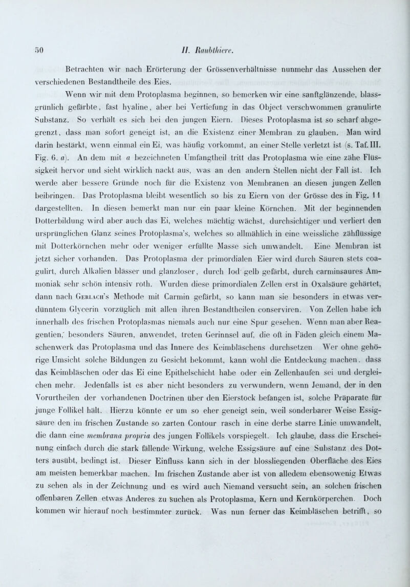 Betrachten wir nach Erörterung der Grössenverhältnisse nunmehr das Aussehen der verschiedenen Bestandteile des Eies. Wenn wir mit dem Protoplasma beginnen, so bemerken wir eine sanftglänzende, blass- griinlich gefärbte, fast hyaline, aber bei Vertiefung in das Object verschwommen granulirte Substanz. So verhält es sich bei den jungen Eiern. Dieses Protoplasma ist so scharf abge- grenzt, dass man sofort geneigt ist, an die Existenz einer Membran zu glauben. Man wird darin bestärkt, wenn einmal ein Ei, was häufig vorkommt, an einer Stelle verletzt ist (s. Taf. III. Fig. 6. o). An dem mit a bezeichnten Umfangtheil tritt das Protoplasma wie eine zähe Flüs- sigkeit hervor und sieht wirklich nackt aus, was an den andern Stellen nicht der Fall ist. Ich werde aber bessere Gründe noch für die Existenz von Membranen an diesen jungen Zellen beibringen. Das Protoplasma bleibt wesentlich so bis zu Eiern von der Grösse des in Fig. 1 1 dargestellten. In diesen bemerkt man nur ein paar kleine Körnchen. Mit der beginnenden Dotterbildung wird aber auch das Ei, welches mächtig wächst, durchsichtiger und verliert den ursprünglichen Glanz seines Protoplasma’s, welches so allmählich in eine weissliche zähflüssige mit Dotterkörnchen mehr oder weniger erfüllte Masse sich umwandelt. Eine Membran ist jetzt sicher vorhanden. Das Protoplasma der primordialen Eier wird durch Säuren stets coa- gulirt, durch Alkalien blässer und glanzloser, durch Iod gelb gefärbt, durch carminsaures Am- moniak sehr schön intensiv roth. Wurden diese primordialen Zellen erst in Oxalsäure gehärtet, dann nach Gerlacii’s Methode mit Carmin gefärbt, so kann man sie besonders in etwas ver- dünntem Glycerin vorzüglich mit allen ihren Bestandtheilen conserviren. Von Zellen habe ich innerhalb des frischen Protoplasmas niemals auch nur eine Spur gesehen. Wenn man aber Bea- gentien,' besonders Säuren, anwendet, treten Gerinnsel auf, die oft in Fäden gleich einem Ma- schenwerk das Protoplasma und das Innere des Keimbläschens durchsetzen Wer ohne gehö- rige Umsicht solche Bildungen zu Gesicht bekommt, kann wohl die Entdeckung machen, dass das Keimbläschen oder das Ei eine Epithelschicht habe oder ein Zellenhaufen sei und derglei- chen mehr. Jedenfalls ist es aber nicht besonders zu verwundern, wenn Jemand, der in den Vorurtheilen der vorhandenen Doctrinen über den Eierstock befangen ist, solche Präparate für junge Follikel hält. Hierzu könnte er um so eher geneigt sein, weil sonderbarer Weise Essig- säure den im frischen Zustande so zarten Contour rasch in eine derbe starre Linie umwandelt, die dann eine mcrnbrana propria des jungen Follikels vorspiegelt. Ich glaube, dass die Erschei- nung einfach durch die stark fallende Wirkung, welche Essigsäure auf eine Substanz des Dot- ters ausübt, bedingt ist. Dieser Einfluss kann sich in der blossliegenden Oberfläche des Eies am meisten bemerkbar machen. Im frischen Zustande aber ist von alledem ebensowenig Etwas zu sehen als in der Zeichnung und es wird auch Niemand versucht sein, an solchen frischen offenbaren Zellen etwas Anderes zu Suchen als Protoplasma, Kern und Kernkörperchen. Doch kommen wir hierauf noch bestimmter zurück. Was nun ferner das Keimbläschen betrifft, so