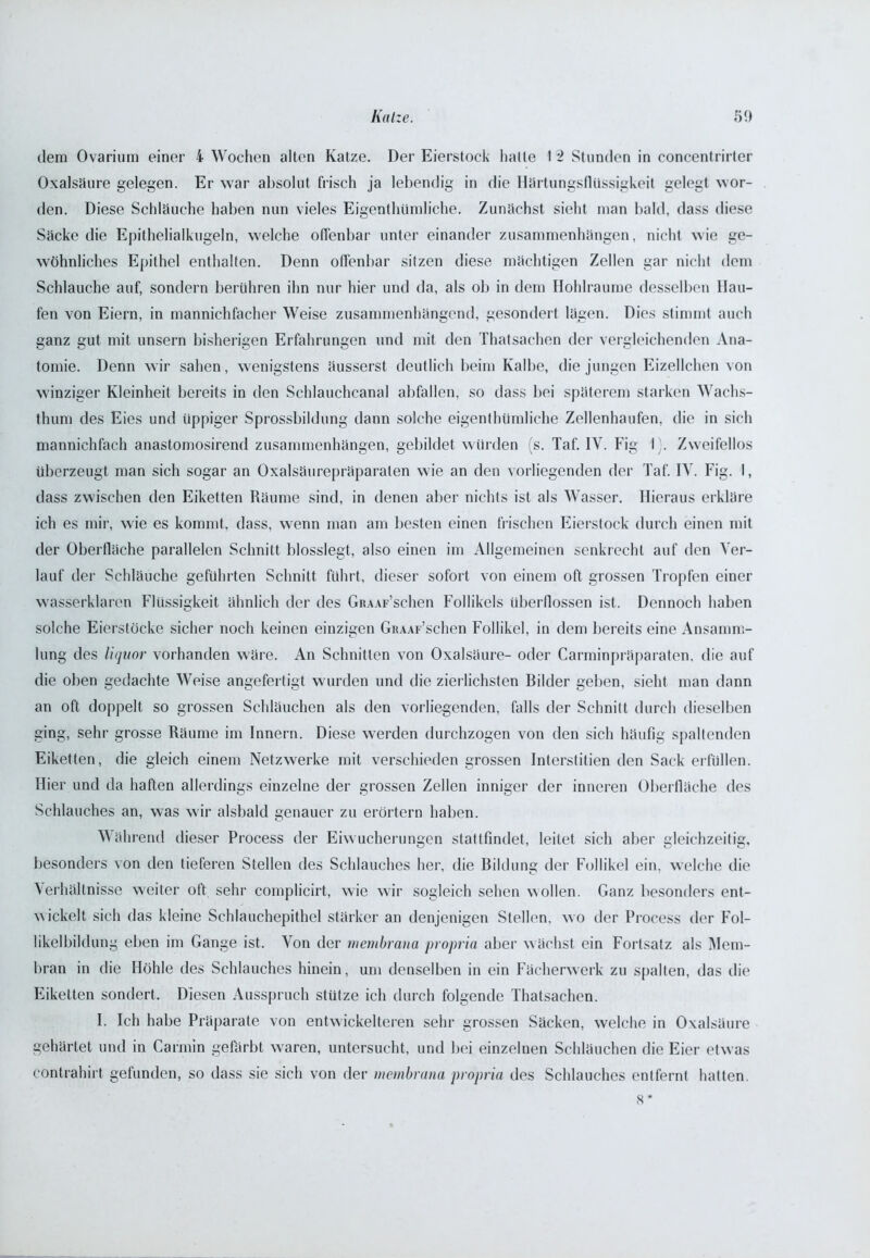 dem Ovarium einer 4 Wochen alten Katze. Der Eierstock halle I 2 Stunden in concentrirter Oxalsäure gelegen. Er war absolut frisch ja lebendig in die Härtungsflüssigkeit gelegt wor- den. Diese Schläuche haben nun vieles Eigenthümliche. Zunächst sieht man bald, dass diese Säcke die Epithelialkugeln, welche offenbar unter einander Zusammenhängen, nicht wie ge- wöhnliches Epithel enthalten. Denn offenbar sitzen diese mächtigen Zellen gar nicht dem Schlauche auf, sondern berühren ihn nur hier und da, als ob in dem Hohlraume desselben Hau- fen von Eiern, in mannichfacher Weise zusammenhängend, gesondert lägen. Dies stimmt auch ganz gut mit unsern bisherigen Erfahrungen und mit den Thatsachen der vergleichenden Ana- tomie. Denn wir sahen, wenigstens äusserst deutlich beim Kalbe, die jungen Eizellchen von winziger Kleinheit bereits in den Schlauchcanal abfallen, so dass bei späterem starken Wachs- thum des Eies und üppiger Sprossbildung dann solche eigentümliche Zellenhaufen, die in sich mannichfach anastomosirend Zusammenhängen, gebildet würden (s. Taf. IV. Fig I). Zweifellos überzeugt man sich sogar an Oxalsäurepräparaten wie an den vorliegenden der Taf. IV. Fig. I, dass zwischen den Eiketten Räume sind, in denen aber nichts ist als Wasser. Hieraus erkläre ich es mir, wie es kommt, dass, wenn man am besten einen frischen Eierstock durch einen mit der Oberfläche parallelen Schnitt blosslegt, also einen im Allgemeinen senkrecht auf den Ver- lauf der Schläuche geführten Schnitt führt, dieser sofort von einem oft grossen Tropfen einer wasserklaren Flüssigkeit ähnlich der des GiuAF’schen Follikels Überflüssen ist. Dennoch haben solche Eierstöcke sicher noch keinen einzigen GiuAF’schen Follikel, in dem bereits eine Ansamm- lung des liquor vorhanden wäre. An Schnitten von Oxalsäure- oder Carminpräparaten, die auf die oben gedachte Weise angefertigt wurden und die zierlichsten Bilder geben, sieht man dann an oft doppelt so grossen Schläuchen als den vorliegenden, falls der Schnitt durch dieselben ging, sehr grosse Räume im Innern. Diese werden durchzogen von den sich häufig spaltenden Eiketten, die gleich einem Netzwerke mit verschieden grossen Interstitien den Sack erfüllen. Hier und da haften allerdings einzelne der grossen Zellen inniger der inneren Oberfläche des Schlauches an, was wir alsbald genauer zu erörtern haben. Während dieser Process der Eiwucherungen stattfindet, leitet sich aber gleichzeitig, besonders von den tieferen Stellen des Schlauches her, die Bildung der Follikel ein. welche die Verhältnisse weiter oft sehr complicirt, wie wir sogleich sehen wollen. Ganz besonders ent- wickelt sich das kleine Schlauchepithel stärker an denjenigen Stellen, wo der Process der Fol- likelbildung eben im Gange ist. Von der membrana propria aber wächst ein Fortsatz als Mem- bran in die Höhle des Schlauches hinein, um denselben in ein Fächerwerk zu spalten, das die Eiketten sondert. Diesen Ausspruch stütze ich durch folgende Thatsachen. I. Ich habe Präparate von entwickelteren sehr grossen Säcken, welche in Oxalsäure gehärtet und in Carmin gefärbt waren, untersucht, und bei einzelnen Schläuchen die Eier etwas contrahirt gefunden, so dass sie sich von der membrana propria des Schlauches entfernt hatten.