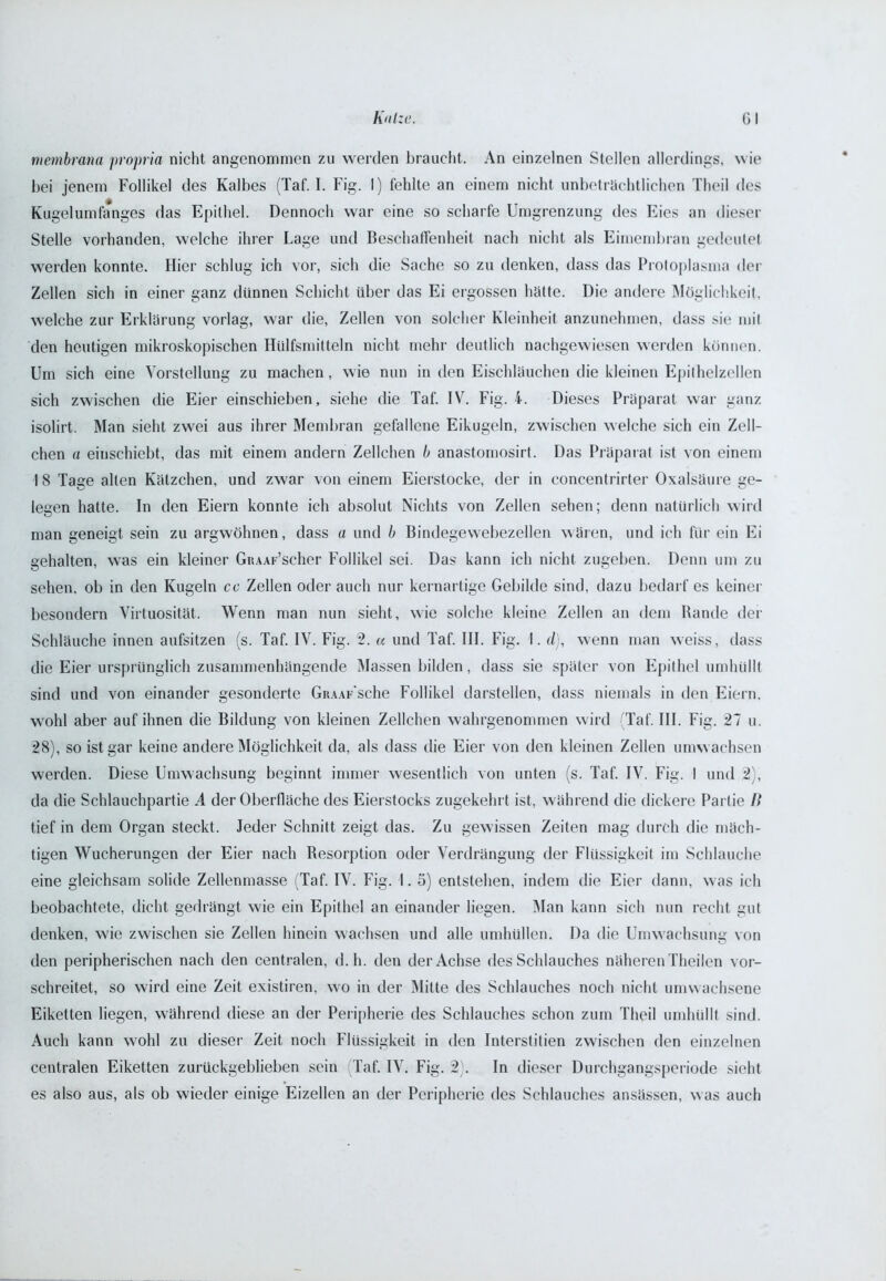 membrana propria nicht angenommen zu werden braucht. An einzelnen Stellen allerdings, wie bei jenem Follikel des Kalbes (Taf. I. Fig. I) fehlte an einem nicht unbeträchtlichen Theil des Kugelumfanges das Epithel. Dennoch war eine so scharfe Umgrenzung des Eies an dieser Stelle vorhanden, welche ihrer Lage und Beschaffenheit nach nicht als Eimembran gedeutet werden konnte. Hier schlug ich vor, sich die Sache so zu denken, dass das Protoplasma der Zellen sich in einer ganz dünnen Schicht über das Ei ergossen hätte. Die andere Möglichkeit, welche zur Erklärung vorlag, war die, Zellen von solcher Kleinheit anzunehmen, dass sie mit den heutigen mikroskopischen Hülfsmitteln nicht mehr deutlich nachgewiesen werden können. Um sich eine Vorstellung zu machen, wie nun in den Eischläuchen die kleinen Epithelzellen sich zwischen die Eier einschieben, siehe die Taf. IV. Fig. 4. Dieses Präparat war ganz isolirt. Man sieht zwei aus ihrer Membran gefallene Eikugeln, zwischen welche sich ein Zell- chen a eiuschiebt, das mit einem andern Zellchen b anastomosirt. Das Präparat ist von einem I 8 Tage allen Kätzchen, und zwar von einem Eierstocke, der in concentrirter Oxalsäure ge- legen hatte. In den Eiern konnte ich absolut Nichts von Zellen sehen; denn natürlich wird man geneigt sein zu argwöhnen, dass a und b Bindegewebezellen wären, und ich für ein Ei gehalten, was ein kleiner GiuAF’scher Follikel sei. Das kann ich nicht zugeben. Denn um zu sehen, ob in den Kugeln cc Zellen oder auch nur kernartige Gebilde sind, dazu bedarf es keiner besondern Virtuosität. Wenn man nun sieht, wie solche kleine Zellen an dem Bande der Schläuche innen aufsitzen (s. Taf. IV. Fig. 2. « und Taf. III. Fig. I. d), wenn man weiss, dass die Eier ursprünglich zusammenhängende Massen bilden, dass sie später von Epithel umhüllt sind und von einander gesonderte GiuAr sche Follikel darstellen, dass niemals in den Eiern, wohl aber auf ihnen die Bildung von kleinen Zellchen wahrgenommen wird (Taf. III. Fig. 27 u. 28), so ist gar keine andere Möglichkeit da, als dass die Eier von den kleinen Zellen umwachsen werden. Diese Umwachsung beginnt immer wesentlich von unten (s. Taf. IV. Fig. I und 2), da die Schlauchpartie A der Oberfläche des Eierstocks zugekehrt ist, während die dickere Partie /> tief in dem Organ steckt. Jeder Schnitt zeigt das. Zu gewissen Zeiten mag durch die mäch- tigen Wucherungen der Eier nach Besorption oder Verdrängung der Flüssigkeit im Schlauche eine gleichsam solide Zellenmasse (Taf. IV. Fig. 1. 5) entstehen, indem die Eier dann, was ich beobachtete, dicht gedrängt wie ein Epithel an einander liegen. Man kann sich min recht gut denken, wie zwischen sie Zellen hinein wachsen und alle umhüllen. Da die Umwachsung von den peripherischen nach den centralen, d.h. den der Achse des Schlauches näheren Theilen vor- schreitet, so wird eine Zeit existiren, wo in der Mitte des Schlauches noch nicht umwachsene Eiketten liegen, während diese an der Peripherie des Schlauches schon zum Theil umhüllt sind. Auch kann wohl zu dieser Zeit noch Flüssigkeit in den Interstitien zwischen den einzelnen centralen Eiketten zurückgeblieben sein (Taf. IV. Fig. 2). In dieser Durchgangsperiode sicht es also aus, als ob wieder einige Eizellen an der Peripherie des Schlauches ansässen, was auch