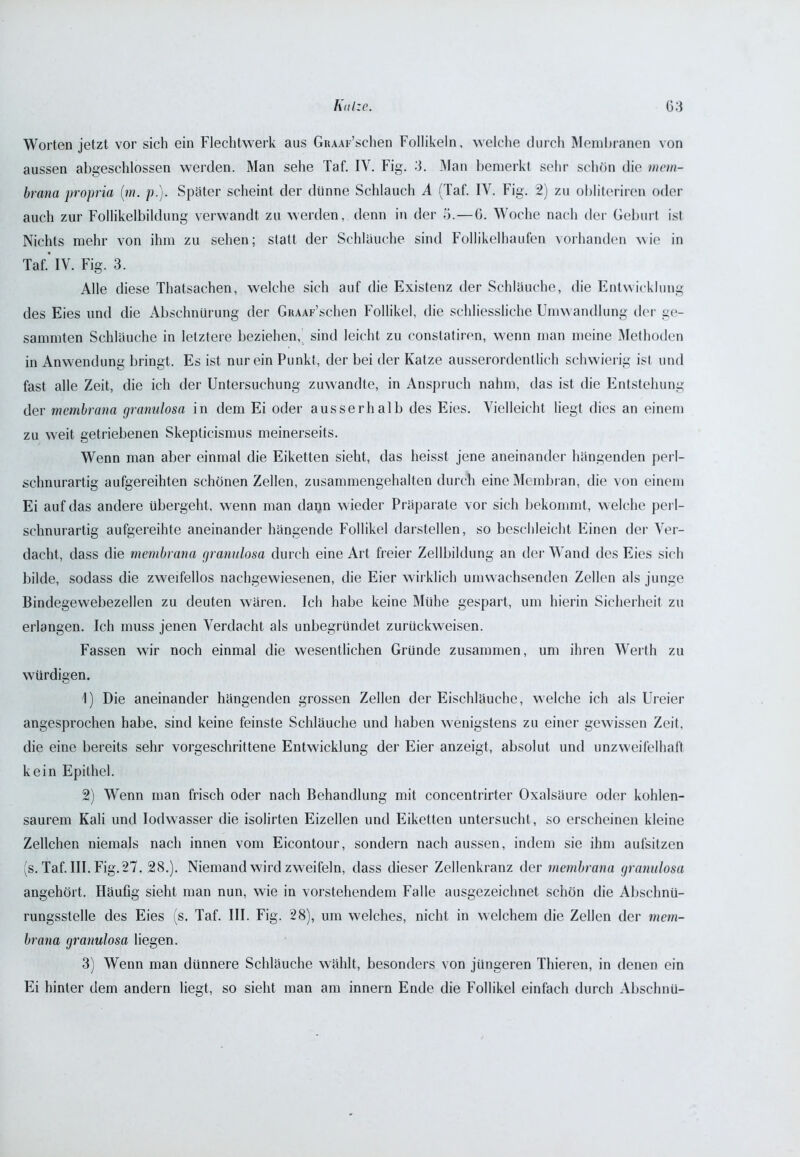 Worten jetzt vor sich ein Flechtwerk aus GiuAr’schen Follikeln, welche durch Membranen von aussen abgeschlossen werden. Man sehe Taf. IV. Fig. 3. Man bemerkt sehr schön die mem- brana propria (in. p.). Später scheint der dünne Schlauch A (Taf. IV. Fig. 2) zu obliteriren oder auch zur Follikelbildung verwandt zu werden, denn in der 5.—6. Woche nach der Geburt ist Nichts mehr von ihm zu sehen; statt der Schläuche sind Follikelhaufen vorhanden wie in Taf. IV. Fig. 3. Alle diese Thatsachen, welche sich auf die Existenz der Schläuche, die Entwicklung des Eies und die Abschnürung der GiuAF’schen Follikel, die schliessliche Umwandlung der ge- sammten Schläuche in letztere beziehen, sind leicht zu constatiren, wenn man meine Methoden in Anwendung bringt. Es ist nur ein Punkt, der bei der Katze ausserordentlich schwierig ist und fast alle Zeit, die ich der Untersuchung zuwandte, in Anspruch nahm, das ist die Entstehung der mcmbrana granulosa in dem Ei oder ausserhalb des Eies. Vielleicht liegt dies an einem zu weit getriebenen Skepticismus meinerseits. Wenn man aber einmal die Eiketten sieht, das heisst jene aneinander hängenden perl- schnurartig aufgereihten schönen Zellen, zusammengehalten durch eine Membran, die von einem Ei auf das andere übergeht, wenn man daijn wieder Präparate vor sich bekommt, welche perl- schnurartig aufgereihte aneinander hängende Follikel darstellen, so beschleicht Einen der Ver- dacht, dass die membrana granulosa durch eine Art freier Zellbildung an der Wand des Eies sich bilde, sodass die zweifellos nachgewiesenen, die Eier wirklich umwachsenden Zellen als junge Bindegewebezellen zu deuten wären. Ich habe keine Mühe gespart, um hierin Sicherheit zu erlangen. Ich muss jenen Verdacht als unbegründet zurückweisen. Fassen wir noch einmal die wesentlichen Gründe zusammen, um ihren Werth zu würdigen. 1) Die aneinander hängenden grossen Zellen der Eischläuche, welche ich als Ureier angesprochen habe, sind keine feinste Schläuche und haben wenigstens zu einer gewissen Zeit, die eine bereits sehr vorgeschrittene Entwicklung der Eier anzeigt, absolut und unzweifelhaft kein Epithel. 2) Wenn man frisch oder nach Behandlung mit concentrirter Oxalsäure oder kohlen- saurem Kali und lodwasser die isolirten Eizellen und Eiketten untersucht, so erscheinen kleine Zellchen niemals nach innen vom Eicontour, sondern nach aussen, indem sie ihm aufsitzen (s. Taf. III. Fig.27. 28.). Niemand wird zweifeln, dass dieser Zellenkranz der membrana granulosa angehört. Häufig sieht man nun, wie in vorstehendem Falle ausgezeichnet schön die Abschnü- rungsstelle des Eies (s. Taf. III. Fig. 28), um welches, nicht in welchem die Zellen der mem- brana granulosa liegen. 3) Wenn man dünnere Schläuche wählt, besonders von jüngeren Thieren, in denen ein Ei hinter dem andern liegt, so sieht man am innern Ende die Follikel einfach durch Abschnü-