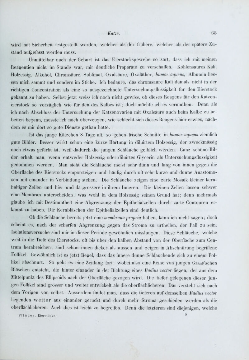 wird mit Sicherheit festgestellt werden, welcher als der frühere, welcher als der spätere Zu- stand aufgefasst werden muss. Unmittelbar nach der Geburt ist das Eierstocksgewebe so zart, dass ich mit meinen Reagentien nicht im Stande war, mir deutliche Präparate zu verschaffen. Kohlensaures Kali, Holzessig, Alkohol, Chromsäure, Sublimat, Oxalsäure, Oxaläther, hwnor aqueus, Albumin Hes- sen mich sammt und sonders im Stiche. Ich bedaure, das chromsaure Kali damals nicht in der richtigen Concentration als eine so ausgezeichnete Untersuchungsflüssigkeit für den Eierstock gekannt zu haben. Selbst jetzt w’eiss ich noch nicht gew iss, ob dieses Reagens für den Katzen- eierstock so vorzüglich wie für den des Kalbes ist; doch möchte ich es vermuthen. Denn als ich nach Abschluss der Untersuchung der Katzenovarien mit Oxalsäure auch beim Kalbe zu ar- beiten begann, musste ich mich überzeugen, wie schlecht sich dieses Reagens hier erwies, nach- dem es mir dort so gute Dienste gethan hatte. Ist das junge Kätzchen 8 Tage alt, so geben frische Schnitte in hwnor aqueus ziemlich gute Bilder. Besser wirkt schon eine kurze Härtung in diluirtem Holzessig, der zweckmässig noch etwas gefärbt ist, weil dadurch die jungen Schläuche gelblich werden. Ganz schöne Bil- der erhält man, wenn entweder Holzessig oder diluirtes Glycerin als Untersuchungsflüssigkeit genommen werden. Man sieht die Schläuche meist sehr dünn und lang von innen gegen die Oberfläche des Eierstocks emporsteigen und häufig durch oft sehr kurze und dünne Anastomo- sen mit einander in Verbindung stehen. Die Schläuche zeigen eine zarte Mosaik kleiner kern- haltiger Zellen und hier und da grössere in ihrem Inneren. Die kleinen Zellen lassen schwer eine Membran unterscheiden, was wrohl in dem Holzessig seinen Grund hat; denn mehrmals glaube ich mit Bestimmtheit eine Abgrenzung der Epithelialzellen durch zarte Contouren er- kannt zu haben. Die Kernbläschen der Epithelialzellen sind deutlich. Ob die Schläuche bereits jetzt eine membranapropria haben, kann ich nicht sagen; doch scheint es, nach der scharfen Abgrenzung gegen das Stroma zu urtheilen, der Fall zu sein. Isolationsversuche sind mir in dieser Periode gewöhnlich misslungen. Diese Schläuche, welche weit in die Tiefe des Eierstocks, oft bis über den halben Abstand von der Oberfläche zum Cen- trum herabreichen, sind schon innen dicker als aussen und zeigen in Abschnürung begriffene Follikel. Gewöhnlich ist es jetzt Regel, dass das innere dünne Schlauchende sich zu einem Fol- likel abschnürt. So geht es eine Zeitlang fort, wobei also eine Reihe von jungen GiuAF’schen Bläschen entsteht, die hinter einander in der Richtung eines Radius vcctor liegen, der aus dem Mittelpunkt des Ellipsoids nach der Oberfläche gezogen wird. Die tiefer gelegenen dieser jun- gen Follikel sind grösser und weiter entw ickelt als die oberflächlicheren. Das versteht sich nach dem \ origen von selbst. Ausserdem findet man, dass die tieferen auf demselben Radius vcctor liegenden weiter aus einander gerückt und durch mehr Stroma geschieden werden als die oberflächlicheren. Auch dies ist leicht zu begreifen. Denn die letzteren sind diejenigen, welche Pflüger, Eierstöcke. 9