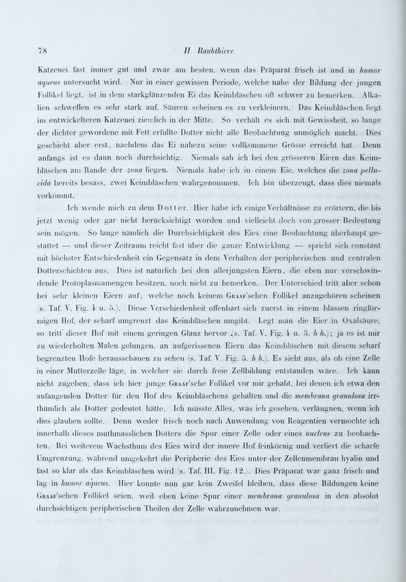 Katzenei fast immer gut und zwar am beslen, wenn das Präparat frisch ist und in Inimor aqueus untersucht wird. Nur in einer gewissen Periode, welche nahe der Bildung der jungen Follikel liegt, ist in dem starkglänzenden Ei das Keimbläschen oft schwer zu bemerken. Alka- lien schwellen es sehr stark auf, Säuren scheinen es zu verkleinern. Das Keimbläschen liegt im entwickelteren Katzenei ziemlich in der Milte. So verhält es sich mit Gewissheit, so lange der dichter gewordene mit Fett erfüllte Dotter nicht alle Beobachtung unmöglich macht. Dies geschieht aber erst, nachdem das Ei nahezu seine vollkommene Grösse erreicht hat. Denn anfangs ist es dann noch durchsichtig. Niemals sah ich bei den grösseren Eiern das Keim- bläschen am Rande der znua liegen. Niemals habe ich in einem Eie, welches die zoua pellu- cida bereits besass, zwei Keimbläschen wahrgenommen. Ich bin überzeugt, dass dies niemals vorkommt. Ich wende mich zu dem Dot ter. Hier habe ich einige Verhältnisse zu erörtern, die bis jetzt wenig oder gar nicht berücksichtigt worden und vielleicht doch von grosser Bedeutung sein mögen. So lange nämlich die Durchsichtigkeit des Eies eine Beobachtung überhaupt ge- stattet — und dieser Zeitraum reicht fast über die ganze Entwicklung — spricht sich constant mit höchster Entschiedenheit ein Gegensatz in dem Verhalten der peripherischen und centralen Dotterschichten aus. Dies ist natürlich bei den allerjüngsten Eiern, die eben nur verschwin- dende Protoplasmamengen besitzen, noch nicht zu bemerken. Der Unterschied tritt aber schon bei sehr kleinen Eiern auf, welche noch keinem GnAAF’schen Follikel anzugehören scheinen s. Taf. V. Fig. 4 u. 5.). Diese Verschiedenheit offenbart sich zuerst in einem blassen ringför- migen Hof, der scharf umgrenzt das Keimbläschen umgibt. Legt man die Eier in Oxalsäure, so tritt dieser Hof mit einem geringen Glanz hervor /s. Taf. V. Fig. 4 u. 5. h h.); ja es ist mir zu wiederholten Malen gelungen, an aufgerissenen Eiern das Keimbläschen mit diesem scharf begrenzten Hofe herausschauen zu sehen (s. Taf. V. Fig. 5. h //.). Es sieht aus, als ob eine Zelle in einer Mutterzelle läge, in welcher sie durch freie Zellbildung entstanden wäre. Ich kann nicht zugeben, dass ich hier junge GiuAF’sche Follikel vor mir gehabt, bei denen ich etwa den anfangenden Dotter für den Hof des Keimbläschens gehalten und die membrana granulosa irr- thümlich als Dotter gedeutet hätte. Ich müsste Alles, was ich gesehen, verläugnen, wenn ich dies glauben sollte. Denn weder frisch noch nach Anwendung von Reagentien vermochte ich innerhalb dieses muthmasslichen Dotters die Spur einer Zelle oder eines nucleas zu beobach- ten. Bei weiterem Wachsthum des Eies wird der innere Hof feinkörnig und verliert die scharfe Umgrenzung, während umgekehrt die Peripherie des Eies unter der Zellenmembran hyalin und fast so klar als das Keimbläschen wird (s. Taf. III. Fig. 12.). Dies Präparat war ganz frisch und lag in Inimor aqueus. Hier konnte nun gar kein Zwreifel bleiben, dass diese Bildungen keine GnAAF’schen Follikel seien, weil eben keine Spur einer membrana granulosa in den absolut durchsichtigen peripherischen Theilen der Zelle wahrzunehmen war.