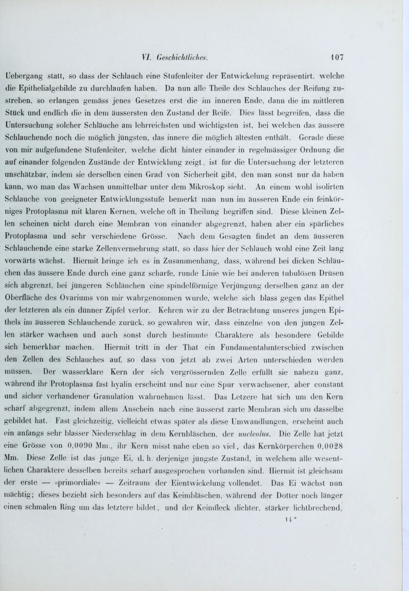 Uebergang statt, so dass der Schlauch eine Stufenleiter der Entwickelung repräsentirt. welche die Epithelialgebilde zu durchlaufen haben. Da nun alle Theile des Schlauches der Reifung zu- slreben, so erlangen gemäss jenes Gesetzes erst die im inneren Ende, dann die im mittleren Stück und endlich die in dem äussersten den Zustand der Reife. Dies lässt begreifen, dass die Untersuchung solcher Schläuche am lehrreichsten und wichtigsten ist, bei welchen das äussere Schlauchende noch die möglich jüngsten, das innere die möglich ältesten enthält. Gerade diese von mir aufgefundene Stufenleiter, welche dicht hinter einander in regelmässiger Ordnung die auf einander folgenden Zustände der Entwicklung zeigt, ist für die Untersuchung der letzteren unschätzbar, indem sie derselben einen Grad von Sicherheit gibt, den man sonst nur da haben kann, wo man das Wachsen unmittelbar unter dem Mikroskop sieht. An einem wohl isolirten Schlauche von geeigneter Entwicklungsstufe bemerkt man nun im äusseren Ende ein feinkör- niges Protoplasma mit klaren Kernen, welche oft in Theilung begriffen sind. Diese kleinen Zel- len scheinen nicht durch eine Membran von einander abgegrenzt, haben aber ein spärliches Protoplasma und sehr verschiedene Grösse. Nach dem Gesagten findet an dem äusseren Schlauchende eine starke Zellenvermehrung statt, so dass hier der Schlauch wohl eine Zeit lang vorwärts wächst. Hiermit bringe ich es in Zusammenhang, dass, während bei dicken Schläu- chen das äussere Ende durch eine ganz scharfe, runde Linie wie bei anderen tubulösen Drüsen sich abgrenzt, bei jüngeren Schläuchen eine spindelförmige Verjüngung derselben ganz an der Oberfläche des Ovariums von mir wahrgenommen wurde, welche sich blass gegen das Epithel der letzteren als ein dünner Zipfel verlor. Kehren wir zu der Betrachtung unseres jungen Epi- thels im äusseren Schlauchende zurück, so gewahren wir, dass einzelne von den jungen Zel- len stärker wachsen und auch sonst durch bestimmte Charaktere als besondere Gebilde sich bemerkbar machen. Hiermit tritt in der That ein Fundamental unterschied zwischen den Zellen des Schlauches auf, so dass von jetzt ab zwei Arten unterschieden werden müssen. Der wasserklare Kern der sich vergrössernden Zelle erfüllt sie nahezu ganz, während ihr Protoplasma fast hyalin erscheint und nur eine Spur verwachsener, aber constant und sicher verhandener Granulation wahrnehmen lässt. Das Letzere hat sich um den Kern scharf abgegrenzt, indem allem Anschein nach eine äusserst zarte Membran sich um dasselbe gebildet hat. Fast gleichzeitig, vielleicht etwas später als diese Umwandlungen, erscheint auch ein anfangs sehr blasser Niederschlag in dem Kernbläschen, der nucleolus. Die Zelle hat jetzt eine Grösse von 0,0090 Mm., ihr Kern misst nahe eben so viel, das Kernkörperchen 0,0028 Mm. Diese Zelle ist das junge Ei, d. h. derjenige jüngste Zustand, in welchem alle wesent- lichen Charaktere desselben bereits scharf ausgesprochen vorhanden sind. Hiermit ist gleichsam der erste — »primordiale« — Zeitraum der Eientwickelung vollendet. Das Ei wächst nun mächtig; dieses bezieht sich besonders auf das Keimbläschen, während der Dotter noch länger einen schmalen Ring um das letztere bildet, und der Keimfleck dichter, stärker lichtbrechend,