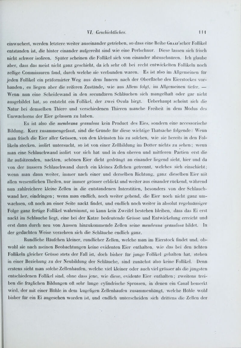 einwuchert, werden letztere weiter auseinander getrieben, so dass eine Reihe GRAAF’scher Follikel entstanden ist, die hinter einander aufgereiht sind wie eine Perlschnur. Diese lassen sich frisch nicht schwer isoliren. Später scheinen die Follikel sich von einander abzuschnüren. Ich glaube aber, dass das meist nicht ganz geschieht, da ich sehr oft bei recht entwickelten Follikeln noch zellige Commissuren fand, durch welche sie verbunden waren. Es ist also im Allgemeinen für jeden Follikel ein präformirter Weg aus dem Innern nach der Oberfläche des Eierslockes vor- handen, es liegen aber die reiferen Zustände, wie aus Allem folgt, im Allgemeinen tiefer. — Wenn nun eine Scheidewand in den secundären Schläuchen sich mangelhaft oder gar nicht ausgebildet hat, so entsteht ein Follikel, der zwei Ovula birgt. Ueberhaupt scheint sich die Natur bei demselben Thiere und verschiedenen Thieren manche Freiheit in dem Modus des Umwachsens der Eier gelassen zu haben. Es ist also die membrana granulosa kein Product des Eies, sondern eine accessorische Bildung. Kurz zusammengefasst, sind die Gründe für diese wichtige Thatsache folgende: Wenn man frisch die Eier aller Grössen, von den kleinsten bis zu solchen, wie sie bereits in den Fol- likeln stecken, isolirt untersucht, so ist von einer Zellbildung im Dotter nichts zu sehen; wenn man eine Schlauchwand isolirt vor sich hat und in den oberen und mittleren Partien erst die ihr aufsitzenden, nackten, schönen Eier dicht gedrängt an einander liegend sieht, hier und da von der äussern Schlauchwand durch ein kleines Zellchen getrennt, welches sich einschiebt; wenn man dann weiter, immer nach einer und derselben Richtung, ganz dieselben Eier mit allen wesentlichen Theilen, nur immer grösser erblickt und weiter aus einander rückend, während nun zahlreichere kleine Zellen in die entstandenen Interstitien, besonders von der Schlauch- wand her, eindringen; wenn man endlich, noch weiter gehend, die Eier noch nicht ganz um- wachsen, oft noch an einer Seite nackt findet, und endlich noch weiter in absolut regelmässiger Folge ganz fertige Follikel wahrnimmt, so kann kein Zweifel bestehen bleiben, dass das Ei erst nackt im Schlauche liegt, eine bei der Katze bedeutende Grösse und Entwickelung erreicht und erst dann durch neu von Aussen hinzukommende Zellen seine membrana granulosa bildet. In der gedachten Weise verzehren sich die Schläuche endlich ganz. Rundliche Häufchen kleiner, rundlicher Zellen, welche man im Eierstock findet und, ob- wohl sie nach meinen Beobachtungen keine evidenten Eier enthalten, wie das bei den ächten Follikeln gleicher Grösse stets der Fall ist, doch bisher für junge Follikel gehalten hat, stehen in einer Beziehung zu der Neubildung der Schläuche, sind zunächst also keine Follikel. Denn erstens sieht man solche Zellenhaufen, welche viel kleiner oder auch viel grösser als die jüngsten entschiedenen Follikel sind, ohne dass jene, wie diese, evidente Eier enthalten; zweitens trei- ben die fraglichen Bildungen oft sehr lange cylindrische Sprossen, in denen ein Canal bemerkt wird, der mit einer Höhle in dem kugeligen Zellenhaufen zusammenhängt, welche Höhle wohl bisher für ein Ei angesehen worden ist, und endlich unterscheiden sich drittens die Zellen der