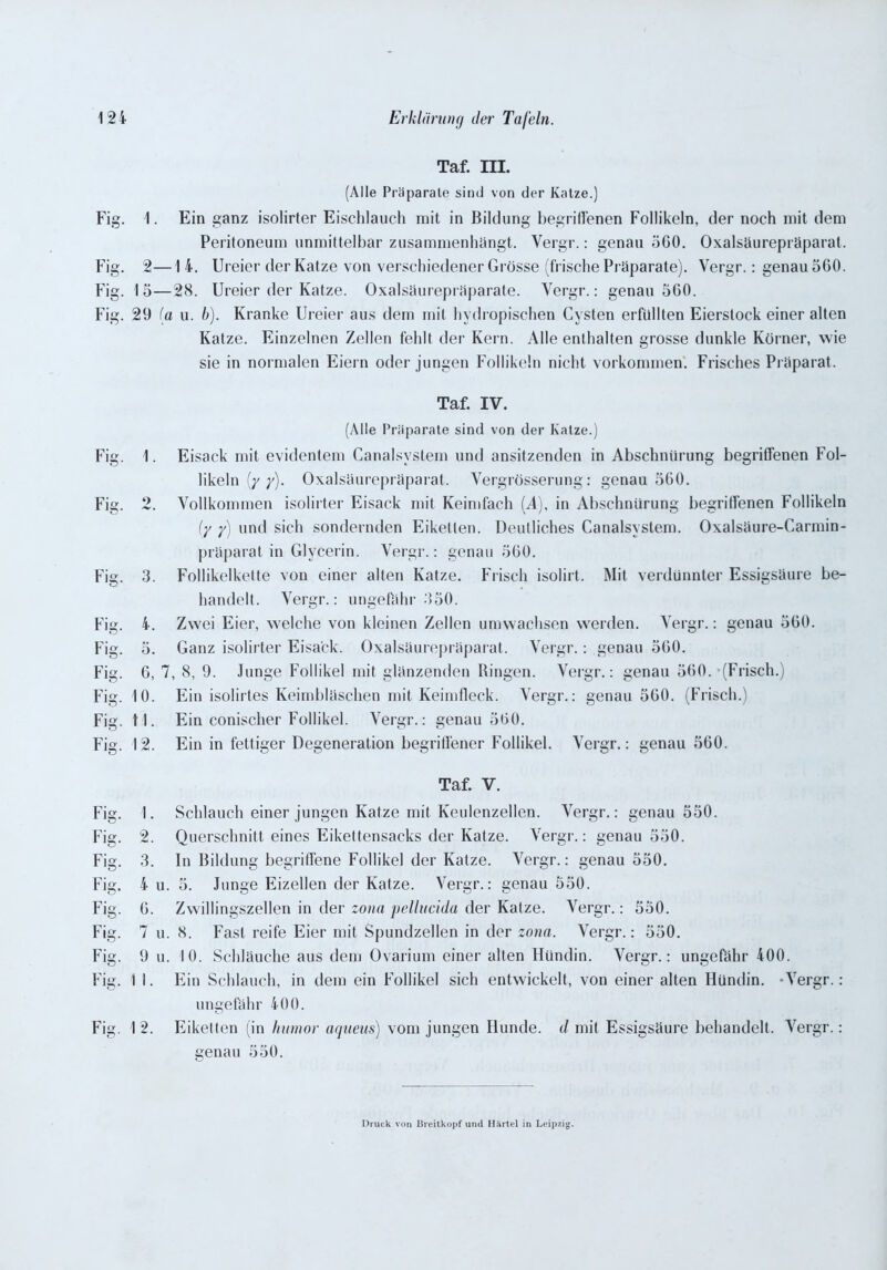 Taf. III. (Alle Präparate sind von der Katze.) Fig. 1. Ein ganz isolirter Eischlauch mit in Bildung begriffenen Follikeln, der noch mit dem Peritoneum unmittelbar zusammenhängt. Vergr.: genau 560. Oxalsäurepräparat. Fig. 2—14. Ureier der Katze von verschiedener Grösse (frische Präparate). Vergr.: genau560. Fig. 15—28. Ureier der Katze. Oxalsäurepräparate. Vergr.: genau 560. Fig. 29 (a u. b). Kranke Ureier aus dem mit hydropischen Cysten erfüllten Eierstock einer alten Katze. Einzelnen Zellen fehlt der Kern. Alle enthalten grosse dunkle Körner, wie sie in normalen Eiern oder jungen Follikeln nicht Vorkommen. Frisches Präparat. Taf. IV. (Alle Präparate sind von der Katze.) Fig. 1. Eisack mit evidentem Canalsystem und ansitzenden in Abschnürung begriffenen Fol- likeln (y y). Oxalsäurepräparat. Vergrösserung: genau 560. Fig. 2. Vollkommen isolirter Eisack mit Keimfaeh (A), in Abschnürung begriffenen Follikeln (y y) und sich sondernden Eiketlen. Deutliches Canalsystem. Oxalsäure-Carmin- präparat in Glycerin. Vergr.: genau 560. Fie. 3. Follikelkette von einer alten Katze. Frisch isolirt. Mit verdünnter Essigsäure be- handelt. Vergr.: ungefähr 350. Fig. 4. Zwei Eier, welche von kleinen Zellen umwachsen werden. Vergr.: genau 560. Fig. 5. Ganz isolirter Eisa'ck. Oxalsäurepräparat. Vergr.: genau 560. Fig. 6, 7, 8, 9. Junge Follikel mit glänzenden Ringen. Vergr.: genau 560. (Frisch.) Fig. 10. Ein isolirtes Keimbläschen mit Keimfleck. Vergr.: genau 560. (Frisch.) Fig. tl. Ein conischer Follikel. Vergr.: genau 560. Fig. 12. Ein in fettiger Degeneration begriffener Follikel. Vergr.: genau 560. Taf. V. Fig. 1. Schlauch einer jungen Katze mit Keulenzellen. Vergr.: genau 550. Fig. 2. Querschnitt eines Eikettensacks der Katze. Vergr.: genau 550. Fig. 3. ln Bildung begriffene Follikel der Katze. Vergr.: genau 550. Fig. 4 u. 5. Junge Eizellen der Katze. Vergr.: genau 550. Fig. 6. Zwillingszellen in der zona pellucida der Katze. Vergr.: 550. Fig. 7 u. 8. Fast reife Eier mit Spundzellen in der zona. Vergr.: 550. Fig. 9 u. 10. Schläuche aus dem Ovarium einer alten Hündin. Vergr.: ungefähr 400. Fig. 1 I. Ein Schlauch, in dem ein Follikel sich entwickelt, von einer alten Hündin. -Vergr.: ungefähr 400. Fig. 1 2. Eiketten (in humor aqueus) vom jungen Hunde, d mit Essigsäure behandelt. Vergr.: genau 550. Druck von Breitkopf und Härtel in Leipzig.