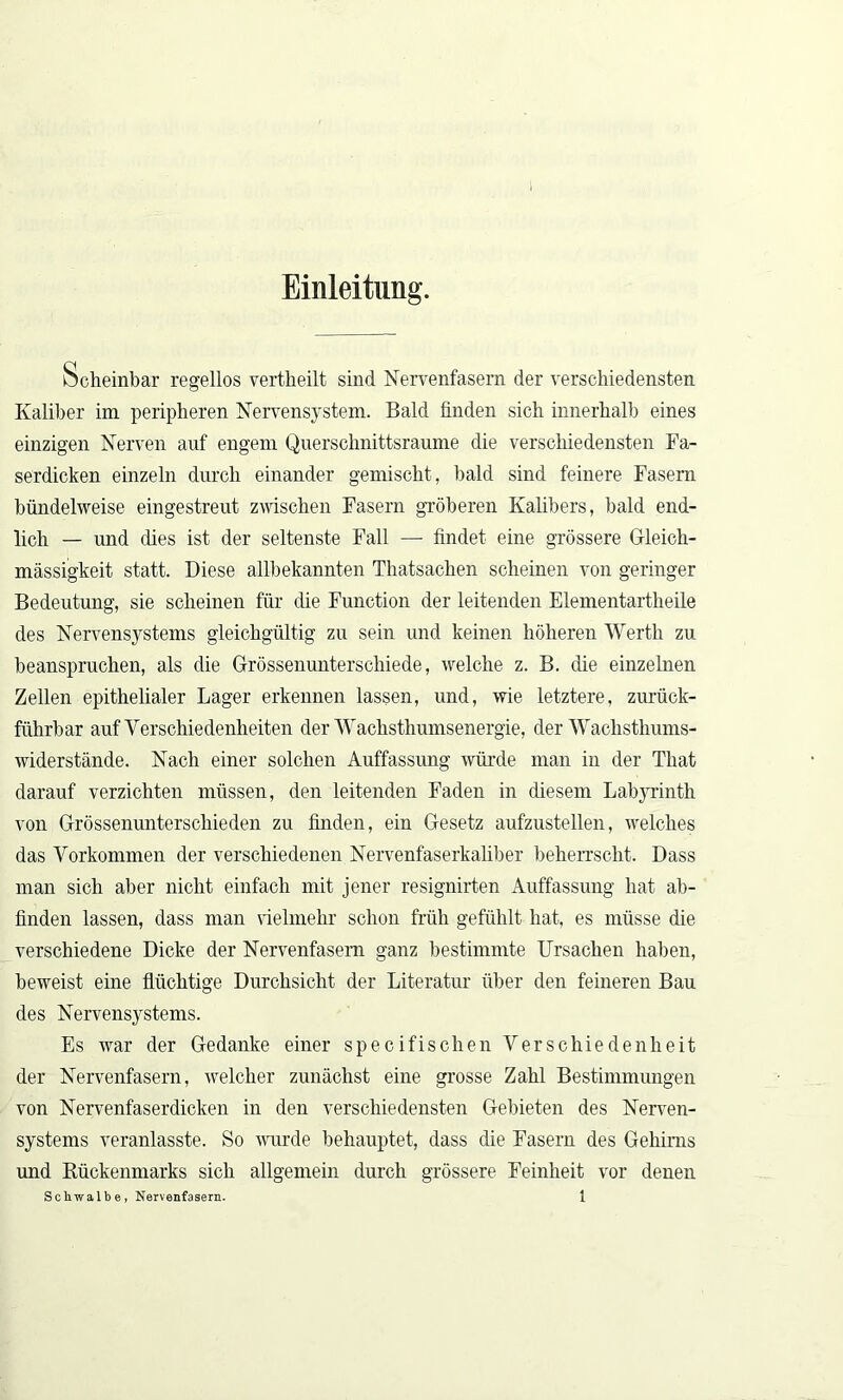 Einleitung. Scheinbar regellos vertheilt sind Nervenfasern der verschiedensten Kaliber im peripheren Nervensystem. Bald finden sich innerhalb eines einzigen Nerven auf engem Querschnittsraume die verschiedensten Fa- serdicken einzeln durch einander gemischt, bald sind feinere Fasern bündelweise eingestreut zwischen Fasern gröberen Kalibers, bald end- lich — und cües ist der seltenste Fall — findet eine grössere Gfleich- mässigkeit statt. Diese allbekannten Thatsachen scheinen von geringer Bedeutung, sie scheinen für die Function der leitenden Elementartheile des Nervensystems gleichgültig zu sein und keinen höheren Werth zu beanspruchen, als die Grössenunterschiede, welche z. B. die einzelnen Zellen epithelialer Lager erkennen lassen, und, wie letztere, zurück- führbar auf Verschiedenheiten der Waclisthumsenergie, der Waclisthums- widerstände. Nach einer solchen Auffassung würde man in der That darauf verzichten müssen, den leitenden Faden in diesem Labyrinth von Grössenunterschieden zu finden, ein Gesetz aufzustellen, welches das Vorkommen der verschiedenen Nervenfaserkaliber beherrscht. Dass man sich aber nicht einfach mit jener resignirten Auffassung hat ab- finden lassen, dass man vielmehr schon früh gefühlt hat, es müsse die verschiedene Dicke der Nervenfasern ganz bestimmte Ursachen haben, beweist eine flüchtige Durchsicht der Literatur über den feineren Bau des Nervensystems. Es war der Gedanke einer specifischen Verschiedenheit der Nervenfasern, welcher zunächst eine grosse Zahl Bestimmungen von Nervenfaserdicken in den verschiedensten Gebieten des Nerven- systems veranlasste. So wurde behauptet, dass die Fasern des Gehirns und Rückenmarks sich allgemein durch grössere Feinheit vor denen