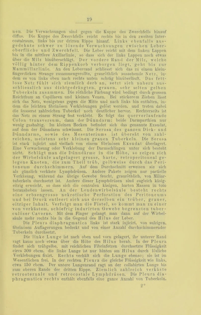 lien. I>ie Verwachsungeu siiul gegeii die Kuppe des Ziverclifells liiiiauf dilTu-s. Die Kuppe de.s ZweiThfells reiclit recdits bi.s iu den zweiten Inter- costalrauni, liuks bi.s zuv dritten Rippe hiuauf. Liuk.s ebenfalls au.s- gedehnte .schwer zn Idsende N'erwaclisuiigeu zwisclieii Leber- oberflacho uiid Z wercli fe 11. Die Leber reiclit init dem iiukeu Lappeii bi,s in die mittlere Axillarliiiie, so dass sich der linke Lappeii noch etwas Tiber die Milz liiuiiberschlagt. Der vordere Rand der Milz, welche vdllig hiiiter dem Rippenkorb verborgen liegt, gelit bis znr Maminillarliiiie. An den Leberraiid scliliesst sicli das zu einem kleiii- fingerdickeu Strange zusainmengerollte, graurotlilicli aussehende Netz, in- dein es voii links oben nach rechfs unten schriig hiniiberlauft. Das fett- lose Netz fiihlt sich ziemlich derb an, setzt sich nahezu aus- schliesslich aus dichtgedriingten, grauen, sehr selten gelben Tnberkeln zusanimeu. Die rothliche Farbung wird bedingt durch grossen Reichthum an (?apillareu mid kleinen Veueii. Bei stiiikerein Ziehen liisst sich das Netz, wenigstens gegen die Mitte uiid nach links hiu entfalten, in- dem die leichten fibriiidsen Verklebuugen geldst werden, and treten dabei die iiusserst zahlreichen Tuberkel noch deutlicher liervor. Rechterseits ist das Netz zu einem Strang test verklebt. Es folgt ilas querverlaufende Colon transversum, dann der DTinndarm; beide Darmparthien nur iveiiig gashaltig. Ini kleinen Becken betindet sich das genanute Exsudat, anf dem der Diinndarm schwimmt. Die Serosa, des ganzen Dick- uiid Diinndarnis, sowie des Mesenteriums ist libersat von zahl- reichen, moistens sehr kleinen grauen Tuberkeln. Die Serosa ist stark iujicirt und vielfach von einem fibriiidsen Exsudat iiberlagert. I'hne Yerwachsung Oder Verklebung der Darmschliiigen unter sich besteht iiicht. Schliigt man die DTinndarme in die Ildhe, so zeigen sich der Wirbelsaule aufgelagert grosse, harte, retroperitoneal ge- 1 ege 11 e Kiioten, die zum Thei 1 triib, ge 1 bweiss durch das Peri- toneum durchschiminern. Auf dem Durchschiiitt erweisen sie sich als ganzlich verkiiste Lymphdriisen. Andere Pakete zeigen nur partielle Yerkasuiig. wahrend das iibrige Gewebe feucht, graurdthlich, von Miliar- tuberkeln durchsetzt ist. Andere dieser Lymphdriisen sind zugleich kiisig- eitrig enveicht, so dass sich die centraleu kasigen, harteii Massen iu toto herausheben lasseii. An der Lendeiiwirbelsaule besteht rechts e i 11 e e r b s e n g r 0 s s e n e k r o t i s c h e Perforation des P e r i t o n e u m s und bei Druck eutleert sich aus derselben ein triiber, grauer, eitriger Inhalt. Verfoigt man die Fistel, so kommt man zu einer von verkiistem, schiefrig indurirten Gewebe begrenzteu tuber- culdser Caverne. Mit dem Finger gelangt man daiiii auf der Wirbel- siiiile mehr rechts bis in die Gegend des llilus der Leber. Die Pleura diaph ragmatica links ist stark injicirt, von sulzigeu. fibriiidsen Auflagerungen bedeckt und von einer Auzahl durchschimmeriider Tuberkeln durch.setzt. Die linke Lunge ist nach oben und voru gelagert, ihr uiiterer Rand ragt kaum noch etwas fiber die lldhe des llilus herab. In der Pleura fiiidet sich trfibgelbe, mit reichlichen Fibrinfetzen durchsetzte Fliissigkeit circa 300 cbcm. die linke Lunge ist nur hinteii am llilus durch Idsliche Verklebuugen fixirt. Rechts verhiilt sich die Lunge ebenso; sie ist ira Wesentlicheu frei. In der rechten Pleura die gleiche Fliissigkeit wie links, ctwa 150 cbcm. f'er untere Lungenrand ragt an der collabirten Lunge bis zum obereu Rande der dritten Rippe. Ziemlich zahlreich verkiiste retrosternal e und ret roc os tale Lymphdriisen. Die Pleura dia- phragmatica rechts enthiilt ebenfalls eine ganze Anzahl von Tuberkeln.