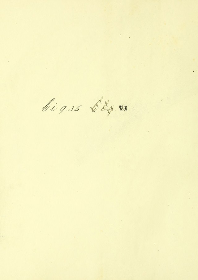 digitised image 2