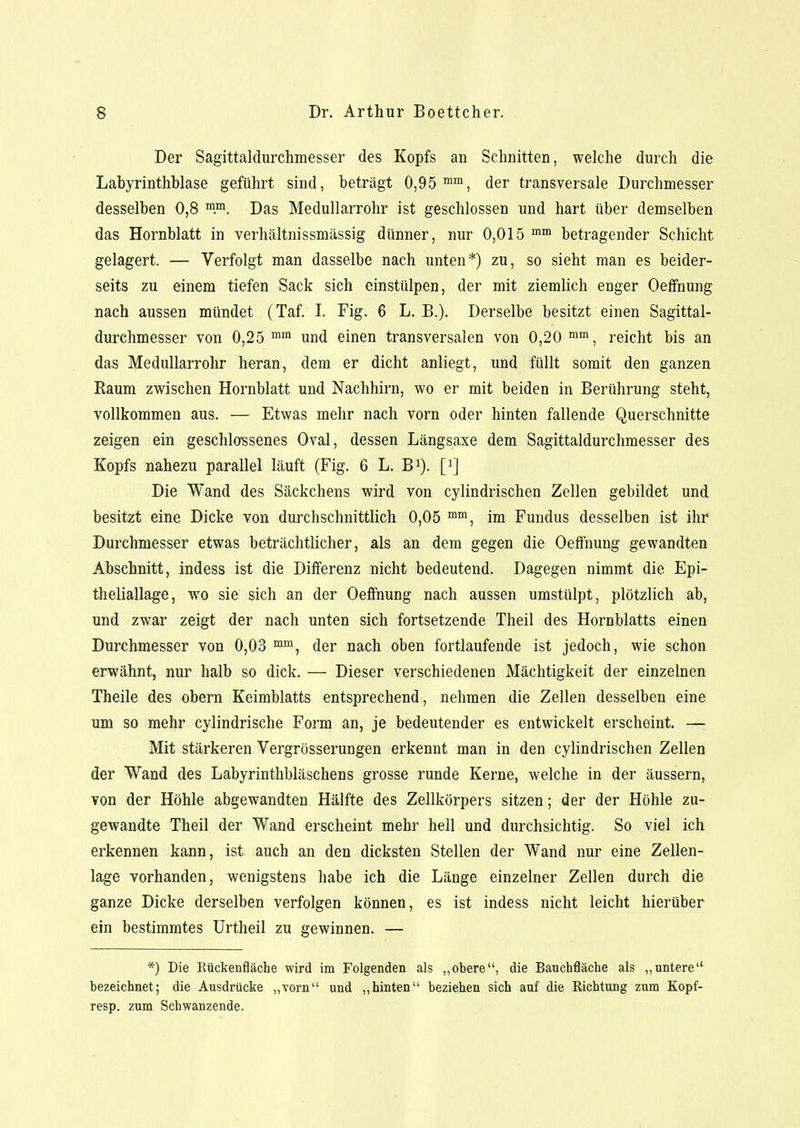Der Sagittaldurchmesser des Kopfs an Schnitten, welche durch die Labyrinthblase geführt sind, beträgt 0,95 mm, der transversale Durchmesser desselben 0,8 m.m. Das Medullarrohr ist geschlossen und hart über demselben das Hornblatt in verhältnissmässig dünner, nur 0,015 mm betragender Schicht gelagert. — Verfolgt man dasselbe nach unten*) zu, so sieht man es beider- seits zu einem tiefen Sack sich einstülpen, der mit ziemlich enger Oeffnung nach aussen mündet (Taf. I. Fig. 6 L. B.). Derselbe besitzt einen Sagittal- durchmesser von 0,25 mm und einen transversalen von 0,20 mm, reicht bis an das Medullarrohr heran, dem er dicht anliegt, und füllt somit den ganzen Raum zwischen Hornblatt und Nachhirn, wo er mit beiden in Berührung steht, vollkommen aus. — Etwas mehr nach vorn oder hinten fallende Querschnitte zeigen ein geschlossenes Oval, dessen Längsaxe dem Sagittaldurchmesser des Kopfs nahezu parallel läuft (Fig. 6 L. B1). p] Die Wand des Säckchens wird von cylindrischen Zellen gebildet und besitzt eine Dicke von durchschnittlich 0,05 mm, im Fundus desselben ist ihr Durchmesser etwas beträchtlicher, als an dem gegen die Oeffnung gewandten Abschnitt, indess ist die Differenz nicht bedeutend. Dagegen nimmt die Epi- theliallage, wo sie sich an der Oeffnung nach aussen umstülpt, plötzlich ab, und zwar zeigt der nach unten sich fortsetzende Theil des Hornblatts einen Durchmesser von 0,03 mm, der nach oben fortlaufende ist jedoch, wie schon erwähnt, nur halb so dick. — Dieser verschiedenen Mächtigkeit der einzelnen Theile des obern Keimblatts entsprechend, nehmen die Zellen desselben eine um so mehr cylindrische Form an, je bedeutender es entwickelt erscheint. — Mit stärkeren Vergrösserungen erkennt man in den cylindrischen Zellen der Wand des Labyrinthbläschens grosse runde Kerne, welche in der äussern, von der Höhle abgewandten Hälfte des Zellkörpers sitzen; der der Höhle zu- gewandte Theil der Wand erscheint mehr hell und durchsichtig. So viel ich erkennen kann, ist auch an den dicksten Stellen der Wand nur eine Zellen- lage vorhanden, wenigstens habe ich die Länge einzelner Zellen durch die ganze Dicke derselben verfolgen können, es ist indess nicht leicht hierüber ein bestimmtes Urtheil zu gewinnen. — *) Die Kückenfläche wird im Folgenden als „obere, die Bauchfläche als „untere bezeichnet; die Ausdrücke „vorn und „hinten beziehen sich auf die Richtung zum Kopf- resp. zum Schwanzende.