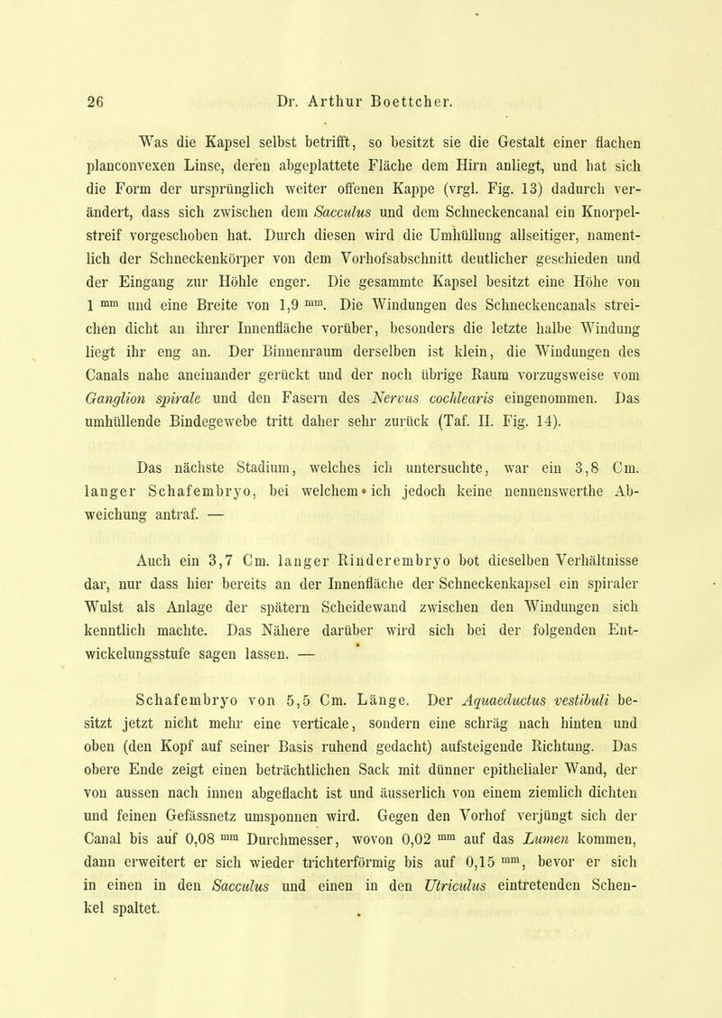 Was die Kapsel selbst betrifft, so besitzt sie die Gestalt einer flachen planconvexen Linse, deren abgeplattete Fläche dem Hirn anliegt, und hat sich die Form der ursprünglich weiter offenen Kappe (vrgl. Fig. 13) dadurch ver- ändert, dass sich zwischen dem Sacculus und dem Schneckencanal ein Knorpel- streif vorgeschoben hat. Durch diesen wird die Umhüllung allseitiger, nament- lich der Schneckenkörper von dem Vorhofsabschnitt deutlicher geschieden und der Eingang zur Höhle enger. Die gesammte Kapsel besitzt eine Höhe von 1 mm und eine Breite von 1,9 mm. Die Windungen des Schneckencanals strei- chen dicht an ihrer Innenfläche vorüber, besonders die letzte halbe Windung liegt ihr eng an. Der Binnenraum derselben ist klein, die Windungen des Canals nahe aneinander gerückt und der noch übrige Raum vorzugsweise vom Ganglion spirale und den Fasern des Nervus cochlearis eingenommen. Das umhüllende Bindegewebe tritt daher sehr zurück (Taf. II. Fig. 14). Das nächste Stadium, welches ich untersuchte, war ein 3,8 Cm. langer Schafembryo, bei welchem «ich jedoch keine nennenswerthe Ab- weichung antraf. — Auch ein 3,7 Cm. langer Rinderembryo bot dieselben Verhältnisse dar, nur dass hier bereits an der Innenfläche der Schneckenkapsel ein spiraler Wulst als Anlage der spätem Scheidewand zwischen den Windungen sich kenntlich machte. Das Nähere darüber wird sich bei der folgenden Ent- wickelungsstufe sagen lassen. — Schafembryo von 5,5 Cm. Länge. Der Aquaeductus vestibuli be- sitzt jetzt nicht mehr eine verticale, sondern eine schräg nach hinten und oben (den Kopf auf seiner Basis ruhend gedacht) aufsteigende Richtung. Das obere Ende zeigt einen beträchtlichen Sack mit dünner epithelialer Wand, der von aussen nach innen abgeflacht ist und äusserlich von einem ziemlich dichten und feinen Gefässnetz umsponnen wird. Gegen den Vorhof verjüngt sich der Canal bis auf 0,08 mm Durchmesser, wovon 0,02 mm auf das Lumen kommen, dann erweitert er sich wieder trichterförmig bis auf 0,15 mm, bevor er sich in einen in den Sacculus und einen in den Utriculus eintretenden Schen- kel spaltet.