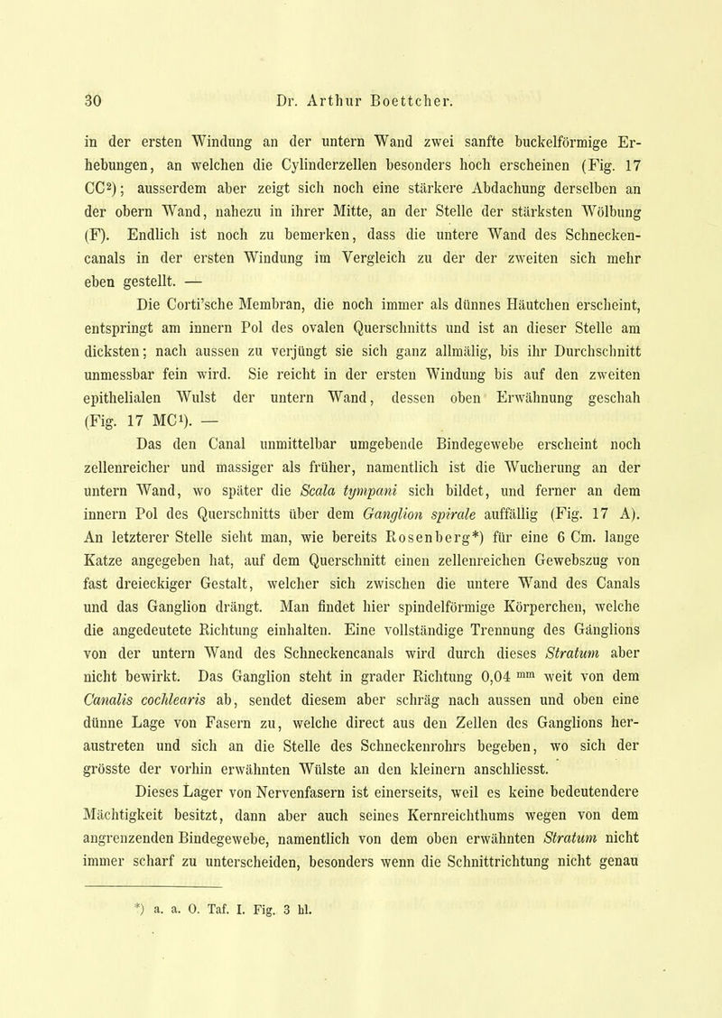 in der ersten Windung an der untern Wand zwei sanfte buckeiförmige Er- hebungen, an welchen die Cylinderzellen besonders hoch erscheinen (Fig. 17 CC2); ausserdem aber zeigt sich noch eine stärkere Abdachung derselben an der obern Wand, nahezu in ihrer Mitte, an der Stelle der stärksten Wölbung (F). Endlich ist noch zu bemerken, dass die untere Wand des Schnecken- canals in der ersten Windung im Vergleich zu der der zweiten sich mehr eben gestellt. — Die Corti'sche Membran, die noch immer als dünnes Häutchen erscheint, entspringt am innern Pol des ovalen Querschnitts und ist an dieser Stelle am dicksten; nach aussen zu verjüngt sie sich ganz allmälig, bis ihr Durchschnitt unmessbar fein wird. Sie reicht in der ersten Windung bis auf den zweiten epithelialen Wulst der untern Wand, dessen oben Erwähnung geschah (Fig. 17 MC1). — Das den Canal unmittelbar umgebende Bindegewebe erscheint noch zellenreicher und massiger als früher, namentlich ist die Wucherung an der untern Wand, wo später die Scala tympani sich bildet, und ferner an dem innern Pol des Querschnitts über dem Ganglion spirale auffällig (Fig. 17 A). An letzterer Stelle sieht man, wie bereits Rosenberg*) für eine 6 Cm. lange Katze angegeben hat, auf dem Querschnitt einen zellenreichen Gewebszug von fast dreieckiger Gestalt, welcher sich zwischen die untere Wand des Canals und das Ganglion drängt. Man findet hier spindelförmige Körperchen, welche die angedeutete Richtung einhalten. Eine vollständige Trennung des Gänglions von der untern Wand des Schneckencanals wird durch dieses Stratum aber nicht bewirkt. Das Ganglion steht in grader Richtung 0,04 mm weit von dem Canalis coclilearis ab, sendet diesem aber schräg nach aussen und oben eine dünne Lage von Fasern zu, welche direct aus den Zellen des Ganglions her- austreten und sich an die Stelle des Schneckenrohrs begeben, wo sich der grösste der vorhin erwähnten Wülste an den kleinern anschliesst. Dieses Lager von Nervenfasern ist einerseits, weil es keine bedeutendere Mächtigkeit besitzt, dann aber auch seines Kernreichthums wegen von dem angrenzenden Bindegewebe, namentlich von dem oben erwähnten Stratum nicht immer scharf zu unterscheiden, besonders wenn die Schnittrichtung nicht genau