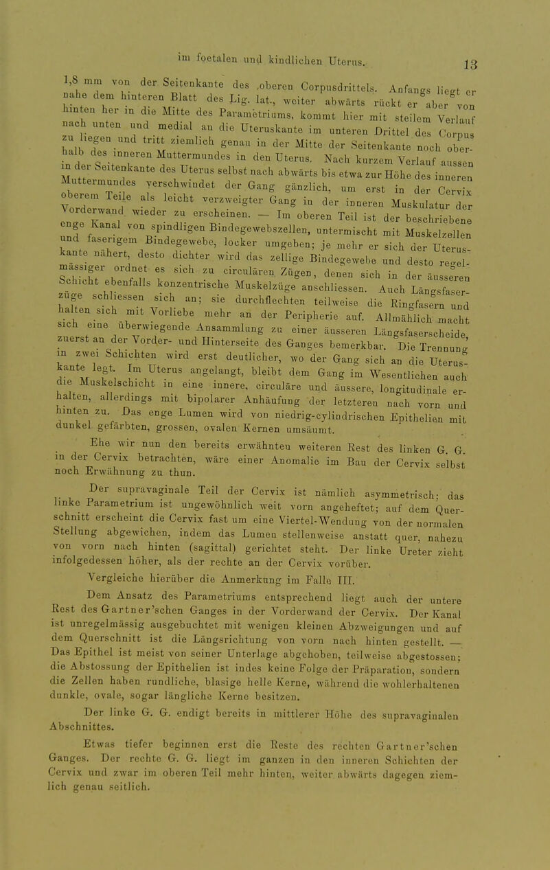 1,8 mm von der Seitenkante des .oberen Corpusdrittels. Anfangs liegt er .ahe dem h.nteren Blatt des Ug. lat., weiter abwärts rückt er' b r von hinten her m che Mitte des Parambtriums, kommt hier mit steilem ^4-3 .ach unten und medial an die Uteruskante im unteren Drittel des (Jorl alb de?- ^^^ Seitenkante noch ob . halb des inneren Muttermundes in den Uterus. Nach kurzem Verlauf aussen m der Seitenkante des Uterus selbst nach abwärts bis etwa zur Höhe des in en Muttermundes yersch.indet der Gang gänzlich, um erst in der Ce 1 Vordel f ] ^T'^''''^'' ^^'^^^ ---- Muskulatu d r onl .7- '.'r - ''''^'•^'^ ^^'^ beschriebene enge Kanal von spmdligen Bindegewebszellen, untermischt mit Muskelzellen und faserigem Bindegewebe, locker umgeben; je mehr er sich der U e s- We nähert desto dichter wird das zellige Bindegewebe und desto re 1- massiger ordnet es sich zu circulären Zügen denen sich in rl.v • Schicht ebenfalls konzentrische Muskelzüge\n;chrs:e::° A^htn zuge schhessen sich an; sie durchflechten teilweise die Ringfasein und halten sich mit Vorliebe mehr an der Peripherie auf. Allmählich Icht sich eine überwiegende Ansammlung zu einer äusseren Längsfaserscheide znerst an der Vorder- und Hinterseite des Ganges bemerkbar. Die Treunun J in zwei Schichten wird erst deutlicher, wo der Gang sich an die Uterus- kante legt Im Uterus angelangt, bleibt dem Gang im Wesentlichen auch die Muskelschicht in eine innere, circuläre und äussere, longitudinale er- halten, allerdings mit bipolarer Anhäufung der letzteren nach vorn und hinten zu Das enge Lumen wird von niedrig-cylindrischen Epithelien mit dunkel gefärbten, grossen, ovalen Kernen umsäumt. Ehe wir nun den bereits erwähnten weiteren Rest des linken G G in der Cervix betrachten, wäre einer Anomalie im Bau der Cervix selbst noch Erwähnung zu thun. Der supravaginale Teil der Cervix ist nämlich asymmetrisch- das linke Parametnum ist ungewöhnlich weit vorn angeheftet; auf dem Quer- schnitt erscheint die Cervix fast um eine Viertel-Wendung von der normalen Stellung abgewichen, indem das Lumen stellenweise anstatt quer, nahezu von vorn nach hinten (sagittal) gerichtet steht. Der linke Ureter zieht infolgedessen höher, als der rechte an der Cervix vorüber. Vergleiche hierüber die Anmerkung im Falle III. Dem Ansatz des Parametriums entsprechend liegt auch der untere Rest des Gartner'schen Ganges in der Vorderwand der Cervix. Der Kanal ist unregelmässig ausgebuchtet mit wenigen kleinen Abzweigungen und auf dem Querschnitt ist die Längsrichtung von vorn nach hinten gestellt. Das Epithel ist meist von seiner Unterlage abgehoben, teilweise abgestossen; die Abstossung der Epithelien ist indes keine Folge der Präparation, sondern die Zellen haben rundliche, blasige helle Kerne, während die wohlerhaltenen dunkle, ovale, sogar längliche Kerne besitzen. Der linke G. G. endigt bereits in mittlerer Höhe des snpravaginalen Abschnittes. Etwas tiefer beginnen erst die Reste des rechten Gartner'schen Ganges. Der rechte G. G. liegt im ganzen in den inneren Schichten der Cervix und zwar im oberen Teil mehr hinten, weiter abwärts dagegen ziem- lich genau seitlich.