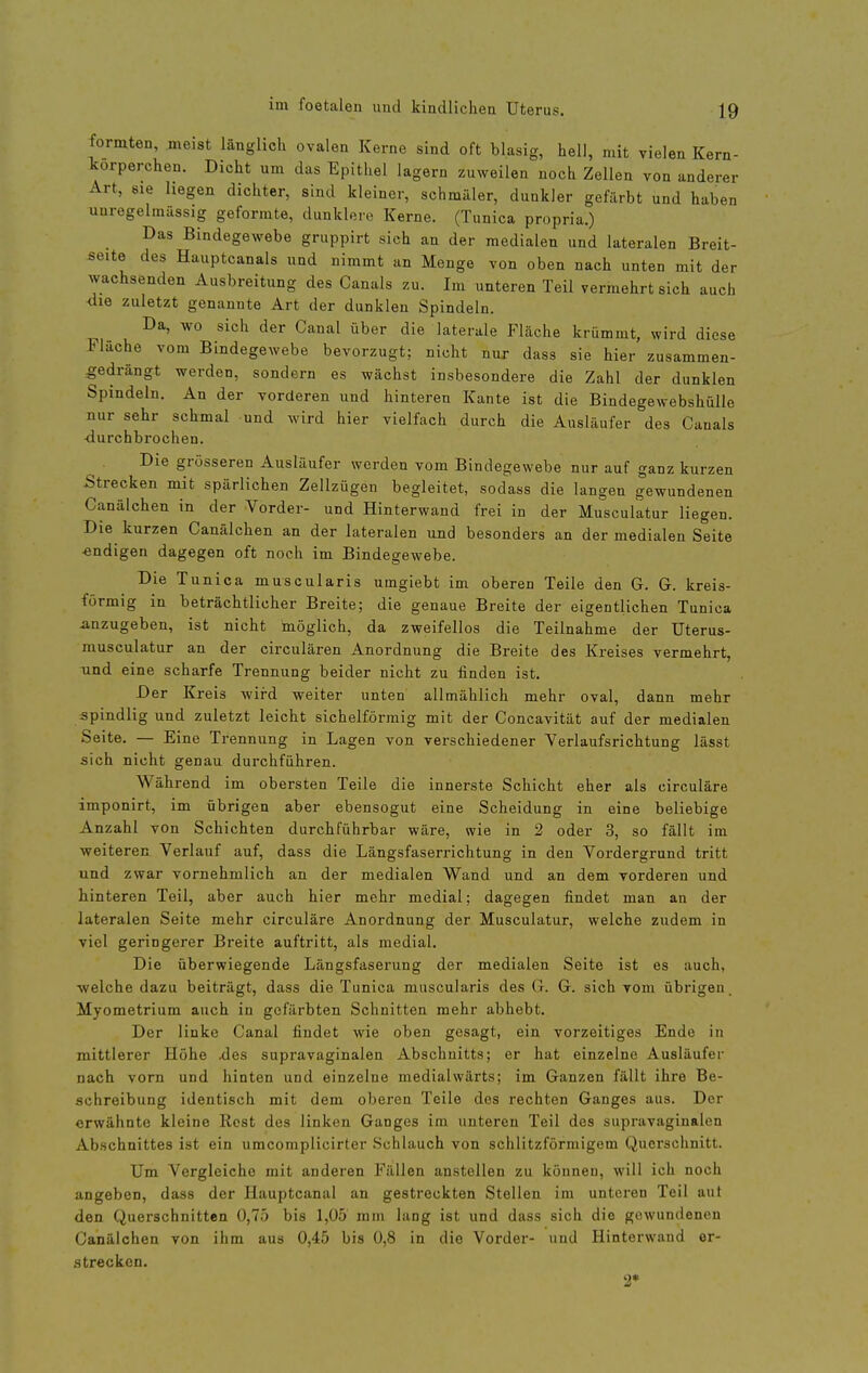 formten, meist länglich ovalen Kerne sind oft blasig, hell, mit vielen Kern- Icorperchen. Dicht um das Epithel lagern zuweilen noch Zellen von anderer Art, sie hegen dichter, sind kleiner, schmäler, dunkler gefärbt und haben unregelmässig geformte, dunklere Kerne. (Tunica propria.) Das Bindegewebe gruppirt sich an der medialen und lateralen Breit- seite des Hauptcanals und nimmt an Menge von oben nach unten mit der wachsenden Ausbreitung des Canals zu. Im unteren TeU vermehrt sich auch <lie zuletzt genannte Art der dunklen Spindeln. Da, wo sich der Canal über die laterale Fläche krümmt, wird diese Fläche vom Bindegewebe bevorzugt; nicht nur dass sie hier zusammen- gedrängt werden, sondern es wächst insbesondere die Zahl der dunklen Spindeln. An der vorderen und hinteren Kante ist die Bindegewebshülle nur sehr schmal und wird hier vielfach durch die Ausläufer des Canals durchbrochen. Die grosseren Ausläufer werden vom Bindegewebe nur auf ganz kurzen Strecken mit spärlichen Zellzügen begleitet, sodass die langen gewundenen Canälchen in der Vorder- und Hinterwand frei in der Musculatur liegen. Die kurzen Canälchen an der lateralen und besonders an der medialen Seite -endigen dagegen oft noch im Bindegewebe. Die Tunica muscularis umgiebt im oberen Teile den G. G. kreis- förmig in beträchtlicher Breite; die genaue Breite der eigentlichen Tunica anzugeben, ist nicht biöglich, da zweifellos die Teilnahme der Uterus- musculatur an der circulären Anordnung die Breite des Kreises vermehrt, und eine scharfe Trennung beider nicht zu finden ist. Der Kreis wii-d weiter unten allmählich mehr oval, dann mehr spindlig und zuletzt leicht sichelförmig mit der Concavität auf der medialen Seite. — Eine Trennung in Lagen von verschiedener Verlaufsrichtung lässt sich nicht genau durchführen. Während im obersten Teile die innerste Schicht eher als circuläre imponirt, im übrigen aber ebensogut eine Scheidung in eine beliebige Anzahl von Schichten durchführbar wäre, wie in 2 oder 3, so fällt im weiteren Verlauf auf, dass die Längsfaserrichtung in den Vordergrund tritt und zwar vornehmlich an der medialen Wand und an dem vorderen und hinteren Teil, aber auch hier mehr medial; dagegen findet man an der lateralen Seite mehr circuläre Anordnung der Musculatur, welche zudem in viel geringerer Breite auftritt, als medial. Die überwiegende Längsfaserung der medialen Seite ist es auch, welche dazu beiträgt, dass die Tunica muscularis des G. G. sich vom übrigeu. Myometrium auch in gefärbten Schnitten mehr abhebt. Der linke Canal findet wie oben gesagt, ein vorzeitiges Ende in mittlerer Höhe xles supravaginalen Abschnitts; er hat einzelne Ausläufer nach vorn und hinten und einzelne medialwärts; im Ganzen fällt ihre Be- schreibung identisch mit dem oberen Teile des rechten Ganges aus. Der erwähnte kleine Rest des linken Ganges im unteren Teil des supravaginalen Abschnittes ist ein umcomplicirter Schlauch von schlitzförmigem Querschnitt. Um Vergleiche mit anderen Fällen anstellen zu können, will ich noch angeben, dass der Hauptcanal an gestreckten Stellen im unteren Teil aut den Querschnitten 0,75 bis 1,05 mm lang ist und dass sich die gewundenen Canälchen von ihm aus 0,45 bis 0,8 in die Vorder- und Hinterwaud er- strecken. 2»