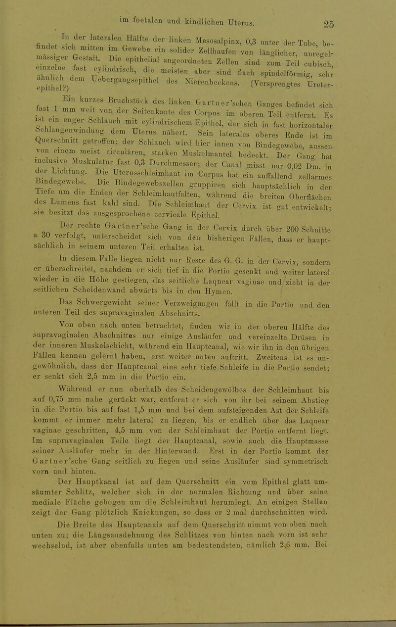 1.1 der lateralen Hälfte der linken Mesosalpinx, 0,3 unter der Tub. be- findet sich xnxtten Gewebe ein solider Zellhaufon vo:. länglick.r, rJo- massiger Gestalt Die epithelial angeordneten Zellen sind -Ära Te 1 b .sd einzelne fast cyhndrisch, die meisten aber sind flach spindelförmig, Iii epithdP) ^''S'^-^^^^^''^'' Nierenbeckens. (Vo.'sprengtes Ureter- Ein kurzes Bruchstück des linken Gärtner'sehen Ganges befindet sich t.ist 1 mm weit von der Seitenkante des Corpus im oberen Teil entfernt. Es ist ein enger bchlauch mit cylindrischem Epithel, der sieh in fast horizontaler bchlangenwmdung dem Uterus nähert. Sein laterales oberes Ende ist im Querschnitt getroffen; der Schlauch wird hier innen von Bindegewebe, aussen von emem meist circulären, starken Muskelmantel bedeckt. Der Gano- hat inclusive Muskulatur fast 0,3 Durchmesser; der Canal misst nur 0,02 Dm in der Lichtung. Die Uterusschleimhaut im Corpus hat ein auffallend zellarmes Bindegewebe. Die Bindegewebszellen gruppiren sich hauptsächlich in der Tiete um die Enden der Schleimhautfalten, während die breiten Oberflächen des Lumens fast kahl sind. Die Schleimhaut der Cervix ist gut entwickelt; sie besitzt das ausgesprochene cervicale Epithel. Der rechte Gartner'sche Gang in der Cervix durch über 200 Schnitte a 30 verfolgt, unterscheidet sich von den bisherigen Fällen, dass er haupt- sächlich in seinem unteren Teil erhalten ist. In diesem Falle liegen nicht nur Reste des G. G. in der Cervix, sondern er überschreitet, nachdem er sich tief in die Portio gesenkt und weiter lateral wieder in die Höhe gestiegen, das seitliche Laqnear vaginae und zieht in der seitlichen Scheidenwand abwärts bis in den Hymen. Das SchwergcAvicht seiner Verzweigungen fällt in die Portio und den unteren Teil des supravaginalen Abschnitts. Von oben nach unten betrachtet, finden wir in der oberen Hälfte des supravaginalen Abschnittes nur einige Ausläufer und vereinzelte Drüsen in der inneren Muskelschicht, während ein PLiuptcanal, wie wir ihn in den übrigen Fällen kennen gelernt haben, erst weiter unten auftritt. Zweitens ist es un- gewöhnlich, dass der Hauptcanal eine sehr tiefe Schleife in die Portio sendet; er senkt sich 2,5 mm in die Portio ein. Während er nun oberhalb des Scheidengewolbes der Schleimhaut bis auf 0,75 mm nahe gerückt war, entfernt er sich von ihr bei seinem Abstieg in die Portio bis auf fast 1,5 mm und bei dem aufsteigenden Ast der Schleife kommt er immer mehr lateral zu liegen, bis er endlich über das Laquear vaginae geschritten, 4,5 mm von der Schleimhaut der Portio entfernt liegt. Im supravaginalen Teile liegt der Hauptcanal, sowie auch die Hauptmasse seiner Ausläufer mehr in der liinterwand. Erst in der Portio kommt der Gartner'sche Gang seitlicli zu liegen und seine Ausläufer sind symmetrisch vom und hinten. Der Hauptkanal ist auf dem Querschnitt ein vom Epithel glatt um- säumter Schlitz, welcher sich in der normalen Richtung und über seine mediale Fläche gebogen um die Schleimhaut herumlegt. An einigen Stellen zeigt der Gang plötzlich Knickungen, so dass er 2 mal durchschnitten wird. Die Breite des Hauptcanals auf dem Querschnitt nimmt von oben nach unten zu; die Längsansdehnung des Schlitzes von hinten nach vorn ist sehr •wechselnd, ist aber ebenfalls unten am bedeutendsten, nämlich 2,6 mm. Bei