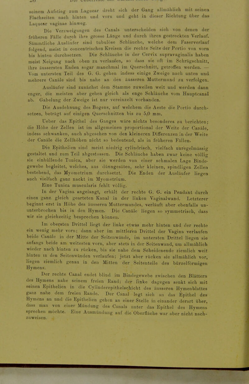 seinem Auftitieg zum Laguear dreht sich der Gang allmählich mit seinen Flachseiten nach hinten und vorn und geht in dieser Richtung über das Lai|uear vaginae hinweg. Die Verzweigungen des Canals unterscheiden sich von denen der früheren Falle durch ihre grosse Länge und durch ihren gestreckten Verlauf, Siimmtliche Ausläufer sind tubulöse Schläuche, welche dem Faserverlauf folgend, meist in concentrischen Kreisen die rechte Seite der Portio von vorn bis hinten durchsetzen. Die Schläuche in der Cervix supravaginalis haben meist Neigung nach oben zu verlaufen, so dass sie oft im Schrägschnitt, ihre äussersten Enden sogar manchmal im Querschnitt, getroffen werden. — Vom untersten Teil des G. G. gehen indess einige Zweige nach unten und mehrere Canäle sind bis nahe an den äusseren Muttermund zu verfolgen. Ausläufer sind zunächst dem Stamme zuweilen weit und werden dann enger, die meisten aber gehen gleich als enge Schläuche vom Hauptcanal ab. Gabelung der Zweige ist nur vereinzelt vorhanden. Die Ausdehnung des Bogens, auf welchem die Aeste die Portio durch- setzen, beträgt auf einigen Querschnitten bis zu 5,0 mm. Ueber das Epithel des Ganges wäre nichts besonderes zu berichten; die Höhe der Zellen ist im allgemeinen proportional der Weite der Canäle, indess schwanken, auch abgesehen von den kleineren Differenzen in der Weite der Canäle die Zellhöhen nicht so bedeutend, als in früheren Fällen. Die Epithelien sind meist niedrig cylindrisch, vielfach unregelmässig gestaltet und zum Teil abgestossen. Die Schläuche haben zwar keine völlig sie einhüllende Tunica, aber sie werden von einer schmalen Lage Binde- gewebe begleitet, w'elches, aus dünngesäten, sehr kleinen, spindligen Zellen bestehend, das Myometrium durclisetzt. Die Enden der Ausläufer liegen auch vielfach ganz nackt im Myometrium. Eine Tunica muscularis fehlt völlig. In der Vagina angelangt, erhält der rechte G. G. ein Pendant durch einen ganz gleich gearteten Kanal in der linken Vaginalwand. Letzterer beginnt erst in Höhe des äusseren Muttermundes, verläuft aber ebenfalls un- unterbrochen bis in den Hymen. Die Canäle liegen so symmetrisch, dass wir sie gleichzeitig besprechen können. Im obersten Drittel liegt der linke etwas mehr hinten und der rechte ein wenig mehr vorn; dann aber im mittleren Drittel der Vagina verlaufen beide Canäle in der Mitte der Seitenwände, im untersten Drittel liegen sie anfangs beide am weitesten vorn, aber stets in der Seitenwaud, um allmählich wieder nach hinten zu rücken, bis sie nahe dem Scheidenende ziemlich weit hinten in den Seitenwänden verlaufen; jetzt aber rücken sie allmählich vor, liegen ziemlich genau in den Mitten der Seitenteile des bürzelförmigen Hymens. Der rechte Canal endet blind im Bindegewebe zwischen den Blättern des Hymens nahe seinem freien Rand; der linke dagegen senkt sich mit seinen Epithelien in die Cylinderepithelschicht des äusseren Hvmenblattes ganz nahe dem freien Rande. Der Canal legt sich an das Epithel des Hymens an nnd die Epithelien gehen an einer Stelle in einander derart über, dass man von einer Mündung des Canals unter das Epithel des Hymens sprechen möchte. Eine Ausmündung auf die Oberfläche war aber nicht nach- zuweisen.
