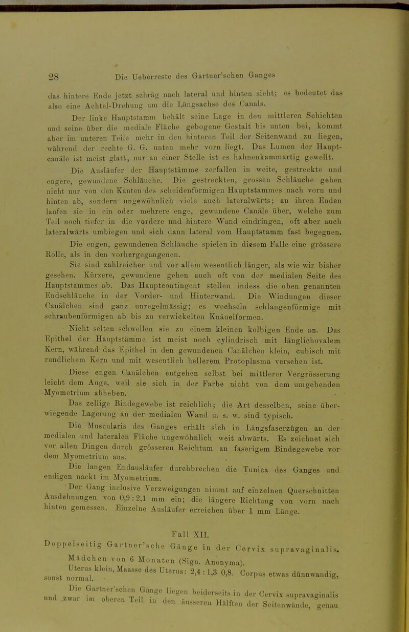 das hintoro Ende jetzt selirilg nach lateral und hinten si(dit; es bedeutet das also eine Achtel-Drolumg um die Längsachse des (lanals. Der linke Hauptstamni behält seine Lage iu den mittleren Schichten und seine über die mediale Fläche gebogene Gestalt bis unten bei, kommt aber im unteren Teile meiir in den hinteren Teil der Seitenwand zu liegen, Avährend der rechte G. G. unten mehr vorn liegt. Das Lumen der Haupt- canäle ist meist glatt, nur iin einer Stelle ist es hahnenkammartig gewellt. Die Auslänfer der Hauptstämme zerfallen in weite, gestreckte und engere, gewundene Schläuche. Die gestreckten, grossen Schläuclie gehen nicht nur von den Kanten des scheidenförmigen Hauptstammes nacli vorn und hinten ab, sondern ungewöhnlich viele auch lateralwärts; an ihren Enden laufen sie in ein oder mehrere enge, gewundene Canäle über, welche zum Teil noch tiefer in die vordere und liintere Wand eindringen, oft aber auch lateralwärts umbiegen und sich, dann lateral vom Hauptstamm fast begegnen. Die engen, gewundenen Schläuclie spielen in diesem Falle eine grössere Rolle, als in den A'orhergegangenen. Sie sind zahlreicher und vor allem wesentlich länger, als wie wir bisher gesehen. Kürzere, gewundene gehen auch oft von der medialen Seite des Hauptstammes ab. Das Haupteontingent stellen indess die oben genannten Endschläuche in der A'order- und Hinterwand. Die Windungen dieser Canälchen sind ganz unregelmässig; es wechseln schlangenformige mit schraubenförmigen ab bis zu verwickelten Knäuelformen. Nicht selten schwellen sie zu einem kleinen kolbigen Ende an. Das Epithel der Hauptstämme ist meist noch cylindrisch mit länglichovalem Kern, während das Epithel in den gewundenen Canälchen klein, cubisch mit rundlichem Kern und mit wesentlich hellerem Protoplasma versehen ist. Diese engen Canälchen entgehen selbst bei mittlerer Vergrösserung leicht dem Auge, weil sie sich in der Farbe nicht von dem umgebenden Myometrium abheben. Das zellige Bindegewebe ist reichlich; die Art desselben, seine über- wiegende Lagerung an der medialen Wand u. s. w. sind typisch. Die Muscularis des Ganges erhält sich in Längsfaserzügen an der medialen und lateralen Fläche ungewöhnlich weit abwärts. Es zeichnet sich vor allen Dingen durch grösseren Reichtum an faserigem Bindegewebe vor dem Myometrium aus. Die langen Endausläufer durchbrechen die Tunica des Ganges und endigen nackt im Myometrium. Der Gang inclusive Verzweigungen nimmt auf einzelnen Querschnitten Ausdehnungen von 0,9:2,1 mm ein; die längere Richtung von vorn nach hinten gemessen. Einzelne Ausläufer erreichen über 1 mm Läno-e. Fall XIL Doppelseitig Gartner'sche Gänjre in An,- r^^ ■ • i- o vj.inge in aei ( orvix supravag inahs. Mädchen von 6 Monaten (Sign. Anonyma). Uterus klein, Maasse des Uterus- 24 • 1 '-i ns r,.,. < j- j- sonst normal. • '•erus. .,4 . l,ö 0,8. Corpus etwas dünnwandig, und zwar f '^'^^'^l .f beiderseits in der Cervix supravaginalis und zwar im oberen Teil u. .hm äusseren HälfUm der Seitenwände, genau